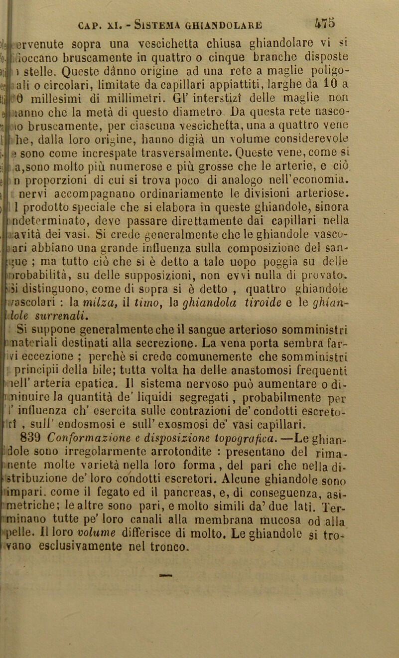 3le| ervenute sopra una vescichetta chiusa ghiandolare vi si 'elfioccano bruscamente in quattro o cinque branche disposte 1 stelle. Queste danno origine ad una rete a maglie poligo- «Jali 0 circolari, limitate da capillari appiattiti, larghe da 10 a *0 millesimi di millimetri. Gl’ interstizi delle maglie non Iranno che la metà di questo diametro Da questa rete nasco- I IO bruscamente, per ciascuna vescichetta, una a quattro vene |;he, dalla loro origine, hanno digià un volume considerevole sono come increspate trasversalmente. Queste vene, come si li a,sono molto più numerose e più grosse che le arterie, e ciò. e|in proporzioni di cui si trova poco di analogo neU’economia. nervi accompagnano ordinariamente le divisioni arteriose. ; 1 prodotto speciale che si elabora in queste ghiandole, sinora ndeterminato, deve passare direttamente dai capillari nella a:avità dei vasi. Si crede generalmente chele ghiandole vasco- ari abbiano una grande influenza sulla composizione del san- gue ; ma tutto ciò che si è detto a tale uopo poggia su delie nrobabilità, su delle supposizioni, non evvi nulla di provato. 5Ì distinguono, come di sopra si è detto , quattro ghiandole i/ascolari : la milza, il timo, la ghiandola tiroide e le ghian- loie surrenali. Si suppone generalmente che il sangue arterioso somministri vuateriali destinati alla secrezione. La vena porta sembra far- vi eccezione ; perchè si crede comunemente che somministri ’ principii della bile; tutta volta ha delle anastomosi frequenti ! leir arteria epatica. Il sistema nervoso può aumentare o di- minuire la quantità de’ liquidi segregati, probabilmente per r influenza eh’ esercita sullo contrazioni de’condotti escreto- !rt , sull’ endosmosi e sull’exosmosi de’ vasi capillari. 839 Conformazione e disposizione topografica. —Le ghian- dole sono irregolarmente arrotondite : presentano del rima- aiente molte varietà nella loro forma, del pari che nella di- stribuzione de’ loro condotti escretori. Alcune ghiandole sono simpari, come il fegato ed il pancreas, e, di conseguenza, asi- metriche; le altre sono pari, e molto simili da’due lati. Ter- minano tutte pe’ loro canali alla membrana mucosa od alla pelle. 11 loro volume differisce di molto. Le ghiandole si tro- vano esclusivamente nel tronco.