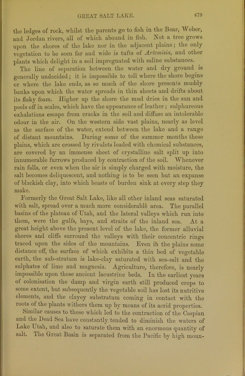 GREAT SALT LAKE. the ledges of rock, whilst the parents go to fish in the Bear, Weber, and Jordan rivers, all of which abound in fish. Not a tree grows upon the shores of the lake nor in the adjacent plains ; the only vegetation to he seen far and wide is tufts ol Artemisia, and other plants which delight in a soil impregnated with saline substances. The line of separation between the water and dry ground is generally undecided; it is impossible to tell where the shore begins or where the lake ends, as so much of the shore presents muddy banks upon which the water spreads in thin sheets and drifts about its flaky foam. Higher up the shore the mud dries in the sun and peels off in scales, which have the appearance of leather ; sulphureous exhalations escape from cracks in the soil and diffuse an intolerable odour in the air. On the western side vast plains, nearly as level as the surface of the water, extend between the lake and a range of distant mountains. During some of the summer months these plains, which are crossed by rivulets loaded with chemical substances, are covered by an immense sheet of crystalline salt split up into innumerable furrows produced by contraction of the soil. Whenever rain falls, or even when the air is simply charged with moisture, the salt becomes deliquescent, and nothing is to be seen but an expanse of blackish clay, into which beasts of burden sink at every step they make. Formerly the Great Salt Lake, like all other inland seas saturated with salt, spread over a much more considerable area. The parallel basins of the plateau of Utah, and the lateral valleys which run into them, were the gulfs, bays, and straits of the inland sea. At a great height above the present level of the lake, the former alluvial shores and cliffs surround the valleys with their concentric rings traced upon the sides of the mountains. Even ifa the plains some distance off, the surface of which exhibits a thin bed of vegetable earth, the sub-stratum is lake-clay saturated with sea-salt and the sulphates of lime and magnesia. Agriculture, therefore, is nearly impossible upon these ancient lacustrine beds. In the earliest years of colonisation the damp and virgin earth still produced crops to some extent, but subsequently the vegetable soil has lost its nutritive elements, and the clayey substratum coming in contact with the roots of the plants withers them up by means of its acrid properties. Similar causes to those which led to the contraction of the Caspian and the Dead Sea have constantly tended to diminish the waters of Lake Utah, and also to saturate them with an enormous quantity of salt. The Great Basin is separated from the Pacific by high moun-