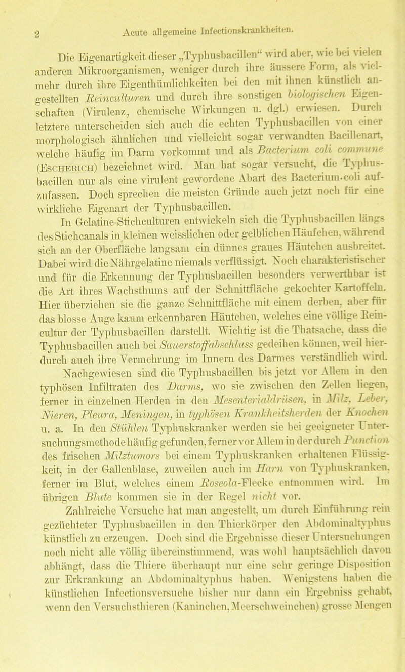 Die Eigenartigkeit dieser „Typhusbacillen“ wird alter, wie bei vielen anderen Mikroorganismen, weniger durch ihre aussere Form, als viel- mehr durch ilire Eigenthumlichkeiten bei den rnit ilinen kiinstlich an- gestellten Heinculturen und durch ilire sonstigen biologischen Eigen- schaften (Virulenz, chemische Wirkungen u. dgl.) erwiesen. Durch letztere unterscheiclen sicli auch die echten Typhushacillen von einer morphologisch ahnlichen und vielleicht sogar verwandten Bacillenart, welche haufig im Darm vorkommt und als Bacterium coli commune (Escheuich) hezeichnet wird. Man hat sogar versucht, die T}phus- bacillen nur als eine virulent gewordene Ahart des Bacterium, coli auf- zufassen. Docli sprechen die meisten Griiude auch jetzt noch fur eine wirkliche Eigenart der Typhushacillen. In Gelatine-Stichculturen entwickeln sicli die Typhushacillen langs des Stichcauals in kleinen weisslichen oder gelblichenHaufchen.wahrend sich an der Oherflache langsam ein diinnes graues Hautchen ausbreitet. Dabei wird dieNahrgelatine niemals verfliissigt. Xoch charakteristischer und fiir die Erkennung der Typhushacillen besonders verwerthbar ist die Art ihres Wachsthums auf der Schnittflache gekochter Kartoffeln. Hier iiberziehen sie die ganze Schnittflache mit einem derben, aber fiir das blosse Auge kaum erkennharen Hautchen, welches eine vdllige Bein- cultur der Typhushacillen darstellt. Wichtig ist die Thatsache, dass die Typhushacillen auch bei Sauerstoffcibschluss gedeihen kdnnen. weil hier- durch auch ihre Yermehrung im Innern des Darmes verstandlich wird. Kachgewiesen sind die Typhushacillen bis jetzt vor Allem in den typhosen Infiltraten des Darms, wo sie zwisclien den Zellen liegen, ferner in einzelnen Ilerden in den Mesenterialdriiseii, in Mih. Leber. Nieren, Pleura, Meningen, in typhosen Krankheitsherden der Knochen u. a. In den Stuhlen Typhuskranker werden sie bei geeigneter I nter- suchungsmethode haufig gefunden, ferner vor Allem in der durch Punct i on des frischen Milztumors hei einem Typliuskranken erhaltenen I liissig- keit, in der Gallenhlase, zuweilen auch im Ham von Typliuskranken, ferner im Blut, welches einem Roscola-Y\eeke entnommen wird. Im iihrigen Blute kommen sie in der Regel nicht vor. Zaldreiche Versuche hat man angestellt, um durch Einfuhrung rein geziichteter Typhushacillen in den Thierkorper den Ahdominaltyplius ktinstlich zu erzeugen. Docli sind die Ergebnisse dieser l ntersuchungen noch nicht alle vollig iibereinstimmend, was wold hauptsachlich davon abhiingt, dass die Thiere iiberhaupt nur eine selir geringe Disposition zur Erkrankung an Ahdominaltyphus liaben. Wenigstens haben die kiinstlichen Infectionsversuclie bislier nur dann ein Ergebniss gehabt, wenn den Versuchsthieron (Kaninchen, Meerschweinchen) grosse Mengen