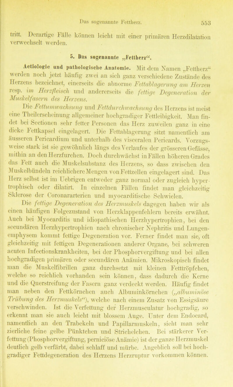 tritt. Derartige Falle konnen leiclit mit einer primaren Herzdilatation verweckselt werden. 5. Das sogenannte „Fettherz<f. Aetiologie und patliologische Anatomie. Mit <lem Namen „Fettherz“ werden noch jetzt kaufig zwei an sick ganz verschiedene Zustimde des Herzens bezeichnet, einerseits die aknorme Fettablagerung am Herzen lesp. im Herzfleisch und andererseits die fettige Degeneration cler Muskelfasem des Herzens. Die Fettumwachsung und Fettdurchwachsung des Herzens ist meist eme Tkeilersckeinung allgemeiner kochgradiger Fettleibigkeit. Man fin- det bei Sectionen sekr fetter Personen das Herz zuweilen ganz in eine dieke Fettkapsel eingelagert. Die Fettablagerung sitzt namentlick am ausseren Pericardium und unterkalb des visceralen Pericards. Vorzugs- weise stark ist sie gewohnlich langs desVerlaufes der grosseren Gefasse, mitkin an den Herzfurcken. Dock durchwachst in Fallen hoheren Grades das Fett aucli die Muskelsubstanz des Herzens, so dass zwischen den Muskelbiindeln reicklickereMengen vonFettzellen eingelagert sind. Das Herz selbst ist im Uebrigen entweder ganz normal oder zugleick hyper - trophisck oder dilatirt. In einzelnen Fallen findet man gleickzeitig Sklerose der Coronararterien und myocarditiscke Sckwielen. Die fettige Degeneration des Herzmuskels dagegen kaben wir als einen haufigen Folgezustand von Ilerzklappenfeklern bereits erwaknt. Audi bei Myocarditis und idiopatkiseken Herzkypertropkien, bei den secundiiren Herzhypeitropkien nack ckroniscker Nephritis und Lungen- empkysem kommt fettige Degeneration vor. Ferner findet man sie, oft gleickzeitig mit fettigen Degenerationen anderer Organe, bei sekweren acuten Infectionskrankkeiten, bei der Phosphorvergiftung und bei alien kochgradigen primaren oder secundiiren Anamien. Mikroskopisch findet man die Muskelfibrillen ganz durcksetzt mit kleinen Fetttropfchen, welclie so reicklick vorlmnden sein konnen, dass dadurck die Kerne und die Querstreifung der Fasern ganz verdeckt werden. Hilufig findet man neben den Fettkorncken aucli Albuminkomcken („albuminose Trubung des Herzmuskels“), welclie nack einem Zusatz von Essigsiiure versekwinden. Ist die Verfettung der Herzmusculatur kockgradig, so erkennt man sie aucli leiclit mit blossem Auge. Unter dem Endocard, namentlick an den Trabekeln und Papillarmuskeln, siekt man sekr zierlicke feine gelbe Piinktcken und Strichelchen. Bei starkerer Yer- fettung(Phosphorvergiftung, pemiciose Anamie) ist der ganzeIlerzmuskel deutlich gelb verfarbt, dakei schlaff und miirke. Angeblicli soil bei liocli- gradiger Fettdegeneration des Herzens Herzruptur vorkommen konnen.