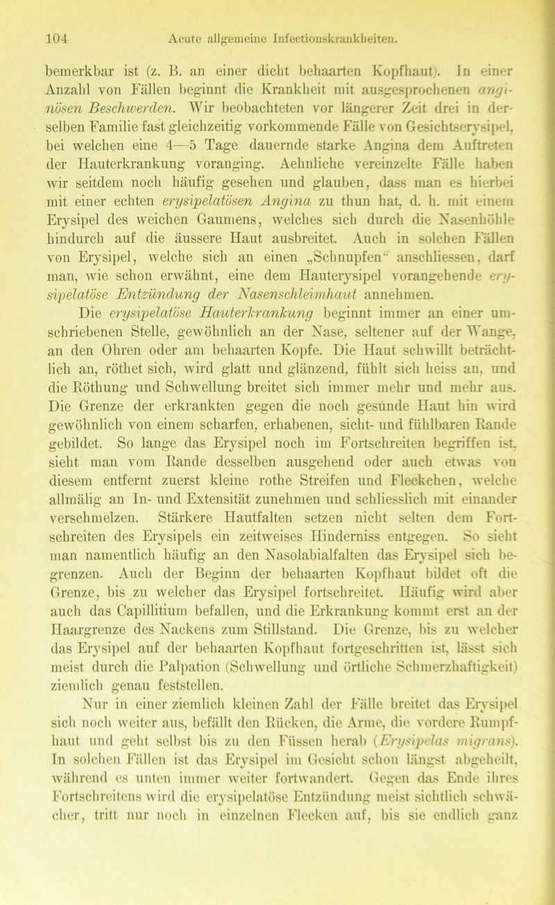 bemerkbar ist (z. B. an einer dicht behaarten Kopfhaut). In einer Anzahl von Fällen beginnt die Krankheit mit ausgesprochenen angi- nösen Beschwerden. Wir beobachteten vor längerer Zeit drei in der- selben Familie fast gleichzeitig vorkommende Fälle von Gesichtserysipel, bei welchen eine 4—5 Tage dauernde starke Angina dem Auftreten der Hauterkrankung voranging. Aehnliche vereinzelte Fälle haben wir seitdem noch häufig gesehen und glauben, dass man es hierbei mit einer echten erysipelatösen Angina zu thun hat, d. h. mit einem Erysipel des weichen Gaumens, welches sich durch die Nasenhöhle hindurch auf die äussere Haut ausbreitet. Auch in solchen Fällen von Erysipel, welche sich an einen „Schnupfen anschliessen, darf man, wie schon erwähnt, eine dem Hauterysipel vorangehende ery- sipelatöse Entzündung der Nasenschleimhaut annehmen. Die erysipelatöse Hauterkrankung beginnt immer an einer um- schriebenen Stelle, gewöhnlich an der Nase, seltener auf der Wange, an den Ohren oder am behaarten Kopfe. Die Haut schwillt beträcht- lich an, röthet sich, wird glatt und glänzend, fühlt sich heiss an, und die Röthung und Schwellung breitet sich immer mehr und mehr aus. Die Grenze der erkrankten gegen die noch gesunde Haut hin wird gewöhnlich von einem scharfen, erhabenen, sicht- und fühlbaren Rande gebildet. So lange das Erysipel noch im Fortschreiten begriffen ist, sieht man vom Rande desselben ausgehend oder auch etwas von diesem entfernt zuerst kleine rothe Streifen und Fleckchen, welche allmälig an In- und Extensität zunehmen und schliesslich mit einander verschmelzen. Stärkere Hautfalten setzen nicht selten dem Fort- schreiten des Erysipels ein zeitweises Hinderniss entgegen. So sieht man namentlich häufig an den Nasolabialfalten das Erysipel sich be- grenzen. Auch der Beginn der behaarten Kopfhaut bildet oft die Grenze, bis zu welcher das Erysipel fortschreitet. Häufig wird aber auch das Capillitium befallen, und die Erkrankung kommt erst an der Haargrenze des Nackens zum Stillstand. Die Grenze, bis zu welcher das Erysipel auf der behaarten Kopfhaut fortgeschritten ist, lässt sich meist durch die Palpation (Schwellung und örtliche Schmerzhaftigkeit) ziemlich genau feststellen. Nur in einer ziemlich kleinen Zahl der Fälle breitet das Erysipel sich noch weiter aus, befällt den Rücken, die Arme, die vordere Rumpf- haut und geht selbst bis zu den Füssen herab (Erysipclas migrans). In solchen Fällen ist das Erysipel im Gesicht schon längst abgeheilt, während es unten immer weiter fortwandert. Gegen das Ende ihres Fortschreitens wird die erysipelatöse Entzündung meist sichtlich schwä- cher, tritt nur noch in einzelnen Flecken auf, bis sie endlich ganz