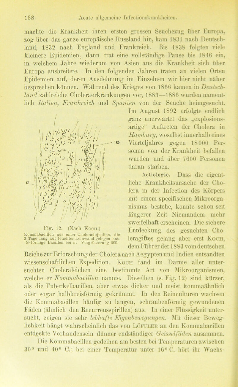 . Ul/M/I / ( jj j / \!i i1 c; in 11 . / .! [ L ,\I'‘T/) ' <] machte die Krankheit ihren ersten grossen Seuchezug über Europa, zog über das ganze europäische Russland hin, kam 1S31 nach Deutsch- land, 1832 nach England und Frankreich. Bis 1S3S folgten viele kleinere Epidemien, dann trat eine vollständige Pause bis 1846 ein, in welchem Jahre wiederum von Asien aus die Krankheit sich über Europa ausbreitete. In den folgenden Jahren traten an vielen Orten Epidemien auf, deren Ausdehnung im Einzelnen wir hier nicht näher besprechen können. Während des Krieges von 1866 kamen in Deutsch- land zahlreiche Choleraerkränkungen vor, 1883—1886 wurden nament- lich Italien, Frankreich und Spanien von der Seuche heimgesucht. Im August 1892 erfolgte endlich ganz unerwartet das „explosions- artige“ Auftreten der Cholera in Hamburg, woselbst innerhalb eines Vierteljahres gegen 18000 Per- sonen von der Krankheit befallen wurden und über 7600 Personen daran starben. Actiologie. Dass die eigent- liche Krankheitsursache der Cho- lera in der Infection des Körpers mit einem specifischen Mikroorga- nismus bestehe, konnte schon seit längerer Zeit Niemandem mehr zweifelhaft erscheinen. Die sichere Entdeckung des gesuchten Cho- leragiftes gelang aber erst Koch. dem Führer der 1SS3 vom deutschen Reiche zur Erforschung der Cholera nach Aegypten und Indien entsandten wissenschaftlichen Expedition. Koch fand im Darme aller unter- suchten Choleraleichen eine bestimmte Art von Mikroorganismen, welche er Kommabacillen nannte. Dieselben (s. Fig. 12) sind kürzer, als die Tuberkelbacillen, aber etwas dicker und meist kommaähnlich oder sogar halbkreisförmig gekrümmt ln den Reinculturen wachsen Fig. 12. (Nach Koch.) Kommabacillen aus einer Choleradejection, die 2 Taj?e lang auf feuchter Leinwand gelegen hat. S-förmige Bacillen bei «. Vergrösserung 600. schraubenförmig gewundenen die Kommabacillen häufig zu langen, Fäden (ähnlich den Recurrensspirillen) aus. In einer Flüssigkeit unter- sucht, zeigen sie sehr lebhafte Eigenbewegungen. Mit dieser Beweg- lichkeit hängt wahrscheinlich das von Löffler an den Kommabacillen entdeckte Vorhandensein dünner endständiger Geissclfäden zusammen. Die Kommabacillen gedeihen am besten bei Temperaturen zwischen 30° und 40 C.; bei einer Temperatur unter 16° C. hört ihr Wachs-