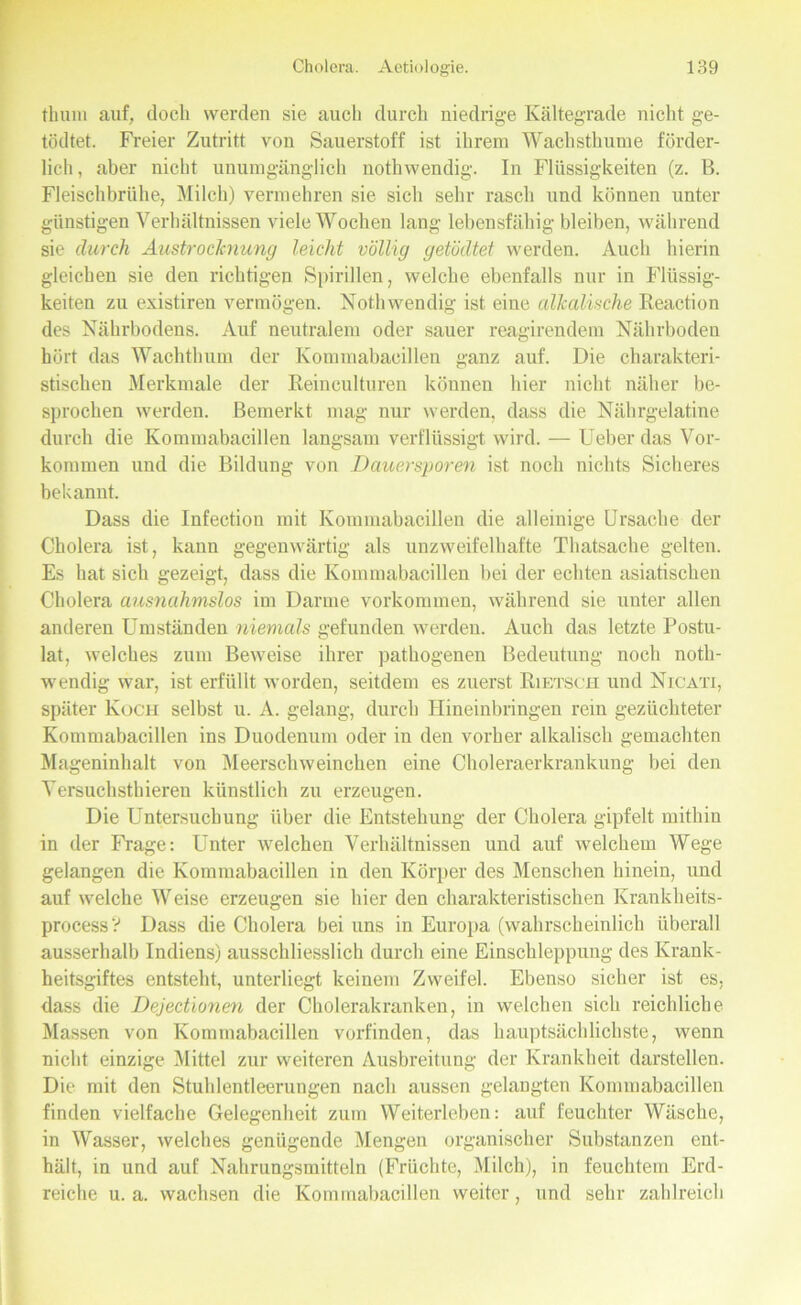 thum auf, doch werden sie auch durch niedrige Kältegrade nicht ge- tödtet. Freier Zutritt von Sauerstoff ist ihrem Wachsthume förder- lich , aber nicht unumgänglich nothwendig. In Flüssigkeiten (z. B. Fleischbrühe, Milch) vermehren sie sich sehr rasch und können unter günstigen Verhältnissen viele Wochen lang lebensfähig bleiben, während sie durch Austrocknung leicht völlig getödtet werden. Auch hierin gleichen sie den richtigen Spirillen, welche ebenfalls nur in Flüssig- keiten zu existiren vermögen. Nothwendig ist eine alkalische Reaction des Nährbodens. Auf neutralem oder sauer reagirendem Nährboden hört das Wachthum der Kommabacillen ganz auf. Die charakteri- stischen Merkmale der Reinculturen können hier nicht näher be- sprochen werden. Bemerkt mag nur werden, dass die Nährgelatine durch die Kommabacillen langsam verflüssigt wird. — Ueber das Vor- kommen und die Bildung von Dauersporen ist noch nichts Sicheres bekannt. Dass die Infection mit Kommabacillen die alleinige Ursache der Cholera ist, kann gegenwärtig als unzweifelhafte Thatsache gelten. Es hat sich gezeigt, dass die Kommabacillen bei der echten asiatischen Cholera ausnahmslos im Darme Vorkommen, während sie unter allen anderen Umständen niemals gefunden werden. Auch das letzte Postu- lat, welches zum Beweise ihrer pathogenen Bedeutung noch noth- wendig war, ist erfüllt worden, seitdem es zuerst Rietsch und Nicati, später Koch selbst u. A. gelang, durch Hineinbringen rein gezüchteter Kommabacillen ins Duodenum oder in den vorher alkalisch gemachten Mageninhalt von Meerschweinchen eine Choleraerkrankung bei den Versuchsthieren künstlich zu erzeugen. Die Untersuchung über die Entstehung der Cholera gipfelt mithin in der Frage: Unter welchen Verhältnissen und auf welchem Wege gelangen die Kommabacillen in den Körper des Menschen hinein, und auf welche Weise erzeugen sie hier den charakteristischen Krankheits- proeess? Dass die Cholera bei uns in Europa (wahrscheinlich überall ausserhalb Indiens) ausschliesslich durch eine Einschleppung des Krank- heitsgiftes entsteht, unterliegt keinem Zweifel. Ebenso sicher ist es, dass die Dejedionen der Cholerakranken, in welchen sich reichliche Massen von Kommabacillen vorfinden, das hauptsächlichste, wenn nicht einzige Mittel zur weiteren Ausbreitung der Krankheit darstellen. Die mit den Stuhlentleerungen nach aussen gelangten Kommabacillen finden vielfache Gelegenheit zum Weiterleben: auf feuchter Wäsche, in Wasser, welches genügende Mengen organischer Substanzen ent- hält, in und auf Nahrungsmitteln (Früchte, Milch), in feuchtem Erd- reiche u. a. wachsen die Kommabacillen weiter, und sehr zahlreich