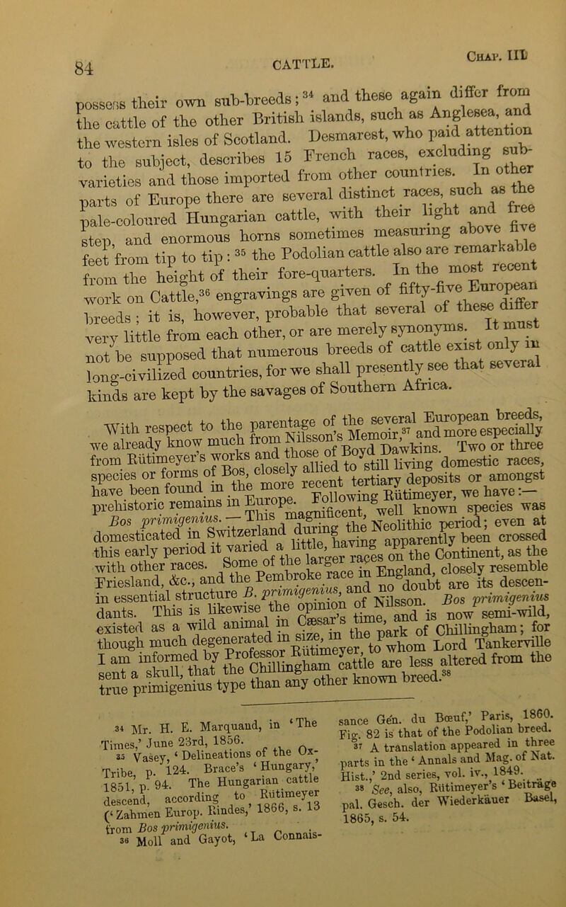 possess their own sub-breeds;34 and these again differ from the cattle of the other British islands, such as Angles^, and the western isles of Scotland. Desmarest, who paid attention to the subject, describes 15 French races, esdudmg sub- varieties and those imported from other countries. In other parts of Europe there are several distort raws, sue as pale-coloured Hungarian cattle, wit i leir lg step and enormous horns sometimes measuring above hie feet’from tip to tip : 35 the Podolian cattle also are remarkable “ height i their forequarters. work on Cattle,36 engravings are given of differ breeds ; it is, however, probable that several of the*^differ very little from each other, or are merely synonyms. It must no/be supposed that numerous breeds of cattle exist only ill long-civilized countries, for we shall presently see that several kinds are kept by the savages of Southern Africa. With respect to the pareutag> oHle S we already know muck from Nilssonb^Memoir ^ * three from Eiitimeyers works and three of BoydD k -domestic races, species or forms»ofkBosor amongst have been found m the mo _ . ^timeyer, we have prehistoric remains in pma J^centj Swell known species was Bos pnm^emMs. diSng the Neolithic period; even at domesticated m Switzerlanci a | apparently been crossed this early period it Continent, as the with other races. Some of the arger rapes on t resemble Friesland, &c., and the Pembroke race m Eng^closel^ in essential structure B. primig> Nilsson. Bos primigenius dants. This is likewise the opinion existed as a wild animal m C®s . » 0f Chillingham; for though much degenerated in ® ’ J wbom Lord Tankerville SSSsSSsSssr--- 34 Mr. H. E. Marquaud, in ‘The Times,’ June 23rd, 1856. as Vasev, ‘ Delineations of the Ux- Tribe p. 124. Brace’s ‘Hungary, 1851’n 94. The Hungarian cattle descend according to Riithneyer (‘ Zahmen Europ. Rindes,’ 1866, s. from Bos primigenius. 3« Moll and Gayot, ‘La Connais- sance Gen. du Bceuf,’ Paris, 1860. Fio-. 82 is that of the Podolian breed. h A translation appeared in three parts in the ‘ Annals and Mag. of Nat. Hist.,’ 2nd series, vol. iv., 1849. 38 See, also, Riitimeyer s Beitrage pal. Gesch. der Wiederkauer Basel, 1865, s. 54.