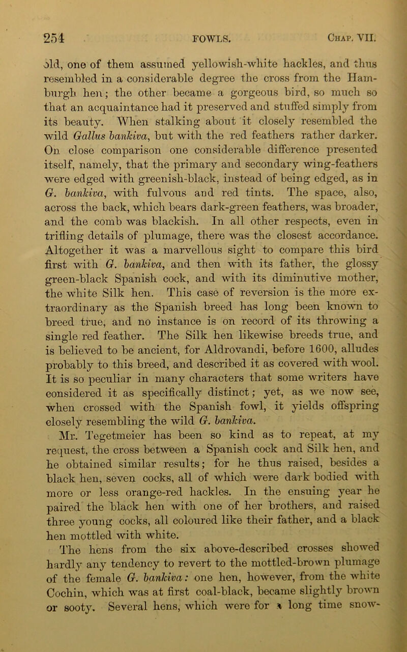 old, one of them assumed yellowish-white hackles, and thus resembled in a considerable degree the cross from the Ham- burgh hen; the other became a gorgeous bird, so much so that an acquaintance had it preserved and stuffed simply from its beauty. When stalking about it closely resembled the wild Gallus banlciva, but with the red feathers rather darker. On close comparison one considerable difference presented itself, namely, that the primary and secondary wing-feathers were edged with greenish-black, instead of being edged, as in G. banlciva, with fulvous and red tints. The space, also, across the back, which bears dark-green feathers, was broader, and the comb was blackish. In all other respects, even in trifling details of plumage, there was the closest accordance. Altogether it was a marvellous sight to compare this bird first with G. banhiva, and then with its father, the glossy green-black Spanish cock, and with its diminutive mother, the white Silk hen. This case of reversion is the more ex- traordinary as the Spanish breed has long been known to breed true, and no instance is on record of its throwing a single red feather. The Silk hen likewise breeds true, and is believed to be ancient, for Aldrovandi, before 1600, alludes probably to this breed, and described it as covered with wool. It is so peculiar in many characters that some writers have considered it as specifically distinct; yet, as we now see, when crossed with the Spanish fowl, it yields offspring closely resembling the wild G. banlciva. Mr. Tegetmeier has been so kind as to repeat, at my request, the cross between a Spanish cock and Silk hen, and he obtained similar results; for he thus raised, besides a black hen, seven cocks, all of which were dark bodied with more or less orange-red hackles. In the ensuing year he paired the black hen with one of her brothers, and raised three young cocks, all coloured like their father, and a black hen mottled with white. The hens from the six above-described crosses showed hardly any tendency to revert to the mottled-brown plumage of the female G. banlciva: one hen, however, from the white Cochin, which was at first coal-black, became slightly brown or sooty. Several hens, which were for * long time snow-