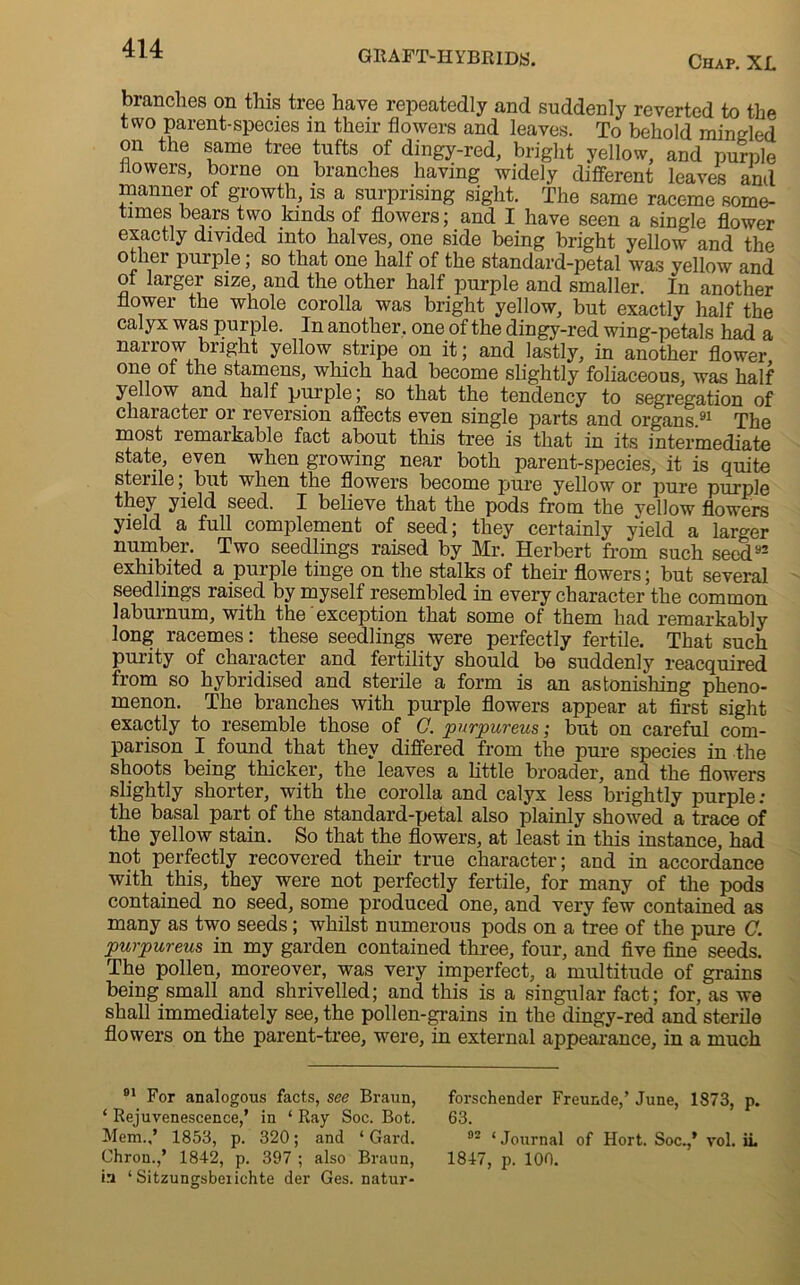 GRAFT-HYBRIDS. Chap. XL branches on this tree have repeatedly and suddenly reverted to the two parent-species in their flowers and leaves. To behold mingled on the same tree tufts of dingy-red, bright yellow, and purple Lowers, borne on branches having widely different leaves and manner of growth, is a surprising sight. The same raceme some- times bears two kinds of flowers; and I have seen a single flower exactly divided into halves, one side being bright yellow and the other purple; so that one half of the standard-petal was yellow and of larger size, and the other half purple and smaller. In another flower the whole corolla was bright yellow, but exactly half the calyx was purple. In another, one of the dingy-red wing-petals had a narrow bright yellow stripe on it; and lastly, in another flower one of the stamens, which had become slightly foliaceous, was half yellow and half purple; so that the tendency to segregation of character or reversion affects even single parts and organs.91 The most remarkable fact about this tree is that in its intermediate state, even when growing near both parent-species, it is quite sterilebut when the flowers become pure yellow or pure purple they yield seed. I believe that the pods from the yellow flowers yield a full complement of seed; they certainly yield a larger number. Two seedlings raised by Mr. Herbert from such seed92 exhibited a purple tinge on the stalks of their flowers; but several seedlings raised by myself resembled in every character the common laburnum, with the' exception that some of them had remarkably long racemes: these seedlings were perfectly fertile. That such purity of character and fertility should be suddenly reacquired from so hybridised and sterile a form is an astonishing pheno- menon. The branches with purple flowers appear at first sight exactly to resemble those of C. purpureus; but on careful com- parison I found that they differed from the pure species in the shoots being thicker, the leaves a little broader, and the flowers slightly shorter, with the corolla and calyx less brightly purple: the basal part of the standard-petal also plainly showed a trace of the yellow stain. So that the flowers, at least in this instance, had not perfectly recovered their true character; and in accordance with this, they were not perfectly fertile, for many of the pods contained no seed, some produced one, and very few contained as many as two seeds; whilst numerous pods on a tree of the pure C. purpureus in my garden contained three, four, and five fine seeds. The pollen, moreover, was very imperfect, a multitude of grains being small and shrivelled; and this is a singular fact; for, as we shall immediately see, the pollen-grains in the dingy-red and sterile flowers on the parent-tree, were, in external appearance, in a much 91 For analogous facts, see Braun, ‘ Rejuvenescence,’ in ‘ Ray Soc. Bot. Mem.,’ 1853, p. 320; and ‘ Gard. Chron.,’ 1842, p. 397 ; also Braun, in ‘ Sitzungsbeiichte der Ges. natur- forschender Freunde,’ June, 1873, p. 63. 92 ‘Journal of Hort. Soc.,’ vol. ii. 1847, p. 100.