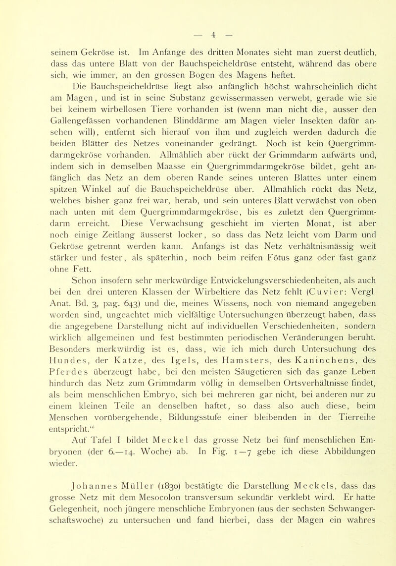 seinem Gekröse ist. Im Anfänge des dritten Monates sieht man zuerst deutlich, dass das untere Blatt von der Bauchspeicheldrüse entsteht, während das obere sich, wie immer, an den grossen Bogen des Magens heftet. Die Bauchspeicheldrüse liegt also anfänglich höchst wahrscheinlich dicht am Magen , und ist in seine Substanz gewissermassen verwebt, gerade wie sie bei keinem wirbellosen Tiere vorhanden ist (wenn man nicht die, ausser den Gallengefässen vorhandenen Blinddärme am Magen vieler Insekten dafür an- sehen will), entfernt sich hierauf von ihm und zugleich werden dadurch die beiden Blätter des Netzes voneinander gedrängt. Noch ist kein Quergrimm- darmgekröse vorhanden. Allmählich aber rückt der Grimmdarm aufwärts und, indem sich in demselben Maasse ein Quergrimmdarmgekröse bildet, geht an- fänglich das Netz an dem oberen Rande seines unteren Blattes unter einem spitzen Winkel auf die Bauchspeicheldrüse über. Allmählich rückt das Netz, welches bisher ganz frei war, herab, und sein unteres Blatt verwächst von oben nach unten mit dem Quergrimmdarmgekröse, bis es zuletzt den Quergrimm- darm erreicht. Diese Verwachsung geschieht im vierten Monat, ist aber noch einige Zeitlang äusserst locker, so dass das Netz leicht vom Darm und Gekröse getrennt werden kann. Anfangs ist das Netz verhältnismässig weit stärker und fester, als späterhin, noch beim reifen Fötus ganz oder fast ganz ohne Fett. Schon insofern sehr merkwürdige Entwickelungsverschiedenheiten, als auch bei den drei unteren Klassen der Wirbeltiere das Netz fehlt (Cu vier: Vergl. Anat. Bd. 3, pag. 643) und die, meines Wissens, noch von niemand angegeben worden sind, ungeachtet mich vielfältige Untersuchungen überzeugt haben, dass die angegebene Darstellung nicht auf individuellen Verschiedenheiten, sondern wirklich allgemeinen und fest bestimmten periodischen Veränderungen beruht. Besonders merkwürdig ist es, dass, wie ich mich durch Untersuchung des Hundes, der Katze, des Igels, des Hamsters, des Kaninchens, des Pferdes überzeugt habe, bei den meisten Säugetieren sich das ganze Leben hindurch das Netz zum Grimmdarm völlig in demselben Ortsverhältnisse findet, als beim menschlichen Embryo, sich bei mehreren gar nicht, bei anderen nur zu einem kleinen Teile an denselben haftet, so dass also auch diese, beim Menschen vorübergehende, Bildungsstufe einer bleibenden in der Tierreihe entspricht.“ Auf Tafel I bildet Meckel das grosse Netz bei fünf menschlichen Em- bryonen (der 6.—14. Woche) ab. In Eig. 1—7 gebe ich diese Abbildungen wieder. Johannes Müller (1830) bestätigte die Darstellung Meckels, dass das grosse Netz mit dem Mesocolon transversum sekundär verklebt wird. Er hatte Gelegenheit, noch jüngere menschliche Embryonen (aus der sechsten Schwanger- schaftswoche) zu untersuchen und fand hierbei, dass der Magen ein wahres