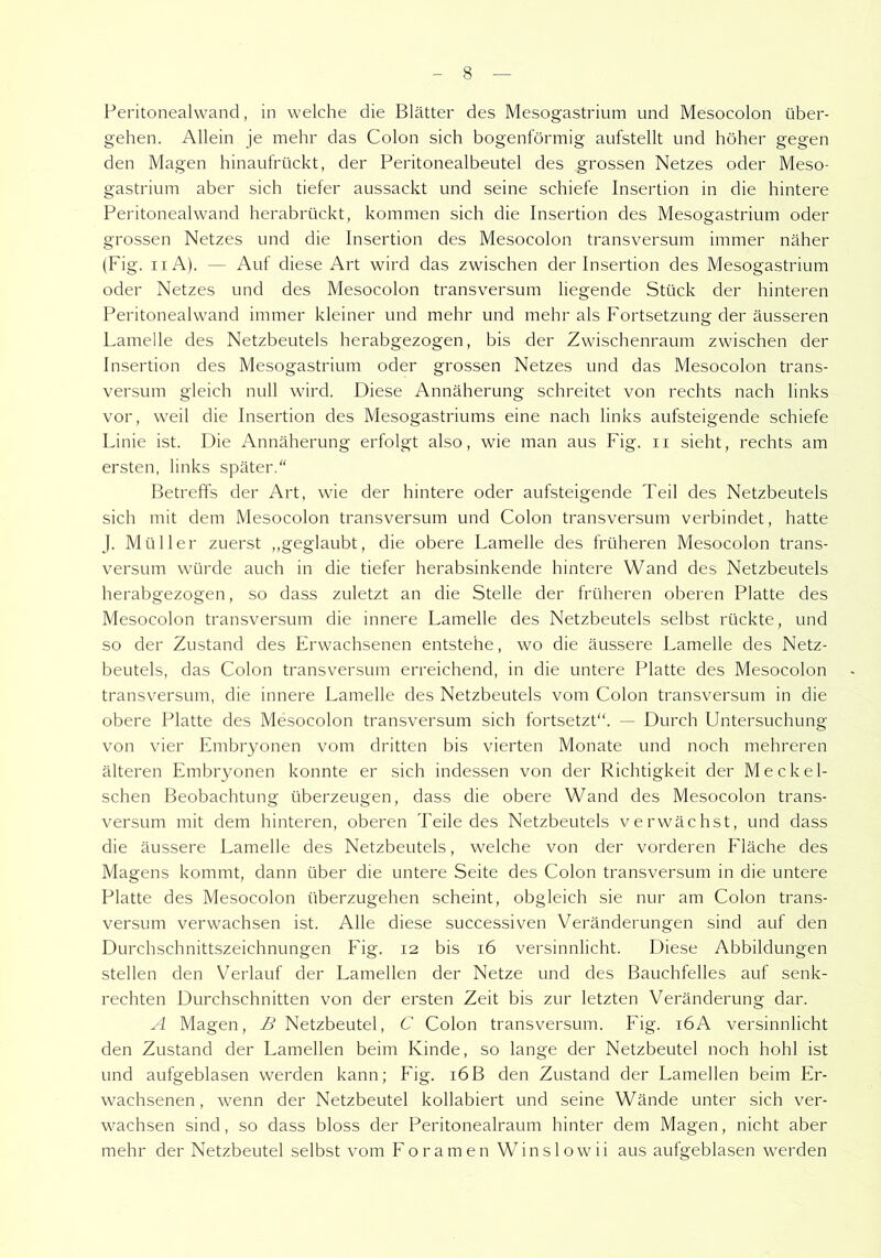 Peritonealwand, in welche die Blätter des Mesogastrium und Mesocolon über- gehen. Allein je mehr das Colon sich bogenförmig aufstellt und höher gegen den Magen hinaufrückt, der Peritonealbeutel des grossen Netzes oder Meso- gastrium aber sich tiefer aussackt und seine schiefe Insertion in die hintere Peritonealwand herabrückt, kommen sich die Insertion des Mesogastrium oder grossen Netzes und die Insertion des Mesocolon transversum immer näher (Fig. ii A). — Auf diese Art wird das zwischen der Insertion des Mesogastrium oder Netzes und des Mesocolon transversum liegende Stück der hinteren Peritonealwand immer kleiner und mehr und mehr als Fortsetzung der äusseren Lamelle des Netzbeutels herabgezogen, bis der Zwischenraum zwischen der Insertion des Mesogastrium oder grossen Netzes und das Mesocolon trans- versum gleich null wird. Diese Annäherung schreitet von rechts nach links vor, weil die Insertion des Mesogastriums eine nach links aufsteigende schiefe Linie ist. Die Annäherung erfolgt also, wie man aus Fig. n sieht, rechts am ersten, links später.“ Betreffs der Art, wie der hintere oder aufsteigende Teil des Netzbeutels sich mit dem Mesocolon transversum und Colon transversum verbindet, hatte J. Müller zuerst „geglaubt, die obere Lamelle des früheren Mesocolon trans- versum würde auch in die tiefer herabsinkende hintere Wand des Netzbeutels herabgezogen, so dass zuletzt an die Stelle der früheren oberen Platte des Mesocolon transversum die innere Lamelle des Netzbeutels selbst rückte, und so der Zustand des Erwachsenen entstehe, wo die äussere Lamelle des Netz- beutels, das Colon transversum erreichend, in die untere Platte des Mesocolon transversum, die innere Lamelle des Netzbeutels vom Colon transversum in die obere Platte des Mesocolon transversum sich fortsetzt“. — Durch Untersuchung von vier Embryonen vom dritten bis vierten Monate und noch mehreren älteren Embryonen konnte er sich indessen von der Richtigkeit der Meckel- schen Beobachtung überzeugen, dass die obere Wand des Mesocolon trans- versum mit dem hinteren, oberen Teile des Netzbeutels verwächst, und dass die äussere Lamelle des Netzbeutels, welche von der vorderen Fläche des Magens kommt, dann über die untere Seite des Colon transversum in die untere Platte des Mesocolon überzugehen scheint, obgleich sie nur am Colon trans- versum verwachsen ist. Alle diese successiven Veränderungen sind auf den Durchschnittszeichnungen Fig. 12 bis 16 versinnlicht. Diese Abbildungen stellen den Verlauf der Lamellen der Netze und des Bauchfelles auf senk- rechten Durchschnitten von der ersten Zeit bis zur letzten Veränderung dar. A Magen, B Netzbeutel, C Colon transversum. Fig. 16A versinnlicht den Zustand der Lamellen beim Kinde, so lange der Netzbeutel noch hohl ist und aufgeblasen werden kann; Fig. 16B den Zustand der Lamellen beim Er- wachsenen , wenn der Netzbeutel kollabiert und seine Wände unter sich ver- wachsen sind, so dass bloss der Peritonealraum hinter dem Magen, nicht aber mehr der Netzbeutel selbst vom Foramen Winslowii aus aufgeblasen werden