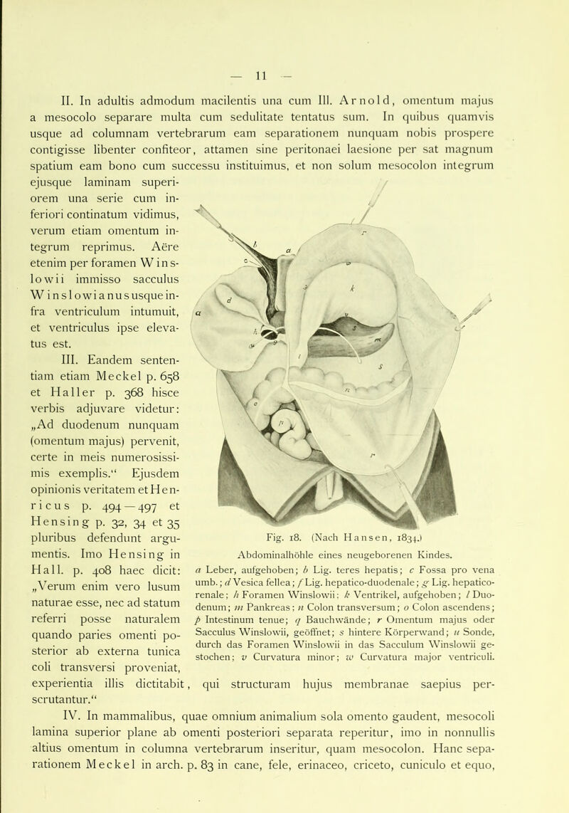 II. In adultis admodum macilentis una cum III. Arnold, omentum majus a mesocolo separare multa cum sedulitate tentatus sum. In quibus quamvis usque ad columnam vertebrarum eam Separationen! nunquam nobis prospere contigisse libenter confiteor, attamen sine peritonaei laesione per sat magnum spatium eam bono cum successu instituimus, et non solum mesocolon integrum ejusque laminam superi- orem una serie cum in- feriori continatum vidimus, verum etiam omentum in- tegrum reprimus. Aere etenim per foramen W ins- lowii immisso sacculus W inslowianususquein- fra ventriculum intumuit, et ventriculus ipse eleva- tus est. III. Eandem senten- tiam etiam Meckel p. 658 et Haller p. 368 hisce verbis adjuvare videtur: „Ad duodenum nunquam (omentum majus) pervenit, certe in meis numerosissi- mis exemplis.“ Ejusdem opinionis veritatem et H e n- r i c u s p. 494 — 497 et Hensing p. 32, 34 et 35 pluribus defendunt argu- mentis. Imo Hensing in Fig. 18. (Nach Hansen, 1834.) Abdominalhöhle eines neugeborenen Kindes. a Leber, aufgehoben; b Lig. teres hepatis; c Fossa pro vena Hall. p. 408 haec dicit: „Verum enim vero lusum naturae esse, nec ad statum referri posse naturalem quando paries omenti po- sterior ab externa tunica coli transversi proveniat, experientia illis dictitabit scrutantur.“ IV. In mammalibus, quae omnium animalium sola omento gaudent, mesocoli lamina superior plane ab omenti posteriori separata reperitur, imo in nonnullis altius omentum in columna vertebrarum inseritur, quam mesocolon. Hane sepa- rationem Meckel in arch. p. 83 in cane, feie, erinaceo, criceto, cuniculo et ecjuo, umb.; d Vesica fellea; /Lig. hepatico-duodenale; g Lig. hepatico- renale; //Foramen Winslowii; £ Ventrikel, aufgehoben; / Duo- denum; m Pankreas; n Colon transversum; 0 Colon ascendens; p Intestinum tenue; q Bauchwände; r Omentum majus oder Sacculus Winslowii, geöffnet; s hintere Körperwand; 11 Sonde, durch das Foramen Winslowii in das Sacculum Winslowii ge- stochen; v Curvatura minor; w Curvatura major ventriculi. qui structuram hujus membranae saepius per-