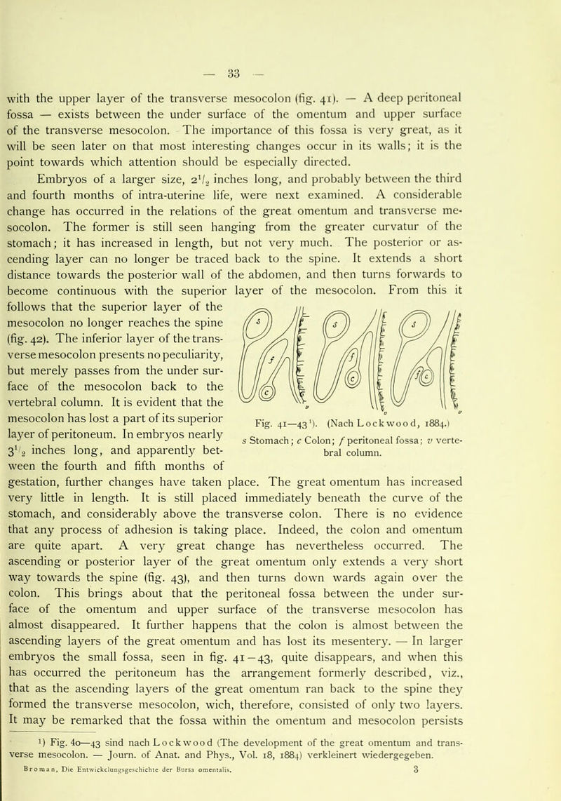 with the upper layer of the transverse mesocolon (fig. 41). — A deep peritoneal fossa — exists between the under surface of the omentum and upper surface of the transverse mesocolon. The importance of this fossa is very great, as it will be seen later on that most interesting changes occur in its walls; it is the point towards which attention should be especially directed. Embryos of a larger size, 21/., inches long, and probably between the third and fourth months of intra-uterine life, were next examined. A considerable change has occurred in the relations of the great omentum and transverse me- socolon. The former is still seen hanging from the greater curvatur of the stomach; it has increased in length, but not very much. The posterior or as- cending layer can no longer be traced back to the spine. It extends a short distance towards the posterior wall of the abdomen, and then turns forwards to become continuous with the superior layer of the mesocolon. From this it follows that the superior layer of the mesocolon no longer reaches the spine (fig. 42). The inferior layer of the trans- verse mesocolon presents no peculiarity, but merely passes from the under sur- face of the mesocolon back to the vertebral column. It is evident that the mesocolon has lost a part of its superior layer of peritoneum. In embryos nearly 3l,2 inches long, and apparently bet- ween the fourth and fifth months of gestation, further changes have taken place. The great omentum has increased very little in length. It is still placed immediately beneath the curve of the stomach, and considerably above the transverse colon. There is no evidence that any process of adhesion is taking place. Indeed, the colon and omentum are quite apart. A very great change has nevertheless occurred. The ascending or posterior layer of the great omentum only extends a very short way towards the spine (fig. 43), and then turns down wards again over the colon. This brings about that the peritoneal fossa between the under sur- face of the omentum and upper surface of the transverse mesocolon has almost disappeared. It further happens that the colon is almost between the ascending layers of the great omentum and has lost its mesentery. — In larger embryos the small fossa, seen in fig. 41—43, quite disappears, and when this has occurred the peritoneum has the arrangement formerly described, viz., that as the ascending layers of the great omentum ran back to the spine they formed the transverse mesocolon, wich, therefore, consisted of only two layers. It may be remarked that the fossa within the omentum and mesocolon persists J) Fig. 4o—43 sind nach Lockwood (The development of the great omentum and trans- verse mesocolon. — Journ. of Anat. and Phys., Vol. 18, 1884) verkleinert wiedergegeben. Br Oman. Die Entwickdungsgeschichte der Bursa oraemalis. 3 Fig. 41—43'). (Nach Lockwood, 1884.1 s Stomach; c Colon; / peritoneal fossa; v verte- bral column.