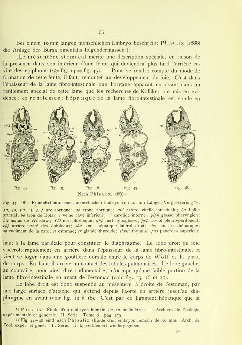 Bei einem io mm langen menschlichen Embryo beschreibt Phisalix (1888) die Anlage der Bursa omentalis folgendermassen'): „Le mesentere stomacal merite une description speciale, en raison de la presence dans son interieur d’une fente qui deviendra plus tard Karriere ca- vite des epiploons (rpp fig. 14 = fig. 45). — Pour se rendre compte du mode de formation de cette fente, il faut, remonter au developpement du foie. C’est dans l’epaisseur de la lame fibro-intestinale que l’organe apparait en avant dans un renflement special de cette lame que les recherches de Kölliker ont mis en evi- dence; ce renflement hepatique de la lame fibro-intestinale est sonde en Fig. 44. Fig. 45. Fig. 46. Fig. 47. Fig. 48. (Nach Phisalix, 1888) Fig. 44—48h. Frontalschnitte eines menschlichen Embryo von 10 mm Länge. Vergrösserung 6 1. ja, 4a, 3 a. j, 4, y arc aortique; ao tronc aortique; avi artere vitello-intestinale; ba bulbe arteriel; bo trou de Botal; c veine cave inferieur; ci carotide interne; glph glosso pharyngien; hw hiatus de Winslow; ND nerf phrenique; nbp nerf hypoglosse; ppp cavite pleuro-peritoneal; rpp arriere-cavite des epiploons; shd sinus hepatique lateral droit; shs sinus sus-hepatique; sp rudiment de la rate; st estomac; tr glande thyro'ide; thym thymus; pas pancreas superieur. haut a la lame parietale pour constituer le diaphragme. Le lobe droit du foie s’accroit rapidement en arriere dans l'epaisseur de la lame fibro-intestinale, et vient se loger dans une gouttiere dorsale entre le corps de Wolf et la paroi du corps. En haut il arrive au contact des lobules pulmonaires. Le lobe gauche, au contraire, pour ainsi dire rudimentaire, n’occupe qu’une faible portion de la lame fibro-intestinale en avant de l’estomac (voir fig. 15, 16 et 17). Le lobe droit est donc suspendu au mesentere, ä droite de l’estomac, par une large surface d’attache qui s’etend depuis l’aorte en arriere jusqu’au dia- phragme en avant (voir fig. 12 ä 18). C’est par ce ligament hepatique que la ’) Phisalix. Etüde d’un emb^-on humain de 10 millimetres. — Archives de Zoologie experimentale et generale. II. Serie. Tome 6. pag 279. 2) Fig. 44 — 48 sind nach Phisalix (Etüde d’un embryon humain de 10 mm. Arch. de Zool. exper. et gener. II. Serie. T. 6) verkleinert wiedergegeben. 3*