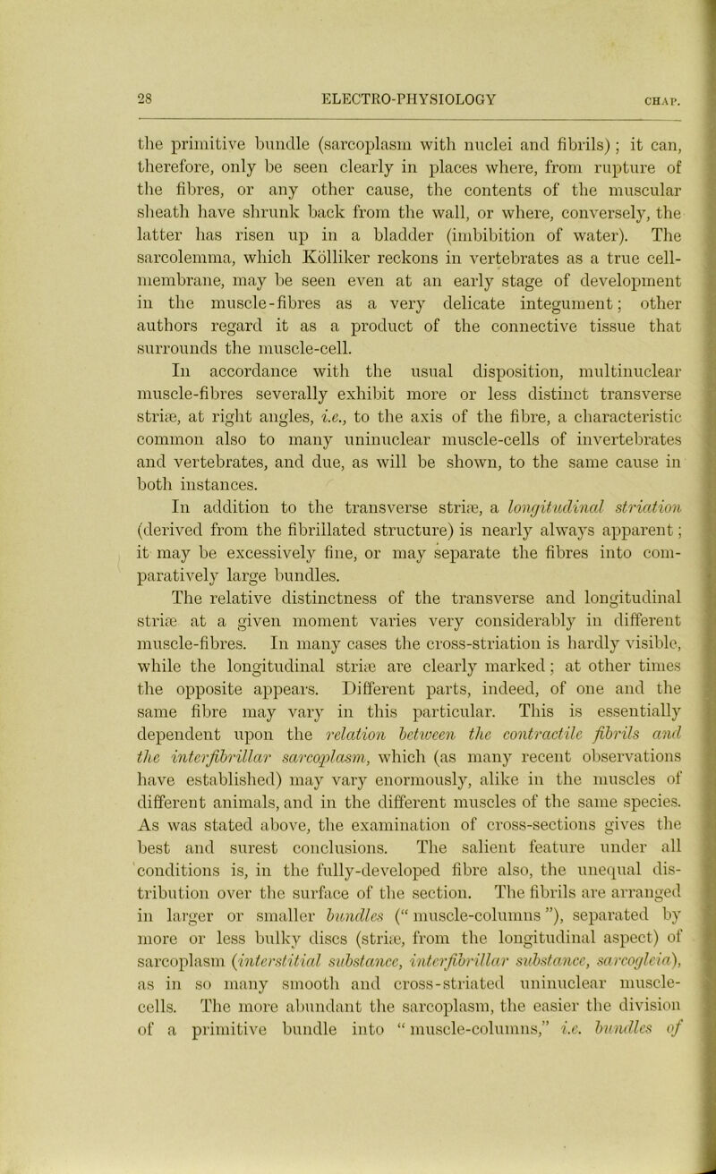 tlie primitive bundle (sarcoplasm with nuclei and fibrils) ; it can, therefore, only be seen clearly in places where, from rupture of the fibres, or any other cause, the contents of tlie muscular slieath bave shrunk baek from the wall, or where, conversely, the latter has risen up in a bladder (imbibition of water). Tlie sarcolemma, which Kolliker reckons in vertebrates as a true cell- membrane, may be seen even at an early stage of development in the muscle-fibres as a very délicate integument ; other authors regard it as a product of the connective tissue that surrounds the muscle-cell. In accordance with the usual disposition, multinuclear muscle-fibres severally exhibit more or less distinct transverse striæ, at right angles, i.e., to the axis of the fibre, a characteristic common also to many uninuclear muscle-cells of invertebrates and vertebrates, and due, as will be shown, to the same cause in both instances. In addition to the transverse striæ, a longitudinal striation (derived from the fibrillated structure) is nearly always apparent ; it may be excessively fine, or may separate the fibres into com- paratively large bundles. The relative distinctness of the transverse and longitudinal striæ at a given moment varies very considerably in different muscle-fibres. In many cases the cross-striation is hardly visible, while the longitudinal striæ are clearly marked ; at other times the opposite appears. Different parts, indeed, of one and the same fibre may vary in tliis particular. This is essentially dépendent upon the relation between tlie contractile fibrils and the interfibrillar sarcoplasm, which (as many recent observations hâve established) may vary enormously, alike in the muscles of different animais, and in the different muscles of the same species. As was stated above, the examination of cross-sections gives the best and surest conclusions. The salient feature under ail conditions is, in the fully-developed fibre also, the unequal dis- tribution over the surface of the section. The fibrils are arranged in larger or smaller bundles (“ muscle-columns ”), separated by more or less bulky dises (striæ, from the longitudinal aspect) of sarcoplasm (interstitial substance, interfibrillar substance, sarcoglcia), as in so many smooth and cross-striated uninuclear muscle- cells. The more abondant the sarcoplasm, the easier the division of a primitive bundle into “ muscle-columns,” i.e. bundles of