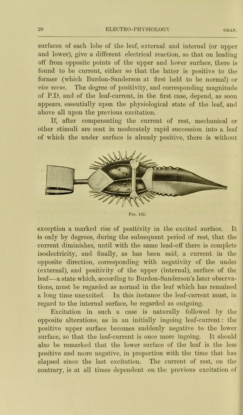 CIIAP. surfaces of eacli lobe of tlie leaf, exterual and internai (or upper and lower), give a different electrical reaction, so that on leading ofî from opposite points of tlie upper and lower surface, there is found to be current, either so that tbe latter is positive to the former (whicli Burdon-Sanderson at first beld to be normal) or vice versa. The degree of positivity, and corresponding magnitude of P.D, and of the leaf-current, in the lîrst case, dépend, as soon appears, essentially upon the physiological state of the leaf, and above ail upon the préviens excitation. If, after compensating the current of rest, mechanical or other stiimüi are sent in moderately rapid succession into a leaf of which the under surface is already positive, there is without Fio. 142. exception a marhed rise of positivity in the excited surface. It is only by degrees, during the subséquent period of rest, that the current diminishes, until with the saine lead-off there is complété isoelectricity, and finally, as lias been said, a current in the opposite direction, corresponding with negativity of the under (external), and positivity of the upper (internai), surface of the leaf—a state which, accordiiig to Burdon-Sanderson’s later observa- tions, must be regarded as normal in the leaf which lias remained a long tinie unexcited. In this instance the leaf-current must, in regard to the internai surface, be regarded as outgoing. Excitation in such a case is naturally followed by the opposite alterations, as in an initially iugoirig leaf-current : the positive upper surface becomes suddenly négative to the lower surface, so that the leaf-current is once more ingoing. It should also be remarked that the lower surface of the leaf is the less positive and more négative, in proportion with the time that lias elapsed since the last excitation. The current of rest, on the contrary, is at ail times dépendent on the previous excitation of