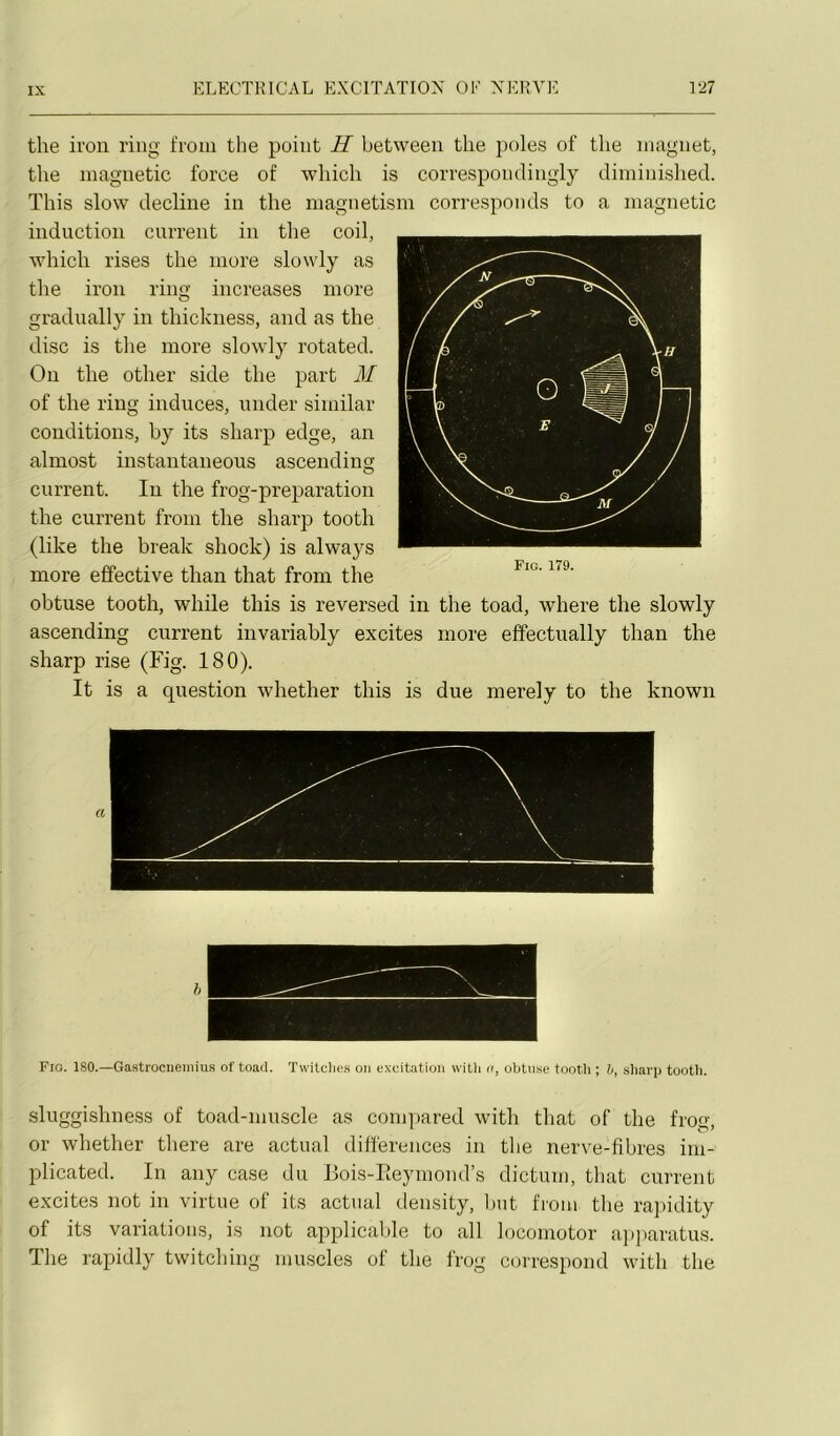 the iron ring froin the point H between the pôles of the inagnet, tlie inagnetic force of wbicli is correspomlingly diininished. This slow décliné in the magnetism corresponds to a inagnetic induction current in the coil, which rises the more slowly as the iron rins; increases more gradually in thickness, and as the dise is tlie more slowly rotated. Ou the other side the part M of the ring induces, under similar conditions, by its sharp edge, an almost instaiitaneous ascending current. In the frog-preparation the current from the sharp tooth (like the break shock) is always more effective than that from the obtuse tooth, while this is reversed in the toad, where the slowly ascending current invariably excites more effectually than the sharp rise (Fig. 180). It is a question whether this is due merely to the known Fio. 179. b Fio. 180.—Gastrocneiiiius of toad. Tvvitclios ou e\xitatioii witli «, obtuse tooth ; h, sharp tootli. sluggishness of toad-niuscle as conqiared with that of the frog, or whether there are actual différences in tlie nerve-fibres ini- plicated. In any case du Bois-rteymond’s dictum, that current excites iiot in virtue of its actual density, luit fioin the rajiidity of its variations, is iiot applicalde to ail loconiotor apparatus. The rapidly twitching muscles of the frog correspond with the