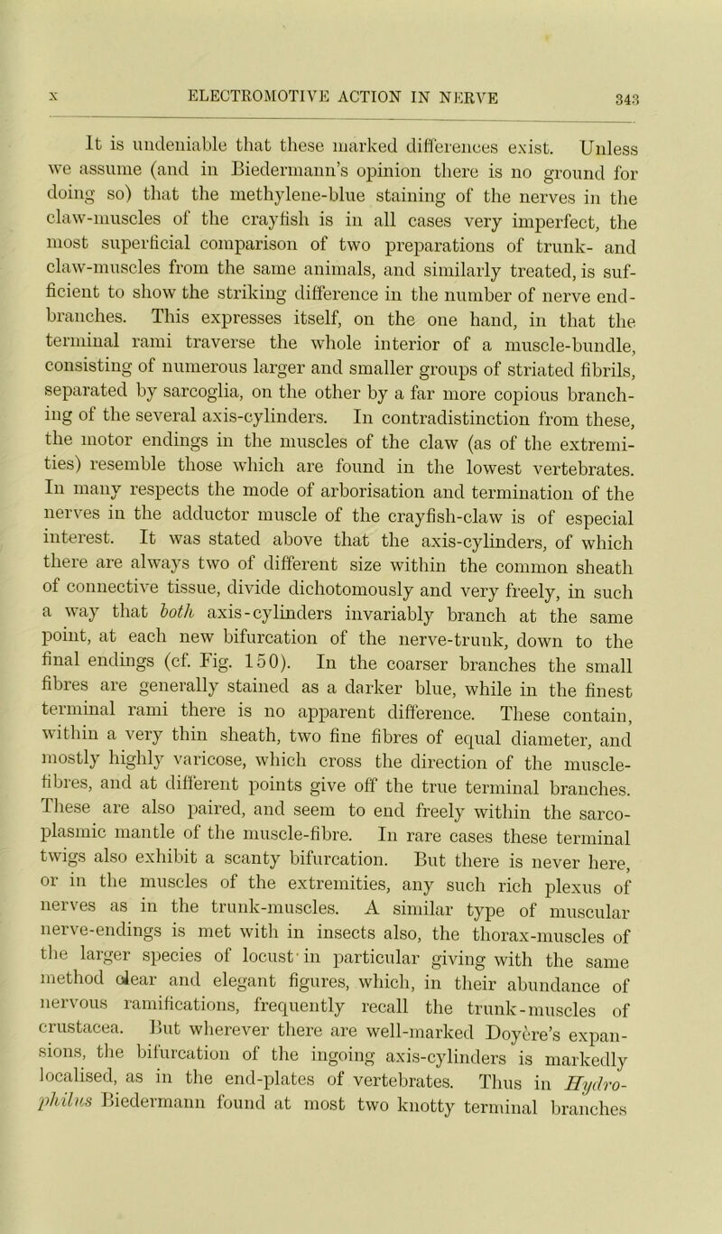 It is imdeuiable that these marked différences exist. Unless we assume (and in Biedermann’s opinion there is no gro\md for doing so) that the methylene-blue staining of tlie nerves in tlie claw-nmscles of the craytish is in ail cases very imperfect, the most supertîcial comparison of two préparations of trunk- and claw-muscles from the saine animais, and similarly treated, is suf- ficient to show the striking différence in the number of nerve end- branches. Tins expresses itself, on the one hand, in that the terminal rami traverse the whole interior of a niuscle-bundle, consisting of nunierous larger and smaller groups of striated fibrils, separated by sarcoglia, on the other by a far more copions branch- ing of the several axis-cylinders. In contradistinction from these, the motor endings in the muscles of the claw (as of the extremi- ties) resemble those wliich are found in the lowest vertebrates. In many respects the mode of arborisation and termination of the nerves in the adductor muscle of the crayfish-claw is of especial interest. It was stated above that the axis-cylinders, of which there are always two of different size within the common sheath of connective tissue, divide dichotomously and very freely, in such a way that hoth axis-cylinders invariably branch at the same point, at each new bifurcation of the nerve-trunk, down to the final endings (cf. Fig. 150). In the coarser branches the small fibres are generally stained as a darker bine, while in the finest terminal rami there is no apparent différence. These contain, within a very thin sheath, two fine fibres of equal diameter, and mostly highly varicose, which cross the direction of the muscle- fibies, and at different points give off the true terminal branches. These are also paired, and seem to end freely within the sarco- plasmic mantle of the muscle-fibre. In rare cases these terminal twigs also exhihit a scanty bifurcation. But there is never liere, or in the muscles of the extremities, any such rich plexus of nerves as in the trunk-muscles. A similar type of niuscular nerve-endings is met with in insects also, the thorax-muscles of the larger species of locust in particular giving with the same method olear and élégant figures, which, in their abundance of nervous ramifications, frecpiently recall the trunk-muscles of erustacea. But wherever there are well-marked Doyère’s expan- sions, the bifurcation of the ingoing axis-cylinders is markedly locahsed, as in the end-plates of vertebrates. Thiis in Eydro- 'philns Biedermann found at most two knotty terminal branches