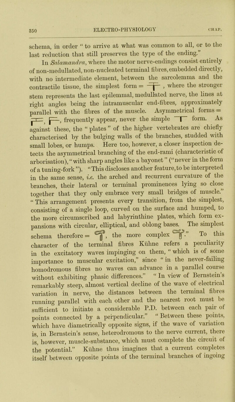 schéma, iii order “ to arrive at what was common to ail, or to the last réduction tliat still préservés the type of the ending.” In Salammidra, where the motor nerve-endings consist entirely of noii-medullated, non-nucleated terminal hhres, embedded directly, with no intermediate element, between the sarcolemma and the contractile tissue, the simplest form = , where the stronger stem represents the last epilemmal, medullated nerve, the lines at right angles being the intrarnusciilar end-fibres, approximately parallel with the fibres of the muscle. Asymmetrical forms = frequently appear, ne ver the simple | form. As against these, the “ plates ” of the higher vertebrates are chiefly characterised by the bulging walls of the branches, studded with small lobes, or humps. Here too, however, a doser inspection de- tects the asymmetrical branching of the end-rami (characteiistic of arborisation), “ with sharp angles like a bayonet (“never in the form of a tuning-fork ”). “ This discloses another feature,to be interprétée! in the same sense, i.e. the arched and récurrent curvature of the branches, their latéral or terminal prominences lying so close together that they only embrace very small bridges of muscle.” “ This arrangement présents every transition, from the simplest, consisting of a single loop, curved on the surface and humped, to the more circumseribed and labyrinthine plates, which form ex- pansions with circular, elliptical, and oblong bases. The simplest schéma therefore = the more complex To tins character of the terminal fibres Kühne refers a peculiarity in the excitatory waves impinging on them, “ which is of some importance to muscular excitation, since in the never-failing homodromous fibres no waves can advance in a paiallel coin se without exhibiting phasic différences.” “ In view of Bernsteiu’s remarkably steep, almost vertical décliné of the wave of electrical variation in nerve, the distances between the terminal fibres running parallel with each other and the nearest root must be sufficient to initiate a considérable P.D. between each pair ol points connected by a perpendicular. “ Between these points, which hâve diametrically opposite signs, if the wave of variation is, in Bernstein’s sense, heterodromous to the nerve ouïrent, theie is, however, muscle-substance, which must complété the ciiciiit ot the potential.” Kühne thiis imagines that a current complétés itself between opposite points of the terminal branches ol ingoing