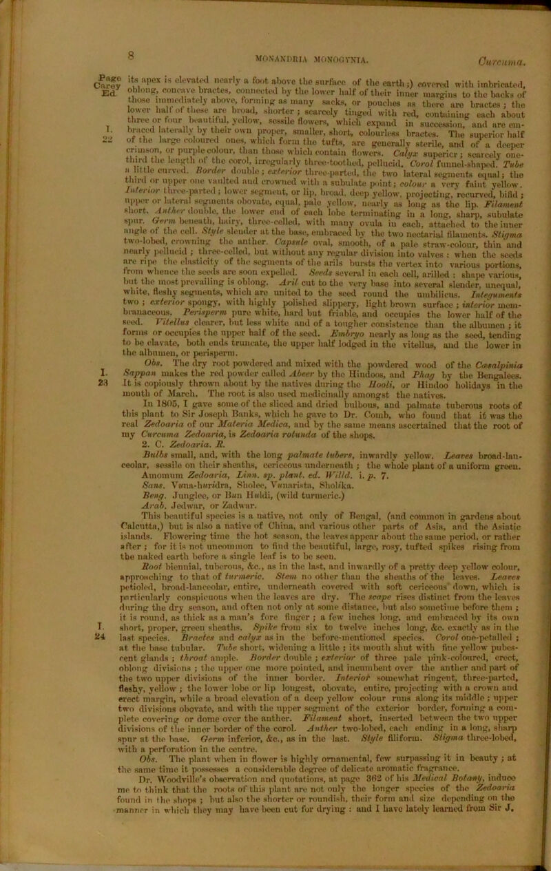 MO-VAN DR IA MONOG YNIA. Curcuma. Page Carey Ed I. 22 i. 23 I. 24 its apex is elevated nearly a foot above the surface of the earth;) covered with imbricated, oblong, concave bractes. connected by the lower half of their inner margins to the backs of those immediately above, farming as many sacks, or pouches ns there are bractes ; the lower hall of these arc broad, shorter ; scarcely tinged with red, containing each about three or four beautiful, yellow, sessile flowers, which expand in succession, and are em- braced laterally by their own propel-, smaller, short, colourless bractes. The superior half of the large coloured ones, which form the tufts, are generally sterile, and of a deeper crimson, or purple colour, than those which contain flowers. Calyx superior; scarcely one- imvnrdly yellow. Leaves broad-lan- the whole plunt of a uniform green. i. p. 7. ' bp, broad, deep yellow, projecting, recurved, bifid; upper or lateral segments obovate, equal, pale yellow, nearly as long as the lip. Filament short. Anther double, the lower end of each lobe terminating in a long, sharp, subulate spur. Germ beneath, hairy, three-celled, with many ovula in each, attached to the inner angle of the cell. Style sleuder at the base, embraced by the two nectarial filaments. Stigma two-lobed, crowning the anther. Capsule oval, smooth, of a pale straw-colour, thin and nearly pellucid ; three-celled, but without any regular division into vulves ; when tlic seeds arc ripe the elasticity of the segments of the arils bursts the vertex into various portions, from whence the seeds are soon expelled. Seeds several in each cell, arilled : shape various, but the most prevailing is oblong. Aril cut to the very base into several slender, unequal,’ white, fleshy segments, which are united to the seed round the umbilicus. Integuments two ; exterior spongy, with highly polished slippery, light brown surface ; interior mem- branaceous. Perisperm pure white, hard but friable, and occupies the lower half of the seed. X itellus clearer, but less white and of a tougher consistence than the albumen ; it forms or occupies the upper half of the seed. IStnibryo nearly as long as the seod, tending to be clavate, both ends truncate, the upper half lodged in the vitellus, and the lower in the albumen, or perisperra. Obs. The dry root powdered and mixed with the powdered wood of the Casalpinia Sappan makes the red powder called Abeer by the Hindoos, and Phag by the Bengalees. It is copiously thrown about by the natives during the llooli, or Hindoo holidays in the month of March. The root is also used medicinally amongst the natives. In 1805, I gave some of the sliced and dried bulbous, and palmate tuberous roots of this plant to Sir Joseph Banks, which he gave to Dr. Comb, who found that it was the real Zedoaria of our Materia Medica, and by the same means ascertained that the root of my Curcuma Zedoaria, is Zedoaria rotunda of the shops. 2. C. Zedoaria. R. Bulbs small, and, with the long palmate tubers, ceolar, sessile on their sheaths, eericeous underneath Amomum Zedoaria, Linn. sp. plant, ed. Willd. Sans. V«na-li«ridra, Sholee, V«narista, ShoU'ka. Beng. .Tunglee, or Bun Huldi, (wild turmeric.) Arab. Jedwar, or Zadwar. This beautiful species is a native, not only of Bengal, (and common in gardens about Calcutta,) but is also a native of China, and various other parts of Asia, and the Asiatic islands. Flowering time the hot season, the leaves appear about the same period, or rather after; for it is not uncommon to find the beautiful, large, rosy, tufted spikes rising from the naked earth before a single leaf is to be seen. Root biennial, tuberous, &c., as in the last, and inwardly of a pretty deep yellow colour, approaching to that of turmeric. Stem no other than the sheaths of the leaves. Leaves pet.ioled, broad-lanceolar, entire, underneath covered with soft eericeous down, which is particularly conspicuous when the leaves are dry. The scape rises distinct from the leaves during the dry season, and often not only at some distance, but also sometime before them ; it is round, as thick as a man’s fore finger ; a few inches long, and embraced by its own short, proper, green sheaths. Spike from six to twelve inches long, &c. exactly as in the last species. Bractes and calyx as in the before-mentioned species. Corol one-petalled ; at the base tubular. Tube short, widening a little ; its mouth shut with fine yellow pubes- cent glands ; throat ample. Border double ; exterior of three pale pink-coloured, erect, oblong divisions ; the upper one more pointed, and incumbent over tbe anther and part of the twro upper divisions of the inner border. Interior somewhat ringent, three-parted, fleshy, yellow ; the lower lobe or lip longest, obovate, entire, projecting with a crown and erect margin, while a broad elevation of a deep yellow colour runs along its middle ; upper two divisions obovate, and with the upper segment of the exterior border, forming a com- plete covering or dome over the anther. Filament short, inserted between the two upper divisions of the inner border of the corol. Anther two-lobed, each ending in a long, sharp spur at the base. Germ inferior, Ac., as in the last. Style filiform. Stigma three-lobed, with a perforation in the centre. Obs. The plunt when in flower is highly ornamental, few surpassing it in beauty ; at the same time it possesses a considerable degree of delicate aromatic fragrance. Dr. Woodville’s observation and quotations, at page 362 of his Medical Botany, induoo me to think that the roots of this plant are not only the longer species of the Zedoaria found in the shops ; but also tbe shorter or roundish, their form anil size depending on the manner in which they may have been cut for drying : and I have lately learned from Sir J,