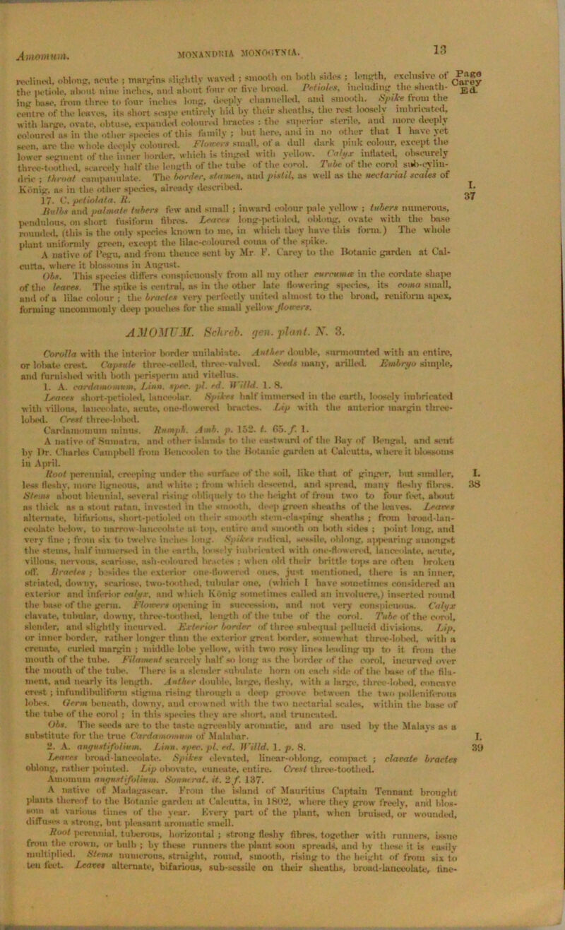 Amointan. reclined, oblong, acute ; margin* slightly waved ; smooth on both sides ; length, cxchirive of the petiole, about nine inehes. and about four or five broad. Petioles, including the sheath- ing base, from thr.v to four inehes long, deeply channelled. and smooth. Spike from the centre of the leaves, its short scape entirely hid by their sheaths, the rest looseh imbricated, with larjrt*. ovate, obtuse, expanded coloured bracten : the superior sterile, and niore deep \ coloured as in the other species of this family ; but here, and in no other that 1 ha\e \ et stxm, are the whole deeply coloured. Flamers small, of a dull dark pink colour, except the lower segment of the inner border, which is tinged with yellow. Calyx inflated, obscurely three-toothed, sea reel v half the length of the tulle of the enrol. Tube of the enrol suh-cylm- dric ; throat campanula te. The border, stamen, and pistil, as well as the uectarial scales of Kiinig, as in the other sjiecies, already descrilied. ] 7. C. pe.tiolata. 11. Hulls mid palmate tubers few and small ; inward colour pale yellow ; tubers numerous, pendulous, on short fusiform fibres. Lean s long-pet ioled, oblong, ovate with the base roundish (this is the only species known to me, in which they have this torn.) The whole plant uniformly green, except the lilac-coloured coma of the spike. A native of I'egu, and from thence sent by Mr F. Carey to the Botanic garden at Cal- cutta, where it blossoms in August. Obs. THU species differs conspicuously from all my other curcuma in the cordate shape of the leares The spike is central, as in the other late flowering species, its coma small, and of a lilac colour ; the bractcs very perfectly united almost to the broad, reuifonu apex, forming uncommonly deep pouches for the small yellow Jlotccrs. Pago Carey Ed- I. 37 AMOMTJM. Schreb. yen. plant. N. 8. Corolla with the interior border unilabiate. Anther double, surmounted with an entire, or lobnte crest Capsule three-celled, three-valved. Seeds many, willed. Embryo simple, and furnished with both perisperm and vitellus. 1. A. cardamomum, Linn. spec. pi. ed. If illd. 1. 8. leaves short qictioled, lanoeolar. Spikes half immersed in the earth, loosely imbricated with villous, lanceolate, acute, one-flowered hruetes. Lip with the anterior margin three- lulus!. Crest three-iobed. Cartlamomuin minus. Humph. A nth. p. 152. t. Go./. 1. A native of Sumatra, and other islands to the eastward of tin* Bay of Bengal, and sent by lb-- Charles Campbell from Benooolen t<> the Botanic garden at Calcutta, where it blossoms in April. Road perennial, creeping under the surface of tbe soil, like that of ginger, but smaller, I. less Ik-shy, more ligneous, and white ; from which descend, and spread, many fleshy fibres. 38 Stems about biennial, several rising obliquely to the height of from two to four feet, ulsiiit as thick as a stout ratlin, invested in the smooth, deep grcetl sheaths of the leaves. Leares alternate, btfarious, sliort-potioled on their smooth stein-olasjang slieatlis ; from hroud-lan- eeolate below, to narrow-lanceolate at top, entire and smooth on botli aides : point long, and very fine ; from six to twelve inches long. Spikes radical, sessile, oblong, ap|n-nriug amongst tile stems, half immersed in the earth, loos- iy imbricated with one-flowered, iauceolate, acute, villous, nervous, si ■ariose, asli-coloun-d braet*-s ; when old tiieir brittle Pqts are often broken off. Rraeies ; besides the exterior one-flowered ones, just mentioned, there is nti inner, striated, downy, seariose, two-toothed, tubular one, (which I have sometimes considered an exterior and inferior calyx, and which Kiinig sometimes called an involucre,) inserted round the base of the germ. Flowers opening in succession, and not very conspiciiinis. Calyx clavate, tubular, downy, three-tootlietl, length of the tube of the enrol. Tube of the enrol, slender, and slightly incurved. Exterior border of three subequal fxdlucid divisions. Lip, or inner border, rather longer than the exterior great Ixirder. somewhat three-lobed, with a erennte, curled margin ; middle lota* yellow, with two rosy line* leading up to it from the mouth of the tube. Filament scarcely half so long as the border of the enrol, incurred over the mouth of the tube. There is a slender subulate horn on each side of the Iwse of the fila- ment. and nearly its length. Anther double. Large, fleshy, with a large, three-iobed, concave crest ; infundibulifonn stigmu rising through a deep gnsive between the two |>o!lotiifcrotis lolies. Germ beneath, downy, and crowned with the two uectarial scales, within the base of the tube of the eond ; in this species they are short, and truncated. Obs. The sets Is are to the taste agreeably aromatic, and are used by the Malays as a substitute for the true Cardamomum of Malubar. I. 2. A. anyuxt folium. Linn. spec. pt. ed. Willd.l.p.S. 31) litres broad-lanceolate. Spikes elevated, linear-oblong, compact ; elacate tirades oblong, rather pointed. Lip obovato, euneate, entire. Crest three-toothed. Auiomiim august folium. Son >n rat. it. 2f. 137. A native of Maiiagascar. From the island of Mauritius Captain Tennant bronght. plunt* thereof to the Botanic garden at Calcutta, in 1802, where they grow freelv, and blos- *om at various times of the year. Kvery part of the plant, when bruised, or wounded, diffuses a strong, but pleasant aromatic smell. Root perennial, tuberous, horizontal ; strong fleshy fibres, together with runners, issue from the crown, or bulb ; by these runners tbe plant soon spreads, and by these it is easily multiplied. Stems numerous, straight, round, smooth, rising to the height of from six to teu feet Leaves alternate, bifarious, suh-sessile on their slieatlis, hroad-lauceolatl•, fine-