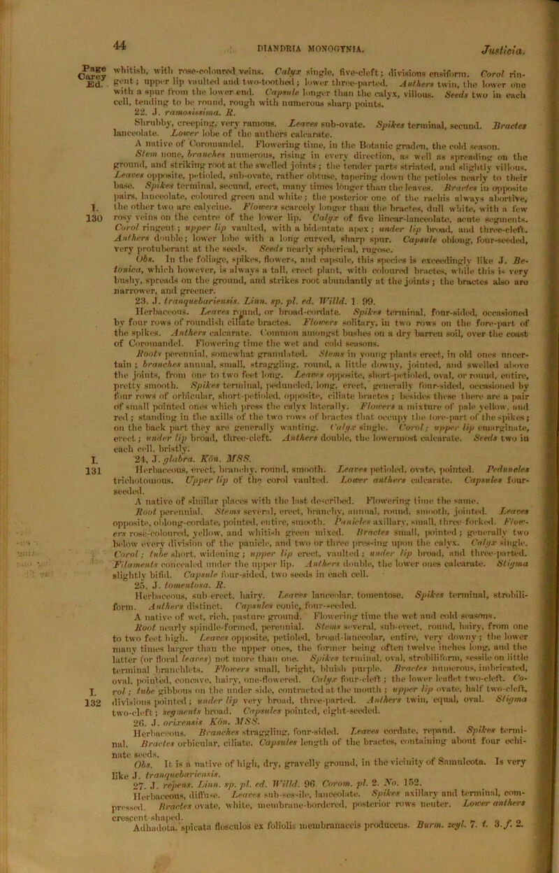 Page Carey JEd. I. 130 I 131 I. 132 whitish, with rose-coloured veins. Calyx single, five-cleft; divisions ensifonn. Coral rin- gent j upper lip vaulted and two-toothed; lower tliree-parted. Anthers twin, the lower one with a spur from the lower end. Capsule longer than the calyx, villous. Seeds two in each cell, tending to be round, rough with numerous sharp points. 22. J. ramosissima. It. Shrubby, creeping, very ramous. Leaves sub-ovate. Spikes terminal, secund. liractes lanceolate. Lower lobe of the anthers calcarate. A native of Coromandel. Flowering time, in the Botanic graden, the cold season. s/etn none, branches numerous, rising in every direction, as well as spreading on the ground, and striking root at the swelled joints; the tender parts striated, and slightly villous. Leaves opposite, petioled, sub-ovate, rather obtuse, tapering down the petioles nearly to their base. Spikes terminal, second, erect, many times longer than the leaves, liractes in opposite pairs, lanceolate, coloured green and white; the posterior one of the nicliis always abortive, the other two are calyciue. Flowers scarcely longer than the liractes, dull white, with a few rosy veins on the centre of the lower lip. Calyx of five linear-lanceolate, acute segments. Corot ringent; upper lip vaulted, with a bidentate apex; under lip broad, and three-cleft. Anthers double; lower lobe with a long curved, sharp spur. Capsule oblong, four-seeded, very protuberant at the seeds. Seeds nearly spherical, rugose. Obs. In the foliage, spikes, flowers, and capsule, this species is exceedingly like J. lie- tonica, which however, is always a tall, erect plant, with coloured liractes, while this is very bushy, spreads on the ground, and strikes root abundantly at the joints ; the bractes also aro narrower, and greener. 23. J. tranquehariensis. Linn. sp. pi. ed. Willd. 1. 99. Herbaceous. Leaves r<jnnd, or broad-cordate. Spikes terminal, four-sided, occasioned by four rows of roundish eihate bractes. Flowers solitary, in two rows on the fore-part of the spikes. Anthers calcarate. Common amongst bushes on a dry barren soil, over the coast of Coromandel. Flowering time the wet and cold seasons. ltoots perennial, somewhat granulated. Stems in young plants erect, in old ones uncer- tain ; branches annual, small, straggling, round, a little downy, jointed, and swelled above the joints, from one to two feet long. Leaves opposite, short-petioled, oval, or round, entire, pretty smooth. Spikes terminal, peduncled, long, erect, generally four-sided, occasioned by four rows of orbicular, short-petioled. opposite, ciliate bractes ; besides these there are a pair of small pointed ones which press the calyx laterally. Flowers a mixture of pale yellow, and red; standing in the axills of the two rows of bractes that occupy the lore-part of the spikes; on the back part they are generally wanting. Calyx single. Carol; upper lip enmrginate, erect; under lip broad, three-cleft. Anthers double, the lowermost calcarate. Seeds two iu each cell, bristly. 24. J. glabra. Klin. MSS. Herbaceous, erect, branchy, round, smooth. I.eares petioled, ovate, pointed. Peduncles triebotoiuous. Upper lip of the corol vaulted. Lower anthers calcarate. Capsules four- seeded. A native of similar places with the last described. Flowering time the same. Hoot perennial. Stems several, erect, branchy, annual, round, smooth, jointed. I.eares opposite, oblong-cordate, pointed, entire, smooth. Panicles axillary, small, three-forked. Flow- ers rose-coloured, yellow, and whitish green mixed, liractes small, |x>inted; generally two below every division of the panicle, and two or three pressing upon the calyx. Calyx single. Carol; tube short, widening; upper tip erect, vaulted; under lip broad, and three-parted. Filaments concealed under the upper lip. Anthers double, the lower ones calcarate. Stigma slightly bifid. Capsule four-sided, two seeds in each cell. 25. J. tomentosa. R. Herbaceous, sub-erect, hairy. Leaves lanceolar. tomentose. Spikes terminal, strobili- form. Anthers distinct. Capsules conic, four-seeded. A native of wet, rich, pasture ground. Flowering time the wet and cold seasons. Root nearly spindle-formed, perennial. Stems several, sub-erect, round, hairy, from one to two feet high. I.eares opposite, petioled, broad-laticeolar, entire, very downy; the lower many times larger than the upper ones, the former being often twelve inches long, mid the latter (or floral leaves) not more than one. Spikes terminal, oval, strobilitbrm, sessile on little terminal branchlets. Flowers small, bright, bluish purple. liractes numerous, imbricated, oval, pointed, concave, hairy, one-flowered. Calyx four-cleft; the lower leaflet two-cleft. Co- ro! ; tube gibbous on the under side, contracted at the mouth ; upper lip ovate, half two-cleft, divisions pointed; under lip very broad, three-parted. Anthers twin, equal, oval. Stiyma two-cleft; segments broad. Capsules pointed, eight-seeded. 20. J. orixensis Klin. MSS. Herbaceous. Branches straggling, four-sided. Leaves cordate, repand. Spikes termi- nal. Bractes orbicular, ciliate. Capsules length of the bractes, containing about four cchi- nate seeds. _ .... Obs. It is a native of high, dry, gravelly ground, in the vicinity of oamulcota. Is very like J. tranquehariensis. 27. .T. repens. Linn. sp. pi. ed. Willd. 96. Cororn. pi. 2. 3To. 152. Herbaceous, diffuse. Leaves sub-sessile, lanceolate. Spikes axillary and terminal, com- pressed. liractes ovate, white, membrane-bordered, posterior rows neuter. Lower anthers crescent-shaped. , . Adhadota. spicata flosculos ex foliolis membnuiaeeis produceus. Bunn. zeyl. 7. t. 4.J. i.