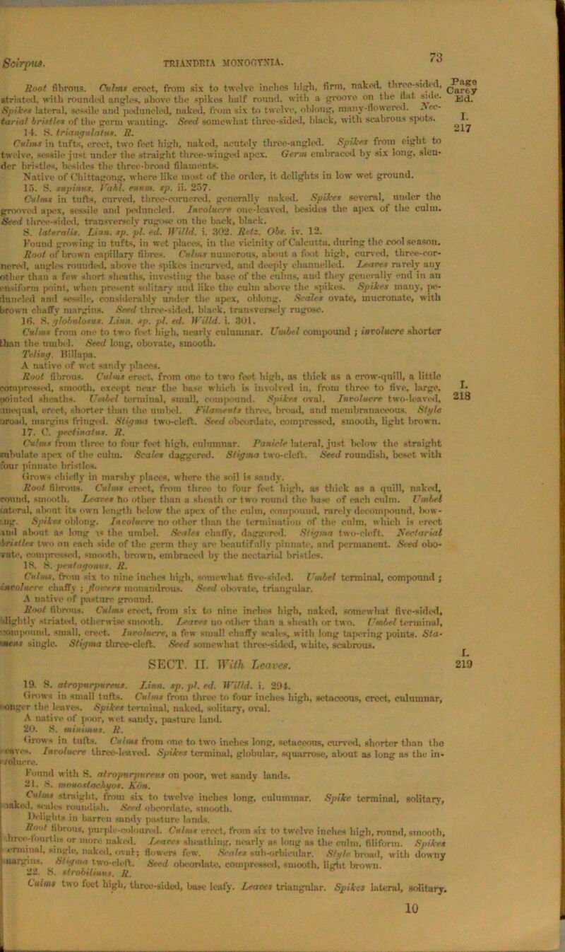 Root fibrous. Culms erect, from six to twelve inches high, firm, naked, three-sided, striated, with rounded angles, above the spikes half round, with a groove on the flat side. Spike* lateral, sessile and peduncled, naked, from six to twelve, oblong, many-flowered. * no- tarial bristles of the germ wanting. Seed somewhat three-sided, black, with scabrous spots. 14. 8. triangulatet. R. Culms in tufts, erect, two feet high, naked, acutely three-angled. Spikes from eight to twelve, sessile ju«t under the straight three-winged apex. Germ embraced by six long, slen- der bristles, besides the three-broad filaments. Native of Chittagong, where like most of the order, it delights in low wet ground. 15. S. supinus. Vahl. ennm. ep. ii. 257. Culms in tufts, curved, three-cornered, generally naked. Spikes several, under the grooved apex, sessile and peduncled. Incolucre one-leaved, besides the apex of the culm. iSeed three-sided, transversely rugose on the hack, black. S. lateralis. Linn. sp. pi. ei. H'i/ld. i. 302. ]{>!:. Obs. iv. 12. Found growing iu tufts, in wet places, in the vicinity of Calcutta, during the cool season. Root of brown capillary fibres. Culms numerous, about a foot higb, curved, three-cor- nered, angles rounded, above the spikes incurved, and deeply channelled. Ira res rarely any other than a few short sheaths, investing the base of the culms, and they generally end in an ensiforni point, when present solitary and like the culm above the spikes. Spikes many, pe- duncled ami sessile, considerably under the apex, oblong. Scales ovate, mucronate, with brown chaffy margins. Seed three-sided, black, transversely rugose. 16. S. gjobulosus. Linn. sp. pi. ed. H'illd. i. 301. Culms from one to two feet high, nearly culumnar. Umbel compound ; involucre shorter than the umbel. Seed long, obovate, smooth. Teling. Billups. A native of wet sandy places. Root fibrous. Culms erect, from one to two feet high, as thick as a crow-quill, a little Compressed, smooth, except near the base wlueh is involved in, from three to five, large, pointed sheaths. Umbel terminal, small, couiftound. Spikes oval. Involucre two-leaved, unequal, erect, shorter than the. umbel. Filaments three, broad, and membranaceous. Stylo oroad, margins fringed. Stigma two-cleft. Seed obcordate, compressed, smooth, light brown. 17. C. pectinaius. R. Culm* from three to four feet high, culumnar. Panicle lateral, just below the straight subulate apex of the culm. Scales daggered. Sdgma two-cleft. Seed roundish, beset with four pinnate bristles. Grows chiefly in marshy places, where the soil is sandy. Root fibrous. Culms ert*ct, from three to four feet high, as thick as a quill, naked, round, smooth. Leares ho other than a sheath or two round the ba-e of each culm. Umbel lateral, nl>out its own length below the apex of the culm, compound, rarely decompound, Isiw- ng. Spikes oblong. Involucre no other than the termination of the culm, which is erect »nd about as long the umbel. Seales chaffy, daggered. Stigma two-cleft, Nectarial bristles two on each side of the germ they are Iteantlfnlly pinnate, atul permanent. Seed obo- vatc, compressed, smooth, brown, embraced by the uectariul bristles. IS. 8. pen faff onus. R. Culms, from six to nine inches high, somewhat five-sided. Umbel terminal, compound ; involucre clialfy ; flowers tnouaudrous. Seed obovate, triangular, A native of pasture ground. Root fibrous. Culms erect, from six to nine inches high, naked, somewhat five-sided, slightly striated, otherwise smooth. Leaves no other than a sheath or two. Umbel terminal, ■ •ompoimd. small, erect. Involucre, a few small chaffy scales, with long tapering points. Sla- 'mens single. Stigma three-cleft. Seed somewhat three-sided, white, scabrous. SECT. II. With Leaves. Page Carey ltd. I. 217 I. 213 I. 219 19. 8. airopurparev*. Linn. sp. pi. ed. Willd. i. 291. Grows iu small tufts. Culms from throe to four inches high, setaceous, erect, culumnar, ■onger the leaves. Spikes terminal, naked, solitary, oval. A native of poor, wet sandy, pasture land. 20. 8. minimus. R. <'rows in tufts. Culms from one to two inches long, setaceous, curved, shorter than tho eaves. Involucre three-leaved. Spikes terminal, globular, squarrose, about as long as the in- i /olucre. Found w ith 8. atropurpnreus on poor, wet sandy lands. 21. S. moHostachyos. Ron. Culms straight, from six to twelve inches long, culummnr. Spike terminal, solitary, laked, scales roundish. Seed obcordate, smooth. 1 Mights in barren sandy pasture lands. Root fibrous, purple-coloured. Culms erect, from six to twelve inches high, round, smooth, I hrce-tourtlw or more naked. Leares sheathing, nearly as long as the culm, filiform. Spikes enninal, single, naked, oval; flowers few. Scales suh-orhicular. Style broad, with downy unrgui!). Sttgma two-cleft. Seed oboordate, compressed, smooth, light brown. 22. 8. strobilinus. R. Culms two feet high, throe-sided, base leafy. Leaves triangular. Spikes lateral, solitary. 10