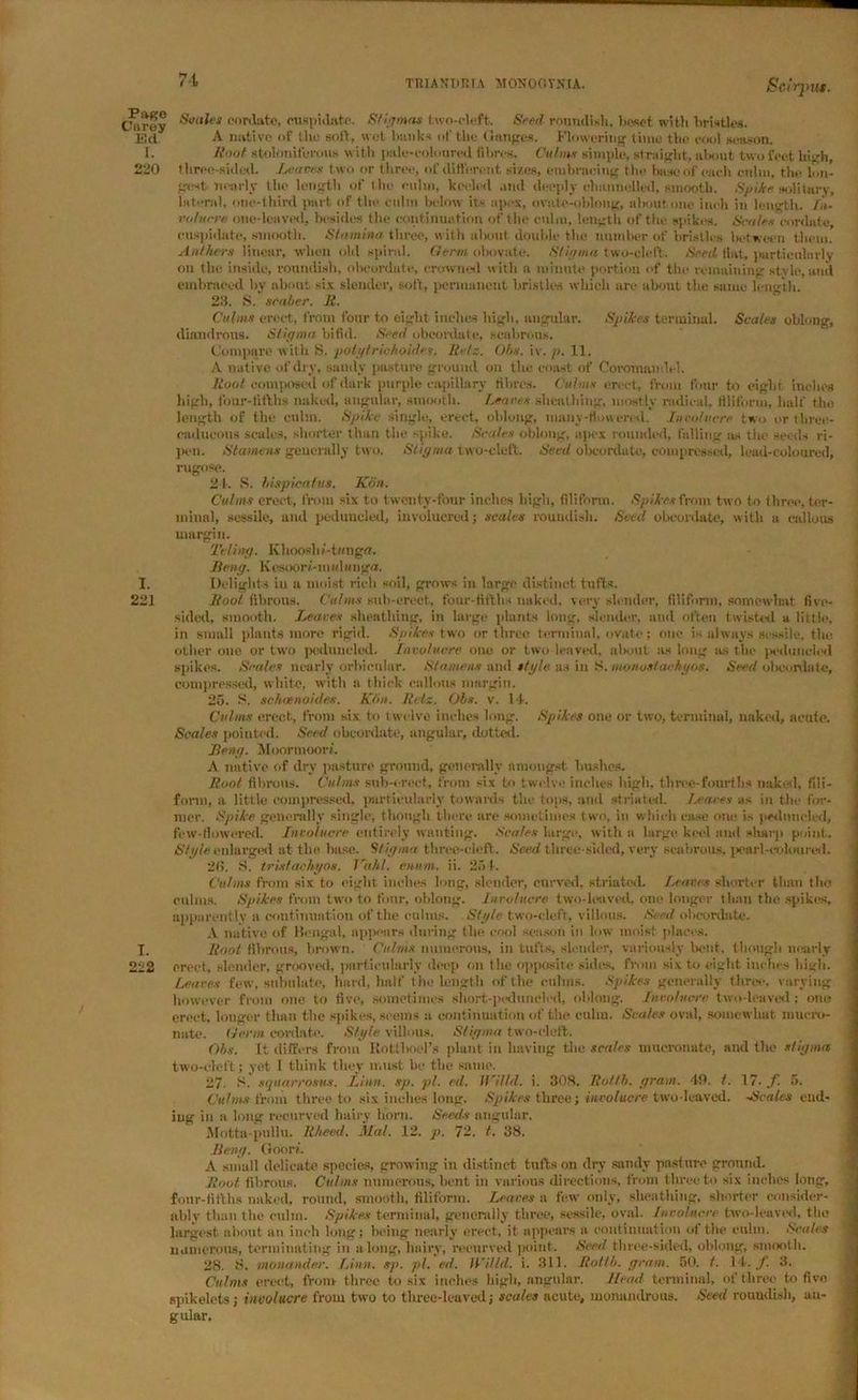 71 Carey ^°a^es <wd»tc. cuspidate. Stigmas two-cleft. Seed roundish. beset with bristle*. Ed A native of the soil, wet bunks of the Ganges. Flowering time the cool season. I. Root stolonifcrous with pale-cob mred fibres. Culm* simple, straight, about two feet high, 220 three-sided. Leaves two or three, of different sizes, embracing the base of each cnlm, the lon- gestnearly the length of the culm, keeled and deeply channelled, smooth. Spike solitary. Intend, one-third part of the culm below its apex, ovate-oblong, about,one inch in length. In- volucre one-leaved, besides the continuation of the culm, length of the spikes. Scales cordate cuspidate, smooth. Stamina three, with about, double the number of bristles between them. Anthem linear, when old spiral. Germ obovate. Stigma two-cleft. Seed tint, particularly on the inside, roundish, oboordute, crowned with a minute portion of the remainin'' style, and embraced by about six slender, soft, permanent bristles which are about the same length. 23. S. scaber. Jl. Culms erect, from four to eight inches high, angular. Spikes terminal. Scales oblong, diandrous. Stiffmn bifid. Seed obcordate, scabrous. Compare with S. potytriohoides. Ret:. Ohs. iv. p. 11. A native of dry, sandy pasture ground on the coast of Coromandel. Root composed of dark purple capillary fibres. Culms erect, from four to eight inches high, four-tifths naked, angular, smooth. Leaves sheathing, mostly radical, filiform, half the length of the culm. S/>ikc single, erect, oblong, many-flow en d. Involucre t wo or tbree- eailucons scales, shorter than the spike. Scutes oblong, apex rounded, falling as the seeds ri- pen. Stamens generally two. Stigma two-cleft. Seed obcordate, compressed, lead-coloured, rugose. 21. S. lispieatits. Kon. Culms erect, from six to twenty-four inches high, filiform. Spikes from two to three, ter- minal, sessile, and peduueled, involucred; scales roundish. Seed obcordate, with a callous margin. Telhiff. Khooshi-tangu. Seng. Kesoori-mulanga. I. Delights in a moist rich soil, grows in large distinct tufts. 221 Root fibrous. Culms sub-erect, four-fifths naked, very slender, filiform, somewhat five- sided, smooth. Leaves sheathing, in large plants long, slender, and often twisted a little, in small plants more rigid. Spikes two or three terminal, ovate; one is always sessile, the other one or two peduueled. Involucre one or two leaved, about as long as the pcduneled spikes. Seales nearly orbicular. Stamens and style as in 8. monosiachyos. Seed oheonlnte, compressed, white, with a thick callous margin. 25. S. scheenoides. Kon. Retz. Obs. v. 14. Culms erect., from six to twelve inches long. Spikes one or two, terminal, naked, acute. Scales pointed. Seed obcordate, angular, dotted. Seng. Moormoorj. A native of dry pasture ground, generally amongst bushes. Root fibrous. Culms sub-erect, from six to twelve inches high, three-fourths naked, fili- form, a little compressed, particularly towards the tops, and striated. leaves as in the for- mer. Spike generally single, though there are sometimes two, in which case one is peduueled, few-flowered. Involucre entirely wanting. Scales large, with a large keel and sharp point. S/ffie enlarged at the base. Stigma three-deft. Seed three-sided, very scabrous, pearl-coloured. 2(i. S. tristaehgos. T'ahl. enum. ii. 251. C'ul>ns from six to eight inches long, slender, curved, striated. Leaves shorter than the culms. Spikes from two to four, oblong. Involucre two-leaved, one longer than the spikes, apparently a continuation of the culms. Style two-cleft, villous. Seed obcordate. A native of Bengal, appears during the cool season in low moist places. I. Root fibrous, brown. Culms numerous, in tufts, slender, variously bent, though nearly 222 erect, slender, grooved, particularly deep on the opposite sides, from six to eight inches high. Leaves few, subulate, hard, half the length of the culms. Spikes generally three, varying however from one to five, sometimes short-peduneled, oblong. Involucre two-leaved ; one erect, longer than the spikes, seems a continuation of the culm. Scales oval, somewhat mucro- nate. Germ cordate. Style villous. Stigma two-cleft. Obs. It differs from Kottboel’s plant in having the scales mucronate, and the stigma two-cleft; yet 1 think they must be the same. 27- S. squarrosus. Linn. 8j>. pi. ed. Jf'illd. i. 308. Rottb. gram. 49. I. 17. f. 5. Culms from three to six inches long. Spikes three; involucre two-leaved. Scales end- ing in a long recurved hairy horn. Seeds angular. Mortta-pullu. Rheed. Mai. 12. p. 72. t. 38. Ueng. (loon. A small delicate species, growing in distinct tufts on dry sandy pasture ground. Root fibrous. Culms numerous, bent in various directions, from three to six inches long, four-fifths naked, round, smooth, filiform. Leaves a few only, sheathing, shorter consider- ably than the culm. Spikes terminal, generally three, sessile, oval. Involucre two-leaved, the largest about an inch long; being nearly erect, it appeal’s a continuation of the culm. Scutes numerous, terminating in along, hairy, recurved point. Seed three-sided, oblong, smooth. 28. 8. monander. Linn. sp. pi. ed. tVilld. i. 311. Rollb. gram. 50. t. It. f. 3. Culms erect, from three to six inches high, angular. Head terminal, of three to five spikelets; involucre from two to three-leaved; scales acute, monumlrous. Seed roundish, an- gular.