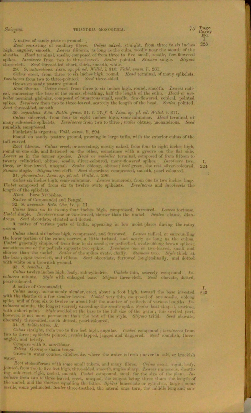 Sc!q>US. TRIANDRIA MONOOrSIA. 7i> A native of sandy pasture ground. Root consisting of capillary fibres. Culms naked, straight. from three to six inches high, angular, smooth. Leaves filiform, ns long as the culm, woolly near the mouth of the sheaths, Head terminal, sessile, composed of from three to five small, sessile, few-flowered spikes. Ineoluife from two to three-1, -aved. Scales pointed. Stamen single. Stigma tliree-eleft. Seed three-sided, short, thick, smooth, white. 29. S. aiUarcticus. Linn. sp. pt. ed. Willd. i. 310. Vahl. enum. ii. 2(51. Culms erect, from three to six inches high, round. Head terminal, of many spikelete. Incolnrres from two to three-pointed. Seed three-sided. Grows on sandy pasture ground. Hoot fibrous. Culms erect, from three to six inches high, round, smooth. leaves radi- cal, embracing the base of the culms, sheathing, half the length of the culm. Head or urn- billet terminal, glolmlar, composed of numerous small, -e silo, few-flowered, conical, pointed spikes. Involucre from two to throe-leaved, scarcely the length of the head. Scales pointed. Seed three-sided, smooth. 30. argenteus. Kim. Rot lb. gram. 51. t. 17 .f. 6. I.inn. sp. pi. ed. Willd. >. 311. Calms sub-erect, from four to eight inches high, semi-culumnar. Head terminal, of many sub-sessile spikclets. Involucres from two to three ; scales obtuse, monaudruus. Seed roundish, compressed. Fimbri-tylis nrgentea. Vahl. enum. ii. 294. Found on sandy pasture ground, growing in large tufts, with the exterior culms of the tuft curved. Hoot fibrous. Culms erect, or ascending, mostly naked, from four to eight inches high, round on one side, and flattened on the other, sometimes with a groove on the flat side. Jjcaces as in the former specie.-. Il<ad or i'« W/W terminal, composed of from fifteen to twenty cylindrical, obtuse, sessile, silver-coloured, many-flowered spikes. Involucre two, three, or four-leaved, unequal. Scab : oblong, obtu-e ; keel green, the rest silver-coloured. Stamen single. Stigma two-deft. Seed obcordnte, rani pressed, smooth, pearl coloured. 31. glonu rates. Linn. sp. pi. ed. Willd. i. 296. Culms six inches high, semi-culnmnar. Leaves numerous, from one to two inches long. TTmbel composed of from six to twelve ovate spikclets. Involucres and involvetU the length of the spikclets. Iliad, liura Nirlxshee. .Native of Coromandel and Bengal. 32. 8. arcensis, Retz. Obs. iv. p. 11. Culms from six to twenty-four inches high, rompre-sod, furrowed. Leaves tortnose. l inbel simple. Involucre one or two-leaved, shorter than the umbel. Seales obtu-e, diau- drous. Seed obeimlate, striated and d tted. A native of various parts of India, appearing in low moist places during the rainy season. Culms nlxmt six indies high, compr- — d, and furrowed. Lions radical, or surrounding the lower Jiortion of the culms, narrow, a little twisted, ami m arly a- long as the culms. L mbel g.-m-mlly simple, of from four to six »• -ik-, or j- l*. I!,-!, ovate-oblong brow n spik< -; sometimes one of the pedicels support* two spike*. Ini'olucre one or two-leave 1. -mull and shorter than the* umbel. Scales of the spike* ovule, chaffy. Stamens two. Sigh- thick at the hast-; apex two-delt, and villous. Seed olicurdatc, furrowed longitudinally, and dotteil with white ou a brownish gruund. 33. S. tenellus. R. Culms twelvA inches high, leafy, suh-cylindric. Umbels thill, scarcely ronqiniind. In- volucres minute. Style• with cidaigcd bust-. Stigma three-deft. Seed obovatc, dotted, pearl-wham d. A native of CoromandcL Culms many, uncommonly slender, erect, about a foot high, toward tie- ba.se invested with the sheaths ot a few slender leaves. Umbel very thin, compo-cd of one sessile, obh-ii- •pike, und of from six to twelve or about half the number of pedicels of various lengths. In- volucres minute, the longest scarcely exceeding tile sessile spike. Scales boat.-.shaped, -i-ariose, with a short point. Sigh swdlcsl at the base to the full size of the germ ; thi -welled part, however, is not more periimin-nt than the rest of the style. Stigma tritid. Seed olmvatc. Obscurely three-sided, much dotted, pead-coluurcd. 31. S. trideutatus. It. Culms straight, from two to five feet high, angular. Umbel compound ; involucres from two to three ; spikclets pointed ; scales lapped, jagged and daggered. Seed roundish, three- migh-d, and bristly. Compare with 8. marUimux. Tiling. Hoornpx-tdmka-/wnga. drowo in water courses, ditches, Ac. where the water is iresh ; never in salt, or brackish water. Root stoloniferona with some small tollers, and many fibres. Culms erect, rigid, leafy, jointed, from t wo to five feet high, three-sided, -niootli, angles sharp. Leaves numerous, -licutl'i- mg. sub-erect, rigid, keeled, smooth, ('mini eom{iouml, small for the size of the plant. In- volucre from two to three-leaved, erect, unequal, the longest being three time- the length of the umbel, and the shortest equalling the latter. Spike* lanceolate or eylindric, large; some sessile, Mine pcduncled. Scales three-toothed, tile lateral ones torn, the middle long and sub- Page Carey Ed. 1. 223 1. 221