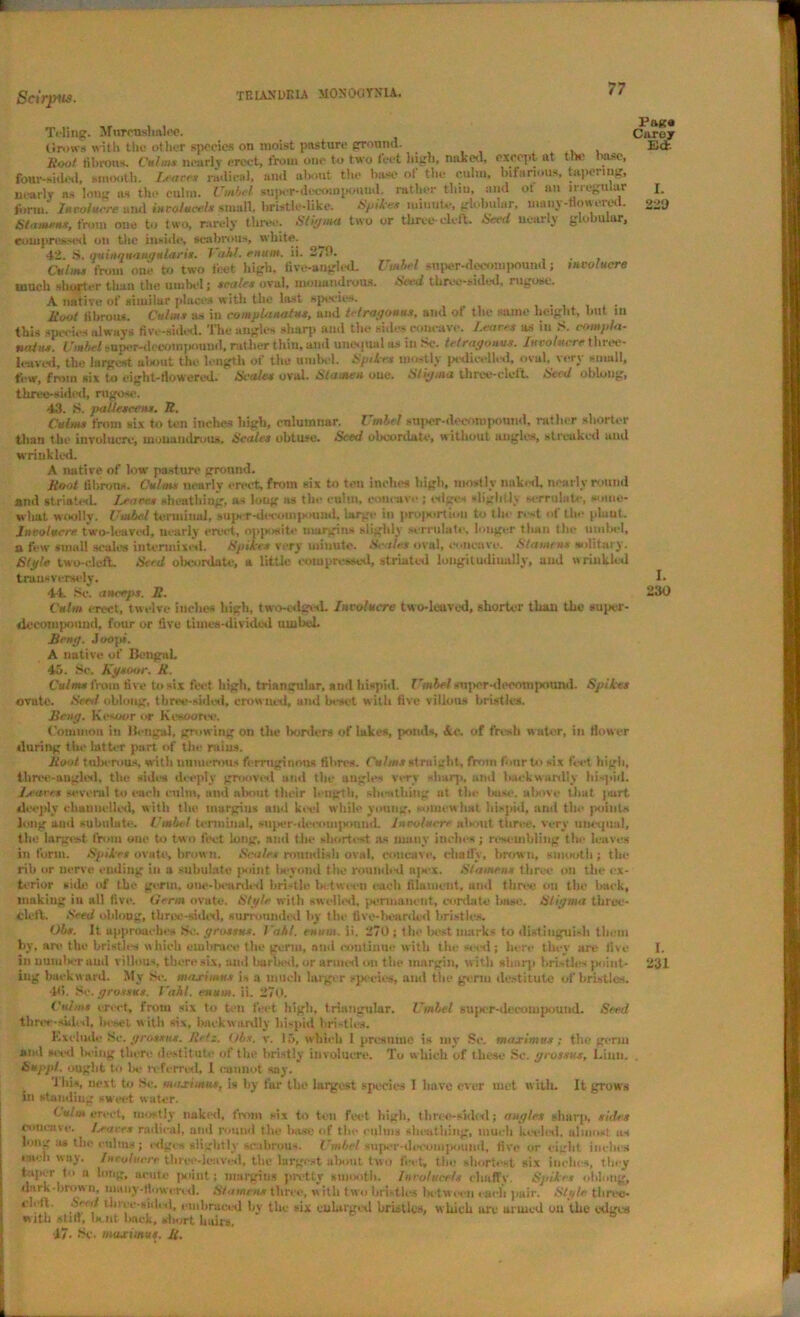 T RIAN DR IA M0N00YN1A. Scirptts. Teling. Murcushalce. Grows with the other species on moist pasture ground- . Root fibrous. Culm* nearly erect, from one to two feet high, naked, except at the base, four-sided, smooth. Leave* radical, and about the base of the culm, bifanous, hipermg, nearly ns long ns the culm. Umbel super-deeompoiiud. rather tlnu, and ot an irregular form.* Involucre and imtolucels small bristle-like. Spiles minute, globular, many-flowered. Stamens, from one to two, rarely three. Stigma two or three-cleft. Seed nearly globular, compressed on the inside, scabrous, white. 42. !s. quinquangularis. 1 ahl. enum. ii. 2/0. ... Culms from one to two feet high, five-augh-d. Umbel super-decompound; involucre much shorter than the umbel; scale* oval, mouandrous. Seed three-sided, rugose. A native of similar places with the last species. Root fibrous. Culms as in complaaatus, and tetragouus, and of the same height, but in this species always five-sided. The angles sharp and the sides concave. leaves as in S. compla- nalit*. Umbel super-dceompouud, rather thin, and unequal as in Sc. tetragouus. luvolucrethrec- 1 caved, the largest about the length of the umbel. Spite* mostly pcdicellcd, oval, very small, few, from six to eight-flowered. Scales oval. Stamen one. Stigma three-elelt. Seed oblong, three-sided, rugose. 43. S. palJescens. R. Culms from six to ten inches high, columnar. Umbel super-decompound, rather shorter than the involucre, mouandrous. Scales obtuse. Seed obcordatc, without angles, streaked ami wrinkled, A native of low pasture ground. Root fibrous. Culms nearly erect, from six to ten inches high, mostly nuked, nearly round and striated. Leaves sheathing, as long as the culm, concave ; edge- -lightly serrulate, some- what woolly. Umbel terminal, super-decompound, large in pro|iortioii to tin rest of the pluut. Involucre two-leaved, nearly erect, opposite margins slighly serrulate, longer than the umbel, a few small scales intermixed. Spike* very minute. Scales oval, eoneave. Stamms solitary. Slgle two-deft. Seed obcordate, a little compressed, striated longitudinally, and wrinkled transversely. 44 Sc. anceps. R. Culm erect, twelve inches high, two-edged. Involucre two-leaved, shorter than the sujkt- decornpoiind, four or five tiuies-divided umbel Beng. Joopi. A native of BengaL 45. Sc. Kgsoor. R. Culms from five to six feet high, triangular, and hispid. Umbel super-decompound. Spikes ovate. Seed oblong, tbree-sided, crowned, and beset with five villous bristles. Beng. Kesoor or Kesoorcc. Common in Bengal, growing on the borders of lakes, ponds Ac. of fresh w ater, in flower during the latter part of the rnius. Root tuberous, with numerous ferruginous fibres. Culms straight, from four to six feet high, throe-angled, the sides deeply grooved and the angles very sharp, and 1 awkwardly hispid. Leaves several to each culm, and about their length, sheathing ut the base, above that part deeply channelled, with the margins and keel while young, somewhat hispid, ami the points long and subulate. Umbel terminal, mper-decompound. Involucre about three, very unequal, the largest from one to two feet long, and the shortest as many inches ; resembling the leaves in form. Spikes ovate, brow n. Scales roundish oval, concave, ehatfy, brown, smooth ; the rib or nerve ending in a subulate point la-yowl flic rounded n]s-x. Stamen* three on the ex- torior side of the germ, one-bcurded bristle between each filument, and three on the hack, making in all five. Germ ovate. Style with swelled, permanent, cordate base. Stigma three- cleft. Seed oblong, three-sided, surrounded by the five-bearded bristles. Obs. It approaches Sc. grossu*. l'ahl. enum. ii. 270 ; the best marks to distinguish them by, are the bristles which embrace the germ, and continue with the seed; here they are five in nuiuberaiul villous, there six, and barbed, or armed on the margin, w ith sharp bristles j«>iut- iug backward. My Sc. maxima* is a much larger species, and the germ destitute of bristles. 46. Sc. gross*#. Vahi. enum. ii. 270. Culms erect, from six to ten feet high, triangular. Umbel supcr-decompound. Seed three-sided, beset, with six, bnckwardly hispid bristled. Exclude Se. grossu*. Retz. Obs. v. 15, which 1 presume is my Sc. maxima*; the germ and seed living there destitute of the bristly involucre. To w hich of these Se. grossus, Liuu. Suppi. ought to he referred, 1 eunnot say. J his, next to Se. maximus, is by far the largest species 1 have over met with- It grows in standing sweet water. Culm erect, mostly naked, from six to ten Feet high, three-sided; angles sharp, sides concave. Leaves radical, and round the ha.se of the culms sheathing, much keeled, almost as long us the culms; edges slightly scabrous. Umbel super-decompound, five or eight inches i-io-h way. Involucre tliree-lettved, the largest about two feet, the shortest six inches, they taper to a long, acute point; margins pretty smooth. Inrolucets chaffy. Spikes oblong, dark-brown, many-flowered. Stamens three, witli two bristles between each pair. Style three- ‘ l1* , „ 1 hree-siih d, embraced by the six enlarged bristles, which are uruicd ou the edges with still, butt hack, short hairs. 47. Se. maximus. R. Pago Carey Edr. I. 220 I. 230 I. 231