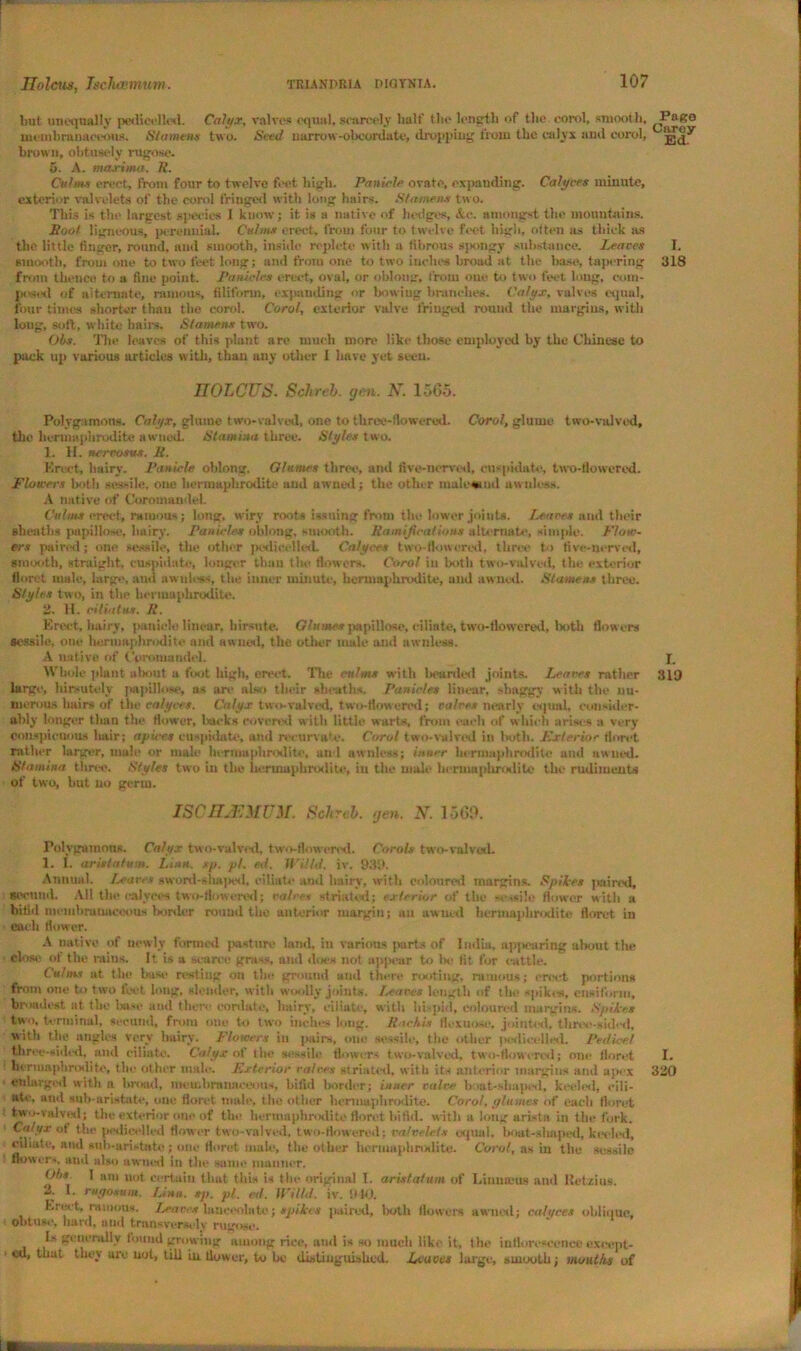 but unequally pedicellcd. Calyx, valves equal, scarcely half the length of the corol, smooth, dhifco membranaceous. Stamens two. Seed uarrow-obcordate, dropping from the calyx ami corol, brown, obtusely rugose. 5. A. maxima. R. Culms erect, from four to twelve feet high. Panicle ovate, expanding. Calyces minute, exterior valvelets of the corol fringed with long hairs. Stamens two. This is the largest species I know; it is a native of hedges, Ac. amongst the mountains. Soot ligneous, perennial. Culms erect, from four to twelve feet high, often as thick us the little finger, round, and smooth, inside replete with a fibrous spongy substance. Leaves I. smooth, from one to two feet long; and from one to two inches broad at the base, tapering 318 from thence to a fine point. Panicles erect, oval, or oblong, from one to two feet long, com- posed of alternate, ruinous, filiform, expanding or bowing branches. Calyx, valves equal, four times shorter than the corol. Corol, exterior valve fringed round the margins, with long, soft, white haiia. Stamens two. Ohs. The leaves of this plant are much more like those employed by the Chinese to pack up various articles with, than any other I have yet seen. IIOLCUS. Schreb. gen. N. 1565. Polygamous. Calyx, glume two-valved, one to throe-flowered. Corol, glume two-valved, the hermaphrodite awnod. Stamina three. Styles two. 1. H. nerrosus. R. Erect, hairy. Panicle oblong. Glumes three, and five-nerved, cuspidate, two-tlowercd. jFlowers both sessile, one hermaphrodite and awned ; the other male sand aw ideas. A native of Coromandel. Culms erect, ruinous; long, wiry roots issuing from the lower joints. Leaves and their sheaths papillose, hairy. Panicles oblong, smooth. Ramifications alternate, simple. Flow- ers paired; one sessile, the other podieelled. Calyces two-(lowered, three to five-nerved, smooth, straight, cuspidate, longer than the flowers. Corol in both two-valved, the exterior fiord male, large, and awulcss, the inner minute, hermaphrodite, and awned. Stamens three. Styles two, in the hermaphrodite. 2. H. ciliatus. R. Erect, hairy, panicle linear, hirsute. Glumes papillose, ciliate, two-tlowered, both flowers sessile, one hermaphrodite and awned, the other male and awnless. A native of Coromandel. j. Whole plant about a foot high, erect. The culms with bearded joints. Leaves rather 319 large, hireutely jwtpillo.se, as are also their sheaths. Panicles linear, shaggy with the nu- merous hairs of the calyces. Calyx two-valved, two-dowered; calces nearly equal, consider- ably longer than the flower, backs covered w ith little warts, from each of which arises a very conspicuous hair; apices cuspidate, and reeurva'e. Corol two-valved in both. Exterior floret rather larger, male or male hermaphrodite, and awnless; inner hermaphrodite and awned. Stamina three. Styles two in the hermaphrodite, in the male hermaphrodite the rudiments of two, but no germ. ISCHJEMUM. Schreb. gen. N. 1569. Polygamous. Calyx two-valved, two-flowered. Corols two-valved. 1. I. aristatum. Loin. sp. pi. e.d. U'iltd. iv. 939. Annual. Leans sword-shaped, dilate and hairy, with coloured margins. Spikes jiaired, Beeuud. All the calyces two-flowered; calces striated; exterior of the sessile flower with a bilid membranaceous border round the anterior margin; au awned hermaphrodite floret in each flower. A native of newly formed pasture land, in various jmrts of India, apjieuring alwut the close of the rains. It is a scarce grass, and does not appear to lie fit for cuttle. Calms at the liasc resting on the ground and there rooting, ruinous; erect portions from one to two feet long, slender, with woolly joints. leaves length of the spikes, eiwiform, broadest at the base and there cordate, hairy, dilate, with hispid, coloured margins. Spikes two, terminal, secund, from one to two inches long. Rarhis flexuose, jointed, tltree-sided, with the angles very hairy. Flowers in pairs, one sessile, the other pedicelled. Pedicel three-sided, and ciliate. Calyx of the sessile flowers two-valved, two-flowered; one floret I. hermaphrodite, the other male. Exterior calces striated, with its anterior margins and apex 320 enlarged with a broad, membranaceous, bifid border; inner calve boat-sliaped, keeled, eili- ato. and suh-aristate, one floret male, the other hermaphrodite. Corot, ylumes of each floret two-valved; the exterior one of the hermaphrodite floret bifid, with a long arista in the fork. Calyx of the pedicel led flower two-valved, two-flowered; valvelets equal, boot-sliapcd, keeled, ciliate, and suli-aristate ; one floret male, the other hermaphrodite. Corot, as in tile sessile flower-, and also awnod in the same maimer. Ohs I am not certain that this is the original 1. aristatum of Linuaius and Ketzius. 2. 1. ruyosum. [.inn. sp. pi. ed. H'illd. iv. 9*0. Krect, ruinous. Lear s lanceolate; spikes paired, both (lowers awned; calyces oblique, - obtuji*', liaru, iiiHi transverse ly rujjrojk'. Is generally found growing among rice, and is so much like it, the inflorescence except- 1 eu, that they are not, till in flower, to be distinguished. Leaves large, smooth; mouths of