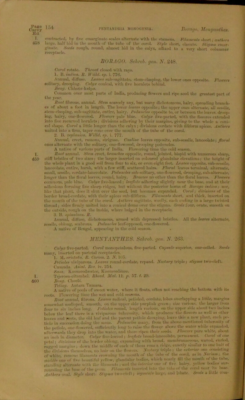 Bora go, Mcnyanthes. contracted, by five emarginato scales alternate with the stamens. Filaments short; anther* large, half hiil in the month of the tube of the enrol. Style short, elavute. Stigma eiunr- ginatp. Seeds rough, round, almost lud in the calyx, ailixed to u very short columnar receptacle. JBOltAGO. Schrcb. gen. N. 248. Carol rotate. Throat closed with rays. 1. 15. irulica. It. Willd. sp. i. 770. Annual, diffuse. leaves sub-sagittate, stem-clasping, the lower ones opposite. Flowers solitary, drooping. Calyx conical, with five hornlets behind. Feng. Ghhotu-kalpiz. Common over most parts of India, producing flowers and ripe seed the greatest part of the year. Hoot fibrous, annual. Stem scarcely any, but many dichotomous, hairy, spreading branch- es of about a foot in length. The lower leaves opposite; the upper ones alternate, all sessile, Stem-clasping, sub-sagittate, entire, hairy. Peduncles opposite to, or between the leaves, droop- ing, hairy, one-floweral. Flowers pale blue. Calyx live-parted, with the Assures extended into five recurved hornlets; divisions adhering by their margins, giving to the whole a coni- cal shape. Coral a little longer than the calyx ; divisions cordate with filiform apices. Anthers united into a firm, taper cone over the mouth of the tube of the coral. 2. B. zeylanica. Willd. sp. i. 777. Annual, erect, famous, strigose. Coniine leaves opposite, sub-sessile, lanceolate; floral ones alternate with the solitary, one-flowered, drooping peduncles. A native of various parts of India. Flowering time the cold season. Hoof annual. Stem erect, branches opposite, round, jointed, hispid with numerous sharp, stiff bristles of two sizes; the larger inserted on coloured glandular elevations; the height of the whole plant in a good soil from four to six, or even eight feet. Leaves opposite, sub-sessile, lanceolate, entire, harsh, with n few stiff, scattered hairs. Floral leaves terminal, alternate, small, sessile, cordate-lanccolatc. Peduncles sub-solitary, one-flowered, drooping, sub-alternate, longer than the floral leaves, round, hairy. 1trac/es no other than the floral leaves. Flowers corn nous, pale blue. Calyx five-leaved; leaflets adhering slightly near the base, and at their adhesions forming five sharp ridges, hut without the posterior horns of Ilorago indiaa; nor, like that plant, does it shut over the seed, hut becomes expanded. Coral; divisions of the border broad-cordate, with their apices sub-filiform. Filaments short, and thick, inserted on tlie mouth of the tube of the enrol. Anthers sagit tate, woolly, each ending in a large twist ed thread ; sides firmly united into a conical dome over the stigma. Seeds four, ovate, smooth on the outside, rough on the inside, where lodged in the receptacle. 3. 15. spinulosa. 11. Animal, diffuse, dichotomous, armed with depressed bristles. All the leaves alternate, sessile, oblong, scabrous. Peduncles leaf-opposed, one-flowered. A native of Bengal, appearing in the cold season. MENYANTRES. Schrcb. gen. N. 263. Calyx five-parted. Coral monopetalous, five-parted. Capsule superior, one-celled. Seeds many, inserted on parietal receptacles. 1. M. crUtata. 11. Corom. 2. JV. 105. Petioles viviparous, loaves round-cordate, repand. Fed ary triple; stigma two-cleft. Cumuda. Asiat. Res. iv. 254. Sans. Koomoodwwtec, Koomoodenee. Tsjeroea-citambel. Rheed. Mai. 11. p. 57- t. 29. Peng. Chocli. Teling. Antara Tamara. A native of pools of sweet water, where it floats, often not reaching the bottom with its roofs. Flowering t ime the wet and cold seasons. Ront annual, fibrous. Leases radical, pctioled, cordate, lobes overlapping a little, margins somewhat scolloped, smooth, on the upper side purplish green ; size various, the larger from four to six inches long. Petioles round, length various, oil the upper side about t wo inches below the leaf there is a viviparous tuberosity, which produces the flowers ns wall as other leaves and roots, the old leaf and tile parent petiole decaying, leave this « new plant, each pe- tiole in succession doing the same. Peduncles many, from the above-mentioned tuberosity of the petiole, one-flowered, sufficiently long to raise the flower above the water while expanded, afterwards they drop into the water, and there ripen their seeds. Flowers pure white, about tm inch in diameter. Calyx five-leaved ; leaflets broad-lanceolate, permanent. Carol of one petal; divisions of tbe border oblong, expanding with broad, membranaceous, waved, curled, nigged margins; down the middle of cud i of them runs a ridge, exactly similar to one bait of tbe division's themselves, no lmir on the flowers. Nectary triple ; the exterior one consisting of white, ruinous filaments crowning the month of the lube of the eorol, as in Lerium; the middle one of five beautiful yellow, glandular bodies, which nearly till the mouth of the tube, standing alternate with the filaments ; and the interior one of five hairy, yellow bodies sur- rounding the base of the germ. Filamt n/s inserted into the tube of (be eorol ntar its base. Anthers v\ul. Style short. Stigma two-cleft; segments large, and lobate, Seeds a little com-