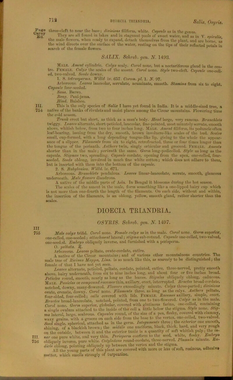 DIO EC IA TRIANDRIA. Salim, Osyrit, tliree-cloft to near the base; divisions filiform, white. Capsule as in the genua. ^Ed.y They are all found in hikes and in stagnant pools ol' sweet water, and as in V. spiralis the male flowers, when ready to expand, detach themselves from the plant, and are borne, as the wind directs over the surface of the water, resting on the tips of their reflected petals in search of the female flowers. SALTX. Schreb. yen. N. 1493. Male. Ament cylindric. Calyx scaly. Carol none, but a nectariferous gland in the cen- tre. Female. Calyx the scales of the ament. Carol none. Style two-cleft. Capsule one-cell- ed, two-valved. Seeds downy. 1. S. tetrasperma. Willd iv. 657. Corom.pl. 1. N. 97. Arboreous. Leaves lauceolar, serrulate, acuminate, smooth. Stamina from six to eight. Capsule four-seeded. Sans. Bwran. Beng. Pani-jama. Hind. Baisliee. 111. Thi s is the only species of Salix I have yet found in India. It is a middle-sized tree, a 754 native of the banks of rivulets and moist places among the Circar mountains. Flowering time the cold season. Trunk erect but short, as thick as a man’s body. Head large, very famous. BrancMets twiggy. Leaves alternate, short-petioled, lanceolar, fine-pointed, most minutely serrate, smooth above, whitish below, from two to four inches long. Male. Ament filiform, its peduncle often leaf-bearing, issuing from the dry, smooth, brown involucre-like scales of the bud. Seales small, cup-formed, with a long depending tongue-like lip, giving to the whole the appear- ance of a slipper. Filaments from six to eight, retrofracted, three or four times longer than the tongue of the perianth. Anthers twin, singly orbicular and grooved. Female. Aments shorter than in the male; perianth the same. Qerm loug-pedicellcd. Style as long us the capsule. Stigmas two, spreading. Capsule cordate, opening from the apex, one-celled, four- seeded. Seeds oblong, involved in much fine, white cotton; which does not adhere to them, but is inserted with them into the bottom of the capsule. 2. S. Babyloniea. Willd. iv. 671. Arboreous. Branchtets pendulous. Leaves linear-lanceolate, serrate, smooth, glaucous underneath. Male flowers diandrous. A native of the middle parts of Asia. In Bengal it blossoms during the hot season. The scales of the ament in the male, form something like a one-lipped hairy cup which is not more than one-fourth the length of the filaments. On each side, without and within, the insertion of the filaments, is an oblong, yellow, smooth gland, rather shorter than the scales. DIOECIA TRIANDRIA. OSYIUS. Schreb. gen. N. 1497. Ill 755 Male calyx trifid. Corol none. Female calyx as in the male. Corot none. Qerm superior, one-celled, one-seeded; attachment lateral; stigma sub-rotuud. Capstde one-celled, two-valved, one-seeded. Embryo obliquely inverse, and furnished with a perisperm. O. pe/tata. It. Arboreous. Leaves peltate, ovate-cordate, entire. A native of the Circar mountains; and of various other mountainous countries. Tho male tree of Ricinus Mappa, Linn, is so much like this, as scarcely to be distinguished; tho female of that I luive not yet seen. Leaves alternate, petioled, peltate, cordate, pointed, entire, three-nerved, pretty smooth above, hairy underneath, from six to nine inches long, and about four or five inches broad. Petioles round, smooth, nearly as loug as the leaves. Stipules obliquely oblong, caducous. Male. Panicles or compound racemes thin, axillary, erect, interrupted. Bractes broad-cordate, notched, downy, many-flowered. Flowers exceedingly minute. Calyx three-parted; divisions ovate, eremite, downy. Carol none. Filaments three, as long as the calyx. Anthers peltate, four-sided, four-celled; cells covered with lids. Female. Racemes axillary, simple, erect. Bractes broad-lanceolate, notched, pointed, from one to two-flowered. Calyx as in the nude. Corol none. Germ superior, globular, covered with glutinous farina, one-celled, containing a single ovnlmn attached to the inside of the cell a little below the stigma. Style none. Stig- ma lateral, large, scabrous. Capsules round, of the size of a pea, fleshy, covered with clammy, waxy grains, with a groove on each side from the base to the vertex, one-celled, two-valved. Seed single, spherical, attached as in the germ. Integuments three; the exterior, one smooth, shining, of a blackish brown; the middle one unciform, black, thick hard, and very rough on the outside, between it and the exterior tunic is a quantity of soft whitish pulp; the m- III. tier one pure white, and very thin. Perisperm conform to the seed, white, fleshy. Embryo 756 obliquely inverse, pure white. Cotyledons round-cordate, three-nerved. Plumula minute. Ra- dicle oblong, pointing obliquely up between the vertex and the stigma. _ . AH the young parts of this plant are covered with more or less of sol t, resinous, adhesive matter, which smells strongly of turpentine.