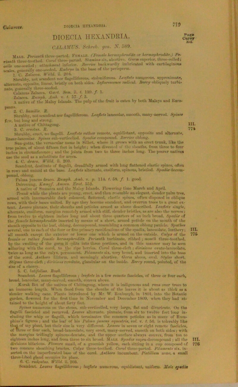 CuluMVI. riD DIO EC l A HEXAXDRIA. 6ALA}fUS. Schrub. yen. X. 589. Page Caroy itid- Malb Perianth three-|mrtcd. Fem ale. (Femalehermaphrodite or hermaphrodite.) Pe- rianth three-toothed. Carol three-puned. Stamina six. abortive. Germ superior, three-celled; one-seeded: attachment inferior. Ferries laukwardly imbricated with cartilaginous stales, generally one-seeded. Embryo in the base of the perispenn. X. C. Zedaeca. Willd. ii. 204. Shrubby not scandent nor flagelliferouB, stoioniferou*. Leaflets numerous, approximate, alternate, opposite, linear, bristly on both sides. Inflorescence radical. Berry obliquely turbi- nate, generally three-seeded. Calamus Zalacca. Geert. Sent. ii. t. 1110. f- 1. Zaineca. Humph. Amb. v. t. 57./. 2. A native of the Malay Island*. The pulp of the fruit is eaten by both Malays and huro- peans. 2. C. humilis. R. Shrubby, not scaudentnor flagelliferous. Leaflet* lanceokr, smooth, many-nerved. Spine* few, but long and strong. A native of Chittagong. III. 3. C. erect**. R. _ ( 774 Shrubby, erect, no flagelli. Leaflets rather remote, equidistant, opposite and alternate, lmear-lanceolar. Spinet sub-vertieelled. Spadix compound. Bernes oblong. Sun-gotta, the vernacular name in Silbet, where it grows with an erect trunk, like the true palms, of about fifteen feet iu height; when divested -»i the sheaths, from three to fonr ineln s in circumference; and the joint* from two to three inches long. The poorer native* use the seed as a substitute for areea, 4. C. draco. Willd. ii. 203. Scandent, destitute of flagelli, dreadfully armed with long flattened elastic spines, often in row - and united at the base. Leaflet* alternate, etisiform, spinous, bristled. Spadix deeorn- pouud, oblong. Palma juncus draco. Humph. Amb. v. p. 114. t. 58. /. 1. good. Dsireuung. Ktrmpf. Amotn. Exot. 552. A native of Sumatra and the Malay Island-. Flowering time March and April. Trunk while the plants are young, erect, and then r< -t-mble an elegant, slender palm tree, armed with innumerable dark coloured, flattened, elastic spines, often disposed in oblique rows, with their bases united. By age they become scandent, and overrun trees to a great ex- tent. Lea re* pinnate, their sheaths and petiole- anted as above described. Leaflet* single, alternate, ensif’onn. margins remotely armed with still', -lender bristles, as are also the nerves ; from twelve to eighteen inches long and about three quarter* of an inch broad. Spadix of the female hermaphrodite inserted by means of a short, armed petiole on the month of the sheath opposite to the leaf, oblong, decompound, resembling a common oblong panicle. Spat he* several, one to each of the four or five primary ramifications of t he spadix, lanceolate, leathery; III. all smooth except the exterior or lower one which i- armed on the outside. Calyx of the 775 female or rather female hermaphrodite. Perianth turbinate, ribbed ; mouth three-toothed, by the swelling of the germ it plita into three portions and in this manner may be seen adhering with the enrol, to the ripe borne*. Curol three-cleft ; division* ovate-lanceolate, twice as long as the calyx, permanent. Fn'intent* six, very broad, and inserted into the base of the corol. Anthers filiform, and seemingly abortive. Germ above, oral. Style* short. Stigma three-cleft; division* revolute, glandular on the inside. Berry round, pointed, of the size of a cherry. 5. C. latfoliu*. Roxl. Scandent. Leave* flagelliferous ; leaflet* in a few remote fascicles, of three or fonr each, broad, lanceolar, many-nerved, smooth, convex above. Korak Bet of the natives of Chittagong, where it is indigenous and runs over trees to an immense length. When frets! from the sheaths of the leaves it is about as thick as a slender walking eaue. Plants introduced by Mr W. Roxburgh, in 1801, into the Botanic garden, flowered for the first time in November and December 1809, when they had at- tained to the height of about forty feet. Spines numerous on the stems, sub-verticelled, very large, flat and divaricate. On the flagelli fascicled and recurved. Leave* alternate, pinnate, from six to twelve feet loug in- cluding the whip or flagelli, which terminates the common petioles as in many of Rum- phius’s figures ; and the leaf of his Palma juncus equestri*, vol. v. t. 5G. is tolerably like that of my plant, hut their size is very different, /cares in seven or eight remote fascicles, of three or four each, broad-lanceolate, very erect, many-nerved, smooth on both sides; with the margins trifliugly spinous-dentate, and the upper surface always convex, from ton to eighteen inches long, and from three to -ix broad. Male. Spadix supra-decompound ; all the III. divisions hilarious. Flowers small, of a greenish yellow, each sitting in a cup composed of 776 two concave sheathing bracts'-. Calyx three-toothed. Carol three-parted. Filaments six. in- serted on the imperforated base of the corol. Anthers incumbent. Pitt ilium none, a small three-lobed gland occupies its place. 6. C. rudtnlus. Willd. ii. 203. .Scandent. Leave* tlugcUiferou* ; leaflet* numerous, equidistant, uniform. Male spudtx