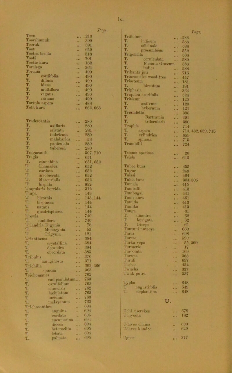 Tage. Toon 213 Toorsliumuk 309 Tooruk Mt 391 Toot 659 Tootea boiula 518 Tooti 701 Tootie kura 162 'L'orelega 364 Torenia •190 T. cordi folia ... 490 T. diilusa 490 T. liians 490 T. nuiltiflora • . . 490 T. vagans ... 490 T. varians ... 490 Tortula aspera ... 488 Tota kura ... 662, 663 Tradcscantia . » • 280 T. axillaris 280 T. cristata 281 T. imbricata 280 T. malabarioa 58 T. paniculata 280 T. tuberosa 280 Tragacanth 507, 710 Tragia 651 T. cannabina 651, 652 T. Chamadea 652 T. cordata 652 T. involucrata ... 652 T. Mcrcurialis . . . 652 T. hispida 652 Trngulariu liorrida 312 Trapa 143 T. bicornis 143,144 T. bispinosa 144 T. natans 144 T. quadrispinosa 144 Trewia 740 T. nudiflora 740 Trinndrift Digynia 78 T. Monogynia 55 T. Trigyaia 121 Trianthema • . . 384 T. erystallina 384 T. docaudra • . • 384 T. obcordata 385 T rilnilus 370 lanuginosus 371 Tricliilia ... 363, 366 T. spinosa 363 Trichomanes 762 rF. campanulntum 763 T. caruifolium 763 T. cliinensis 762 T. laciniatum ... 763 T. lucidum 763 T. raalayanura 763 Trichosantbos 694 T. anguioa 694 T. cordata 695 T. cucuniorina 694 T. dioeca 694 T. heteroclita 695 T. lobata . . . 694 T, palmate « 1 » 695 Ttje. Trifolium ... 538 T. indicum 588 T. officinale 588 T. procumbcns 552 Trigouella 588 T. corniculata 589 T. Fcenum-Graecum 588 T. indica 588 Trikanta juti ... 716 Trinconmleo wood-tree 417 Triosteiun 181 T. hirsutum ... 181 Tripliasia ,... 364 Triquera acerifolia 524 Triticum 120 T. astivmn 120 T. hybenmm 121 Trimnfetta 390 T. Bartramia 391 T. triloeularis ... 390 ■ Tropliis 714 T. aspera ... 714. 132, 659, 715 T. cylindrica 659 T. spinosa ... 715 Trumbilli ... 724 Tsiama speciosa ... 20 Tsiela ... 642 Tubee kura ... 455 Tugur ... 249 Tulasi 464 Tulda bans ... 304, 305 Tuinala 415 Tumballi ... 413 Turabugai ... 441 Tumi kura 461 Tumida ... 413 Tumika 413 Tnnga 61 T. diandra ... 62 T. lmvigata 62 T. triceps 61 Tuntuni nuteeya 663 Turai 698 Turcre 590 Turka vepa 55, 369 Turmeric 17 Turooluta 169 Turrcea 363 Turuli 697 Titsbee 454 Twucha ... 337 Twuk putra 337 Typha 618 T. angustifolia 649 T. eleplmntina 648 u. Uchi userekee 678 Uchyoota 182 Udavoe chaiim ... 630 Udavee kundec 629 Ugoor 377