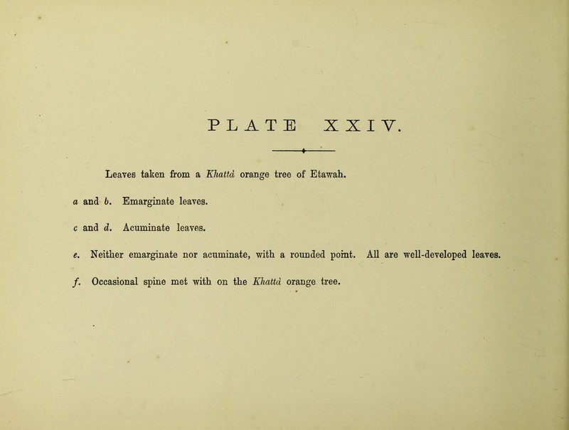 ♦ ^ Leaves taken from a Khattd orange tree of Etawah. a and 6. Emarginate leaves. c and d. Acuminate leaves. e. Neither emarginate nor acuminate, with a rounded point. All are well-developed leaves. /. Occasional spine met with on the Khattd orange tree.