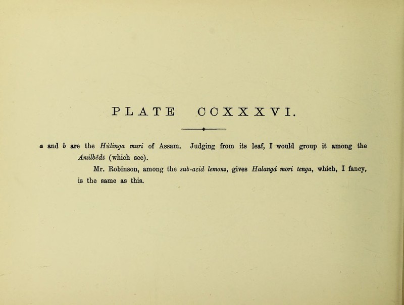 ■ a and h are the Hulinga muri of Assam. Judging from its leaf, I would group it among the Amilbeds (which see). Mr. Robinson, among the sub-acid lemons, gives Halangd mori tenga, which, I fancy, is the same as this.