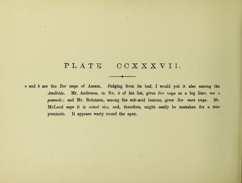 — «* and b are the Bor ten^a of Assam, Judging from its leaf, I would put it also among the Amilbeds. Mr. Anderson, in No. 4 of his list, gives Bor tenga as a big lime, not a pummelo; and Mr. Eobinson, among the sub-acid lemons, gives Bor mori tenga. Mr McLeod says it is actual she, and, therefore, might easily be mistaken for a true pummelo. It appears wai-ty round the apex.