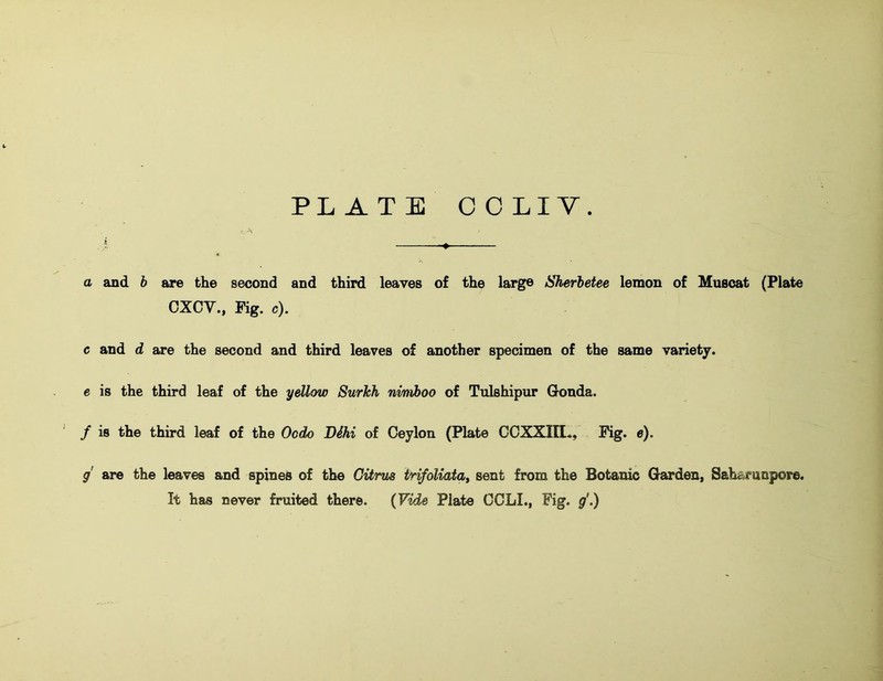 PLATE O C LI V. a and b are the second and third leaves of the large Sherbetee lemon of Muscat (Plate CXCV., Fig. c). c and d are the second and third leaves of another specimen of the same variety. e is the third leaf of the yellow Surkh ni/niboo of Tulshipur Gonda. f is the third leaf of the Oodo Ddhi of Ceylon (Plate CCXXIII., Fig. e). g' are the leaves and spines of the GUnis trifoliata, sent from the Botanic Garden, Saharanpore. It has never fruited there. (Vide Plate CCLL, Fig. g\)