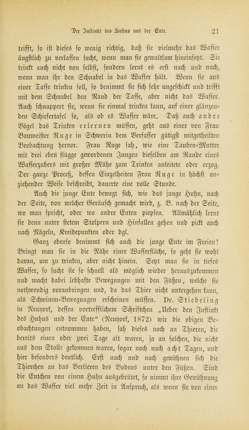 trifft, fo ift biefe? fo menig richtig, baß fic melmetyr ba? Ätffer ängftlid) 51t üertaffen fitest, trenn man fie gemaltfam ßiiteinfeßt. ©ie trinft and) nid)t non felbft, fonbern lernt e? erft itad) ititb itad), meint man il)r beit ©djnabel in ba? SBaffer l)ält. SBeitit fie au? einer ©affe trinfen fotl, fo benimmt fie ftd; fefyr ungefdjicft ititb trifft mit bent ©djitabel beit diaitb ber ©affe, aber nidjt ba? Söaffer. dlttd) fd)nappert fie, trenn fie einmal trinlen tarnt, auf einer glän§en= beit ©djiefertafel fo, al? ob e? ©Baffer märe. ©aß and) anbre 33bge£ ba? ©riitfeit erlernen muffen, gef)t au? einer ooit grau 33aumeifter dinge iit ©d)merin bent ©3erfaffer gütigft mitgettjeilten ©3eobadb)titng fyeroor. grau dinge fal), mie eine ©aubeu=d)lutter mit brei eben flügge gemorbetten gttngett biefelbett am dlanbe eiltet Söafferjttber? mit großer dJiitße jutit ©rinfeit anleitete ober er§og. ©er gait^e *ßroceß, beffeit Siitjelfjeiteit grau dinge iit fyödjft an- §iel)enber ©Beife befdjreibt, bauerte eine rolle ©tunbe. ©Cttcf) bie junge (Sitte bemegt ftd;, mie ba? junge f)itf)it, nad) ber ©eite, 001t melcßer Seräufd) gemalt mirb, 3. 33. itad) ber ©eite, mo man fpridjt, ober mo anbre (Sitten piepfett, OTmäfylid) lernt fie beim unter ftetem ©tolpern ititb §infallen gefeit ititb pieft and) nad) dlägelit, ^reibepitnftett ober bgl. ®ait§ ebenfo benimmt fid) and) bie junge Sitte int greteit! ©3ringt man fie iit bie dläße einer ©Bafferfläcf)e, fo gef)t fie mol)l barait, um 51t trinfen, aber itidjt ßiiteiit. ©eßt man fie in tiefe? ©Baffer, fo fud)t fie fo fdjnell al? ntöglid) mieber I)erau?§ufommett ititb mad)t babei lebhafte 33emegitngett mit beit güßett, meld)e fie notßmenbig roraitbringett ititb, ba ba? ©f)ier nidjt untergeben fann, al? ©d)mimm=33emeguitgeit erfcfyeinett muffen. Dr. ©tiebeling in dlettporf, beffeit rortreffliebem ©d>riftd)en „lieber beit gnftinft be? £ml)tt? ititb ber Sitte (dleuporf, 1872) mir bie obigen 33e= obad)tuttgeit entnommen fjaben, faß biefe? itod) an ©gieren, bie bereit? einen ober §mei ©age alt mareit, ja an fofd)eit, bie nid)t au? bent ©falle gefomnten mareit, fogar noef) itacf) a d) t ©ageit, ititb hier befonber? beutlid). Srft nad) ttnb nad) gemöljnen fid) bie ©Ijierdjeit au ba? Verlieren be? 33oben? unter beit güßen. ©ittb bie Sntd)en 001t einem §ul)it au?gebrittet, fo nimmt if)re Semöl)ituitg avt ba? ©Baffer riet ntel)r fjeit in dlnfprttd), al? meint fie 001t einer