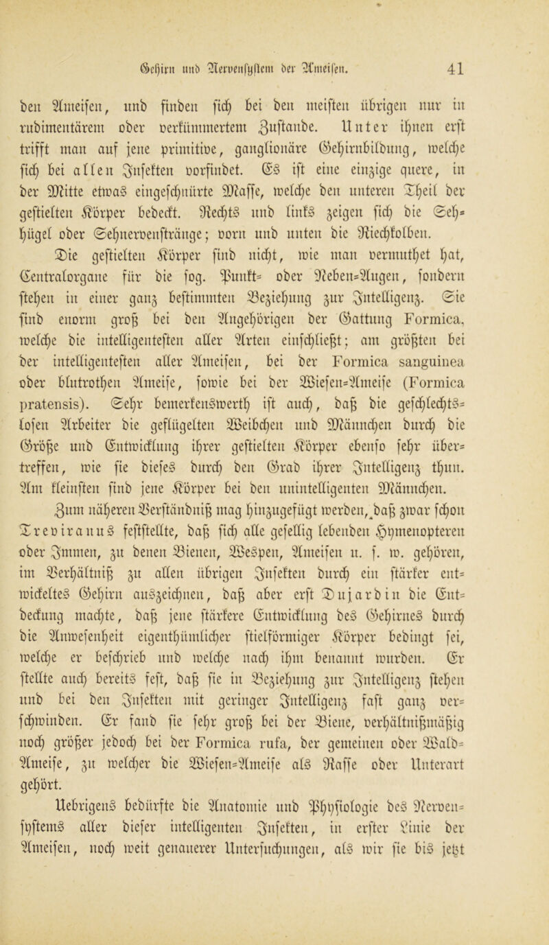 ben Anteifeu, unb ftnben fid) bet beit meifteit übrigen nur in rnbimentärem ober oertümmertem ^uftattbe. Unter tuen erft trifft man anf fette primitive, gangtionäre ($elfirnbitbnng, metd)e fid) bei atten ^nfeften oorfiitbet. (SS ift eine eittgige quere, in ber 9ftitte etmaS eingefd)nürte 9Aaffe, metd)e ben unteren Ifyeit ber geftietten Körper bebedt. 91ed)tS unb lintS geigen fid) bie 0et)s t)üget ober ©etyneroenftränge; oortt unb unten bie $tied)fotben. 3)ie geftietten Körper fittb nid)t, mie man oermüdet hat, (Sentralorgane für bie fog. <ipuuf’t= ober Sieben* Augen, fonbent ftet)en itt einer gang beftimmten 23egiel)ung gur ^ntedigeng. 0ie finb enorm grof; bei ben Angehörigen ber (Gattung Formica, meiche bie intedigenteften aller Arten einfd)tiej$t; am größten bei ber intedigenteften ader Ameifett, bei ber Formica sanguinea ober btutrothen Anteile, fotoie bei ber SBiefeit* Ameife (Formica pratensis). 0el)r bemerfeuSmerth ift auch, baff bie gefd)ted)tS= tojen Arbeiter bie geflügelten 2Beibd)eit unb dftcinndfen burd) bie (^röpe unb (Sntmidtmtg ihrer geftietten Körper ebettfo fet)r über- treffen, toie fie biefeS bnrch bett @rab ihrer $ntedigeng thuit. Am fteinften finb jene Körper bei ben unintedigenten 9ftämtd)en. 3um näheren $erftänbnif$ mag hingugefügt merben,baj$ gtoar fd)ott SreoirattuS feftftedte, bafj fid) ade gefedig tebeitben §pmenoptereit ober Sntmen, gu betten dienen, 2£eSpett, Anteifeu u. f. m. gehören, im $erhättnif$ gu aden übrigen ^nfelten burd) ein ftärfer ent= midetteS Gehirn auSgeid)nett, baß aber erft 3)ujarbiit bie (Snt= bedung mad)te, bafj jene ftärlere (Sntmidlung beS (Gehirnes bnrch bie Anmefenl)eit eigentümlicher ftietförmiger Körper bebiitgt fei, meld)e er befcftrieb itttb metd)e uadj it)in benannt mürben. (Sr ftedte attd) bereits feft, baff fie itt 23egiel)ung gur ^ntedigeitg ftel)eu unb bei beit Snfetteu mit geringer Sntedigeng faft gang oer= fd)minben. (Sr fattb fie fetjr grofj bei ber äöiette, oerhättnifpuäpig nod) größer jebod) bei ber Formica rufa, ber gemeinen ober Aoatb= Ameife, gu metdjer bie SBiefett-Ameife atS sJtaffe ober Unterart get)ört. UebrigettS bebürfte bie Anatomie itttb ^3hl)[^Dtde beS S^crücxt® fpftemS ader biefer intedigenten 3nfelten, in erfter £ittie ber Anteifeu, nod) meit genauerer Unterfuchungen, atS mir fie bis jept