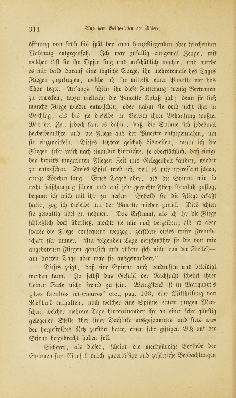 Öffnung oon früh bis fpät ber etma hiugufliegenben ober frtecfyenben Währung entgegenfaf). 3d) mar gitfcidig einigemal 3eu9er mit melier £ift fte if>r Dpfer fing unb unfchablich machte, nnb mürbe es? mir halb barauf eine tägliche ©orge, iljr me^reremale beS XageS fliegen gugutrageu, meldje ich if)r mittelft einer ^pincette oor baS X^or legte. Anfangs fc^ieit if)r biefe Fütterung menig Vertrauen 51t ermeden, mogu üieUeicf)t bie ^incette sdnlaß gab; beim fie ließ maucpe fliege mieber entmifcpen, ober nahm fie bocf) nid)t e^er in Befd)lag, als bis fie biefelbe im iöereid; if)rer Behaufung mußte. 9Jcit ber Seit iebod) !am eS bapiu, baß bie ©pinne fid) jebeSmal herbeibemül)te unb bie fliege aitS ber -pincette entgegennahm, um fie eiitgumidelu. XiefeS letztere gefchaf) biSmeilen, menu id) bie fliegen fepr rafd) nad) einanber hiureid)te, fo oberflächlich, baß einige ber bereite umgarnten fliegen Seit unb Gelegenheit fauben, mieber 51t entmifchen. XiefeS ©piel trieb icf), meil eS mir intereffant fd)ien, einige SBocpen laug. GineS XageS aber, als bie ©pinne mir fo recht heißhungrig fehlen unb auf jebe gereichte fliege förmlich gitflog, begann id) mich mit ihr §u nedeu. ©obalb fie bie fliege erfaßt hatte, 50g ich biefelbe mit ber ^pincette mieber gurüd. XieS fd)ien fie gemaltig übel ju nehmen. XaS Grftemal, als ich *hr bie fliege fd)(ießlid) hoch überließ, mochte fie mir noch öerjeihen; als ich aber fpäter bie fliege confequeut meggog, gerftorte biefeS unfre $reunb* fchaft für immer. 5Cnt folgenben Xage oerfdpnähte fie bie oon mir angebotenen fliegen gänzlich unb rührte fid) nicht oon ber ©tede~— am britten Xage aber mar fie auSgemanbert. XiefeS geigt, baß eine ©pinne auch oerbroffen unb beleibigt merben fann. Sa felbft baS Gefühl ber 3?ad)fud)t fd)etnt ihrer deinen ©eele nicht fremb gu fein. SÖenigftenS ift in 2ftarquart’S „Les facultes interieures“ etc., pag. 163, eine ÜRittheilung oon ^el'luS enthalten, nach welcher e*ue ©pinne einem jungen 9J?en= fd)en, melcher mehrere Xage hintereinanber ihr an einer fehr günftig gelegenen ©teile über einer £>ad)Iufe auSgefpannteS unb ftetS mie* ber hergefteÜteS 9ie£ gerftört hatte, einen fehr giftigen Biß auf ber ©tirne beigebrad)t haben foH. ©id)erer, als biefeS, fcheint bie merfmürbige Vorliebe ber ©pinnen für SQcufi! burd) guoerläffige unb zahlreiche Beobachtungen