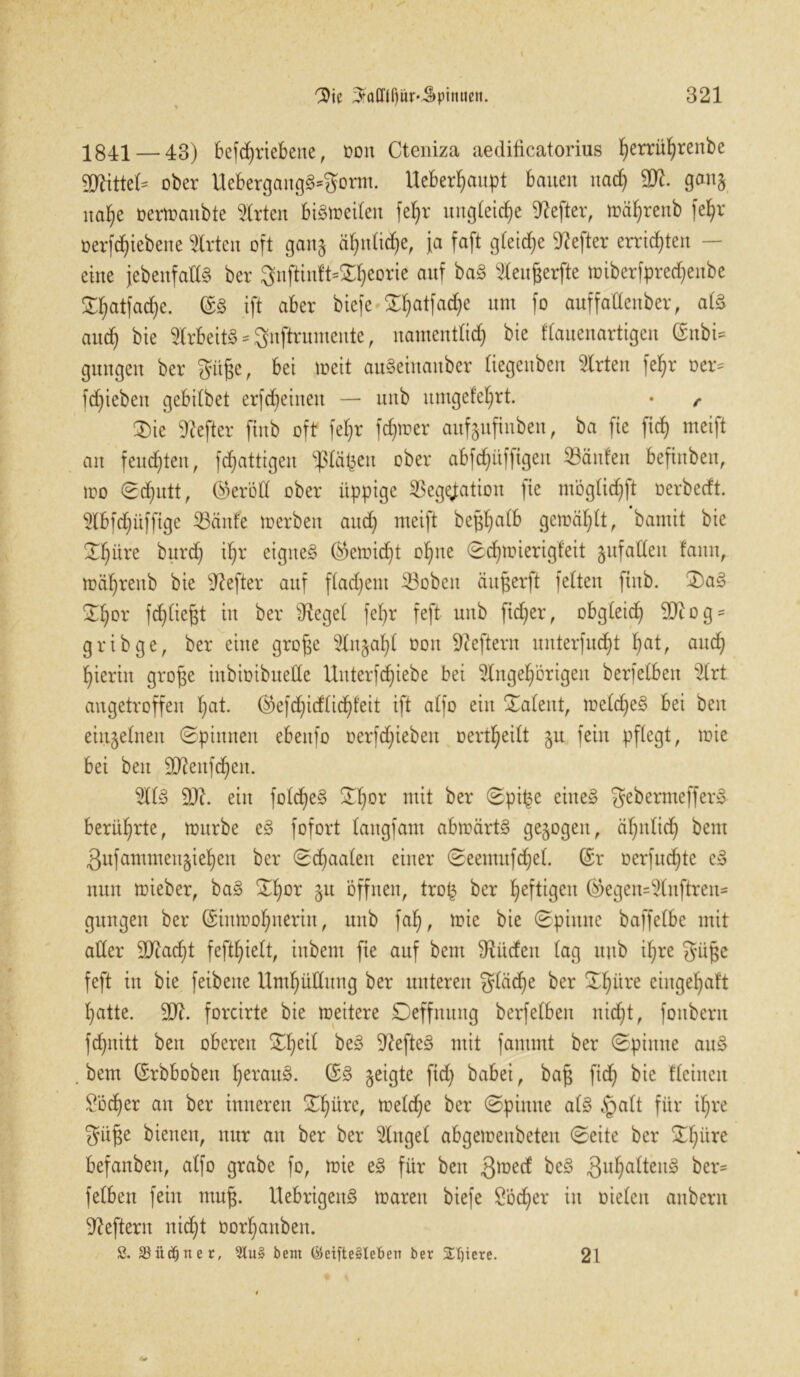 1841 — 43) betriebene, oon Cteniza aedificatorius ^errii^renbe SUtteU ober UebergangS*gorm. Ueberhaupt bauen uad) 9tt. gan§ ita^e oermaitbte Wirten biötreibeu fe§r ungleiche Hefter, mährenb fe^r oerfcf)iebene Wirten oft gang ähnliche, ja faft gteidje Hefter errieten — eine {ebenfalls ber 3nftinlt=Xl)eorie auf baS 2lenßerfte »iberfpredjenbe ©hatfache. ©S ift aber biefe ^atfad^e um fo auffattenber, atS and) bie SlrbeitS = gnftrumente, namentlich bie Kauenartigen ©nbi* gütigen ber Süße, bei meit auSeiitanber liegenben Wirten feljr oer* fdjieben gebilbet erfd^einen — unb itmgefel)rt. • f ©)ic Hefter finb oft fef)r fd)mer aufeuftnben, ba fie fid) meift an feudalen, fcfjattigen ^lä^en ober abfd)üffigen Säulen befittben, mo (Schutt, ©eröd ober üppige Segtfation fie möglichft oerbecft. 5lbfd)üffigc Saufe »erben and) meift begbjalb gemälzt, 'baniit bie ©I)üre bnrch il)r eignes (Vernicht ohne ©djmierigfeit gufadett fann, »ährenb bie Hefter auf ft ad) ent Sobett äußerft fetten finb. ©)aS S^hor fd)tießt in ber lieget fefjr feft unb fidjer, obgteid) dJtog* gribge, ber eine große ^In^al)! oott Heftern nnterfucht f)at, auch hierin große inbioibuette Unterfchiebe bei Angehörigen berfelben Art angetroffen hat. ©efd)idtidt)feit ift alfo ein latent, meldjeS bei beit einzelnen ©pinnen ebettfo oerfdfiebett oertheitt ju fein pflegt, toie bei bett Sftenfchen. AtS 9)i. ein fotcheS Zljox mit ber ©piße eitteS gebermefferS berührte, mürbe eS fofort tangfam abmärtS gezogen, ähnlich bem 3nfammen§iehen ber ©djaateit einer ©eemnfd)el. ©r ocrfitchte cS nun mieber, baS ©hDr 5U Öffnen, trofc ber heftigen ©>egen=Anftren= gnngen ber ©inmohnerin, unb fah, mie bie ©pinne baffetbe mit alter 3Jtacf)t fefthielt, inbent fie auf bem dürfen tag unb ihre güßc feft in bie feibeite Umhüllung ber unteren gtädfe ber Xfiüre eingehaft hatte. dft. forcirte bie meitere Deffnung berfelben nicht, foitbern fchititt beit oberen ©he^ beS 9?efteS mit fammt ber ©pinne attS .bem ©rbboben heraus. ©S geigte ftd) babei, baß ficf) bie Keinen £öd)er an ber inneren ©Im^e, metche ber ©pitttte als §alt für ihre Süße biettett, nur att ber ber Ginget abgemenbeten ©eite ber ©häre befanbett, alfo grabe fo, mie eS für beit .gmecf beS ^uhcittenS ber* felben feilt muß. UebrigettS mareit biefe £od)er in nieten anbertt Heftern nicht oorhattbett. S. SSüäjner, 5tu§ bem (&eifte3Iet>eii ber 2U)tere. 21