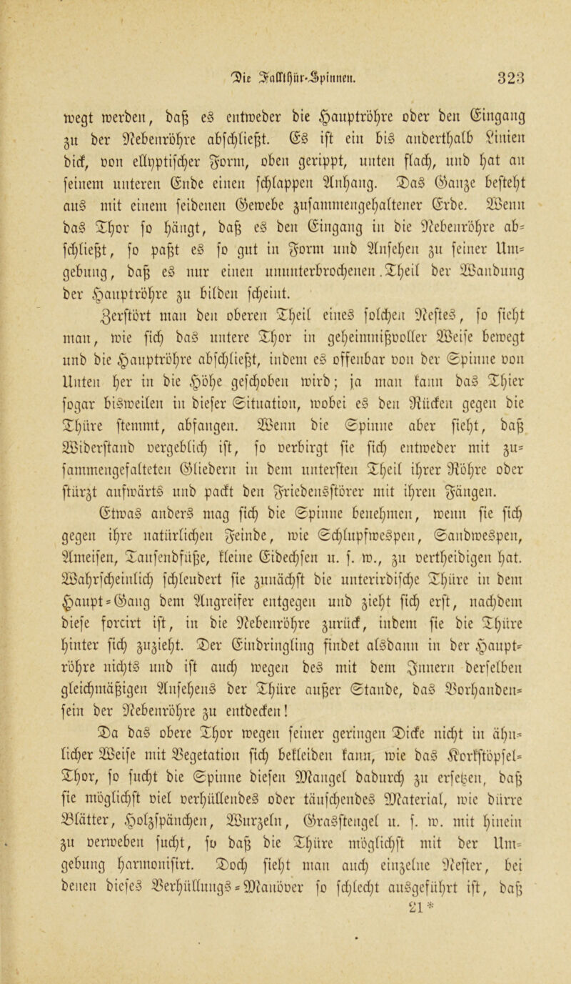 megt roerben, baß e£ entmeber bie ^pauptröhre ober ben (Eingang gu ber SRebenröIjre abfdjließt. ©3 ift ein bis anberthalb Linien bid, üon ellt)ptifd)er gornt, oben gerippt, unten flad), unb l)at an feinem unteren ©ttbe einen fdjlappcit M;ang. 3)a3 ©ait§e befielt auS mit einem feibenen ©ernebe gufammengehaltener ©rbe. 2Benn baS £Ijor fo fyängt, baß eS ben ©ingang in bie ^ebenrö^re ab- fdjließt, fo paßt eS fo gut in gornt unb Slnfe^en ju feiner Unt= gebuttg, baß eS nur einen ununterbrochenen ,^t;eit ber SBanbung ber §aitptröl)re 51t bitben fd;eint. gerftört man ben oberen ST^eit eines folgen 9?efteS, fo fielet man, mie fid) baS untere £f)or in gef)eimnißooller SBeife bemegt unb bie £)auptröljre abfdjticfd, inbcm eS offenbar 001t ber Spinne üon Unten her in §öf)e geflohen mirb; ja man tarnt baS S^ier fogar biSmeilen in biefer Situation, mobci eS ben SRiiden gegen bie S^üre ftemntt, abfattgen. 3Benn bie Spinne aber fielet, baß SBiberftanb oergeblid) ift, fo oerbirgt fte fid) entmeber mit gu= fammengefalteten ©liebem in bem unterfteu S^eil il)rer fRö^re ober ftürgt aufmärtS unb padt ben griebenSftörer mit ihren gangen. ©tmaS anberS mag fid) bie Spinne benehmen, meint fie fid) gegen ihre natürlichen geinbe, mie Sd)lupfme3pen, SaubmeSpett, s2lmeifen, Xattfenbfüße, Heine ©ibed)fen u. f. m., 51t oertl)eibigen hat. SBahrfcheiitlid) fchleubert fie gunäd)ft bie unterirbifd)e Sl)ürc in bem £>aupt = ©aug bem Angreifer entgegen unb jiel)t fich erft, nad)bem biefe forcirt ift, in bie SRebeitröhre gurucf, inbem fie bie Slmre hinter fid) gugieht. 3)er ©iitbringling finbet alSbamt in ber §aupt- röhre nid)t3 unb ift and; megen beS mit bem gmtern berfelbeit gleichmäßigen $lnfehenS ber Sl)iire außer Staube, baS Vorl)aubeu* fein ber 9?ebeitröf)re gu entbeden! 2)a baS obere £f)Dr megen feiner geringen £)ide nicht in ä^n* lid)er 2Beife mit Vegetation fich befleibeu !ann, mie baS ^orfftöpfel* Shor, fo fucht bie Spinne btefen Mangel baburd) 51t erfeßeit, baß fie möglidjft oiel oerhülleubeS ober täufdjenbeS Material, mie bltrre Vlätter, §olgfpänd)en, SBttrgeln, ©raSfteugel tt. f. m. mit hinein 51t oermebeit fucht, fo baß bie Sl)üre m'öglichft mit ber Um= gebung ^armonifirt. £)odj fiel)t mau auch cinjelne Hefter, bei beiten biefeS VerhülIungS*SRattöüer fo fd;led;t au3gefitl)rt ift, baß