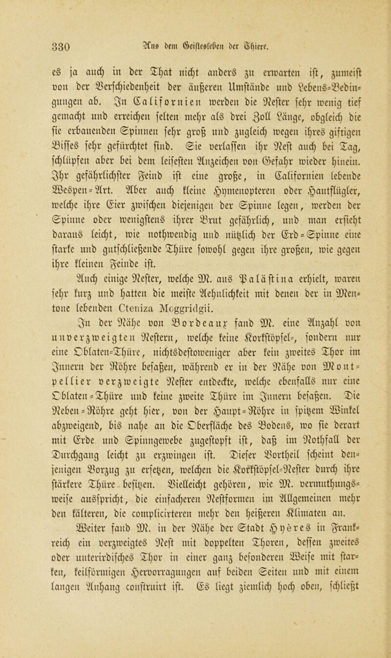 e§ ja and) in ber Stjat nicht anber§ §u erwarten ift, §umeift non ber 23erfd)iebenheit ber äußeren Umftänbe unb ?eben§*23ebin* gmtgen ab. gn Gfafifornien werben bie Hefter fetyr wenig tief gemacht unb erreichen fetten mehr at§ brei 3°^ Sänge, obgteid) bie fie erbauenben (Spinnen feljr grog unb jugteich wegen itjreg giftigen 23iffe§ feljr gefürstet finb. Sie oertaffen if)r 9?eft and) bei Sag, fd)(üpfen aber bei bem teifeften Anzeichen oon (Gefahr wieber hinein. 3hr gefa^rtidifter geiub ift eine grof^e, in Satifornien tebenbe 2Be§pen= Art. Aber and) ffeine ^pmeitopteren ober «gautftügter, wetdje ihre ©ier §wifd)en biejenigen ber Spinne fegen, werben ber Spinne ober wenigften§ ihrer £>rut gefährlich, unb man erfie^t barau3 teidjt, wie not^wenbig unb nit^tid) ber (£rb = Spinne eine ftarfe unb gutfcfytiefjenbe Satire fowof)t gegen ihre großen, wie gegen ihre tteinen geinbe ift. And) einige Hefter, wetdje ait§ ^afäftina erlieft, waren fefjr fur§ unb Ratten bie meiftc Aefmtichfeit mit benen ber in 9ften= tone tebenbeu Cteniza Moggridgii. gtt beruhe oon Borbeaup fanb 20?. eine Anjaht oon unoerjweigten Heftern, wetcfie feine $orfftöpfet=, fonbern nur eine Dbtaten=Sf)üve, nidjtgbeftomeniger aber fein ^weites Sf)or im Sun ent ber Ot'öfire befaßen, wä^reitb er in ber Ofcilje oon äftoitt- pettier oergweigte Hefter entbecfte, wetd)e ebenfalls nur eine Cbtaten = Sf)üre unb feine zweite Sfyiire int Innern befaßen. Sie 9?eben = Ofo^re gef;t ^ier, oon ber §aupt = ^'6f)re in fpi^ent Söinfet ab^weigenb, bi§ nahe an bie Dberftädje be§ 33obeit§, wo fie berart mit (Erbe unb Spinngewebe gugeftopft ift, ba§ int 9?ottjfall ber Surchgang feid)t 51t erzwingen ift. Siefer $ortf)eit fc^eiut ben= fettigen 53or§ug §u erjefjen, wetten bie $orfft'öpfet=9?efter burd) i^re ftärfere Shüre befreit. Vielleicht gef/ören, wie 9X oermut^ung§= weife auSfpricht, bie einfacheren 9?eftformen im Allgemeinen mehr beit fäfteren, bie compficirteren mef)r beit heilen ^Untaten an. SBeiter fanb 9Ji. in ber 9Aif)e ber Stabt §pere§ in granf* reid) ein oer^weigteS 9?eft mit boppetten Shoren, beffen gweite» ober unterirbifcheg Shor in einer ganj befonberen Vkife mit ftar- fen, feitförntigen §eroorragungen auf beiben Seiten unb mit einem taugen Anhang conftruirt ift. (E§ tiegt jienttid) hocfy oben, fdftißjjt