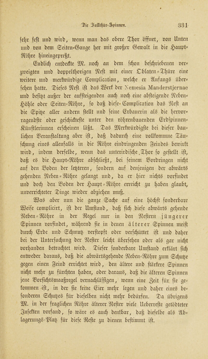 fe^r feft unb mirb, trenn man baS obere Xf)or öffnet, oott Unten unb oott bent (Seitenlange I)er mit großer (bemalt in bie .gmupt* $öf)re f)ineingepreftt. Sttblid) entbecfte nod) an bent fdjoit befdjriebeiten oer- ^neigten unb boppebt^origen 9?cft mit einer Cblaten - Satire eine weitere unb nterfmürbige (Somplicatioit, meld)e er Anfangs über- fefyeu Ijatte. £)iefeS 9?eft ift baS 2Berf ber Xentesia Manderstjernae nttb befif?t außer ber auffteigenben aud) nod) eine abfteigenbe ^ebeit- §öf)le ober Seitenköpfe, fo ba§ biefe- (TompCication baS ^eft an bie Spijje aller aubertt ftellt unb feine (Erbauerin als bie tjeroor* ragenbfte ober gefc£)icftefte unter beit röpreitbauenbcit ©rbfpintten- $ünftlerinnen erfcpeiiteit läßt. 2>aS äfterfmürbigfte bei biefer bau= ticken Veranftaltung aber ift, bap baburdj eine ooüfommne £äu= fd)uitg eine§ allenfalls in bie Stepre eiitbringeuben geiitbeS bemirft mirb, inbent bcrfelbe, meint baS mtterirbifcpe .Spor fo geftellt ift, ba§ eS bie §aitptköpre abfc^üeßt, bei feinem Vorbringen nicf)t auf beit Vobeit ber (enteren, foitbent auf beseitigen ber abmärtS gef>enbeit Nebelt - 9^öl;re gelangt unb, ba er f)ier nidjtS oorfinbet unb bod) ben Vobeit ber .^auptköpre erreicht §u f)abeit glaubt, uuoerrid)teter Singe mieber abjiepen ntufj. 2BaS aber nun bie gait^e Sacpe auf eine pöcpft foitberbare VBeife complicirt, ift ber Untftanb, bag fiep biefe abmärtS gepeitbe 9?ebenköpre in ber $fegel nur iit ben Heftern jüngerer Spinnen oorfinbet, mäpreitb fte in beiten älterer Spinnen nteift bttrcf) Srbe unb Sd)mu£ oerftopft ober oerfcpüttet ift unb baper bei ber Unterfucpung ber Hefter leidet überfeinen ober als gar nidjt oorpattbeit betrachtet mirb. tiefer foitberbare Untftanb erflärt fiep entmeber barauS, baft bie abmärtSgepenbe 9?ebeitköpre junt Sd)upe gegen einen geiitb errietet mirb, ben ältere unb ftärfere Spinnen nicf)t mepr $u fürchten haben, ober barauS, bap bie älteren Spinnen jene Vorfid)tSmaa^regel oernad)läffigen, mentt eine ,geit für fte ge* fontmen ift, in ber fie feine (£ier mepr legen unb baper eines be* fortberett Sd)tt^eS für biefelbeit nicht mepr bebiirfeu. Sa übrigens 9}?. in ber fraglidjeu Ütöpre älterer Hefter Diele Ueberrefte getöbteter Snfefteit oorfanb, fo märe eS aud) beutbar, ba§ biefelbe als äb= lageruitgS^la^ für biefe sDtefte ^u bienen beftimmt ift.
