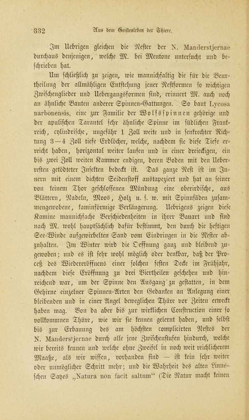 * 3m Uebrigett gleichen bie Hefter ber N. Manderstjernae bitrchaitS benjenigen, treidle bei Stteutone unterlaßt unb be= fdjrieben ^at. Um fcf)tie^tid) gu geigen, mie mannigfaltig bie für bie 53enr= theilmtg ber admä^tigen Entftehung jener 9?eftformen fo mistigen 3mifcheitglieber nnb UebergangSformeit finb, erinnert aud) nod) an ähnliche kanten anberer ©pimten=Eattungen. ©o baut Lycosa narbonensis, eine gur gamtlie ber SBolfSfpinnen gehörige nnb ber apnlifcf)cn ©arantel fel^r äf;ntid)e ©pinne im fübtidjen granf= reicf), cplinbrifdje, ungefähr 1 3°H »eite unb in fenfrecfder ^Ricf)= tnng 3—4 3°H tiefe Erblöd)er, welche, nadjbem fie biefe ©iefe er- reicht f>aben, ^origontat meiter laufen unb in einer breiecfigen, ein bis gwei 3°H »eiten Kammer enbigen, beren $3oben mit ben Ueber= reften getbbteter 3nfeften bebedt ijt. ©aS gange Sfteft ift im 3^ nern mit einem bitten ©eibenftoff auStapegiert nnb ^at an feiner non feinem ©f)or gefdjloffenen Sftüttbung eine oberirbifcf)e, auS ^Blättern, fabeln, SCftooS, §olg n. f. m. mit ©pinnfäben gufam= mengemobene, famtnförmige SBerlängerung. UebrtgenS geigen biefe Kamine maituid)fad)e 35erfd^ieben^eiten in ihrer Bauart nnb ftnb nach ffl. wohl ^auptfäc^Iid) bafür bestimmt, ben burd) bie heftigen ©ee=2öiube aufgewirbelten ©anb Dom Einbringen in bie Hefter ab= guf)afteu. 3m Söinter mirb bie Deffnung gang unb bleibenb gu= gewoben; unb eS ift feljr mofyf möglich ober benfbar, bajs ber $ro= cef; beS SBiebererÖffnenS einer folgen feften ©ede im grüljjafyr, nac^bem biefe Eröffnung gn brei SBiertfyeifen gefächen unb f)iu= reidjenb mar, um ber ©pinne ben SluSgang’gu geftatten, in bem Eehirne eingefner ©pinnen-Slrten ben Eebanfen an Anlegung einer bfeibeitben unb in einer Singet beweglichen ©hiire oor 3e^en erwedt haben mag. SSoit ba aber bis gur wirtlichen Eonftruction einer fo oollfomntnen ©hiirer »ie wir fie fennen gelernt hüben, nnb felbft bis gnr Erbauung beS am haften complicirten üftefteS ber N. Manderstjernae burch alte jene 3wifchenftufen hinburd), welche wir bereits fennen unb welche ohne 3»eifet in noch »eit reichlicherem SSJtaage, als wir miffen, oorhanbeit fiitb — ift fein fef;r weiter ober unmöglicher ©chritt mehr; unb bie 2öaf)rheit beS alten £inne= fchett ©a£eS ,?Natura non facit saltum“ (3)ie Statur macht feinen
