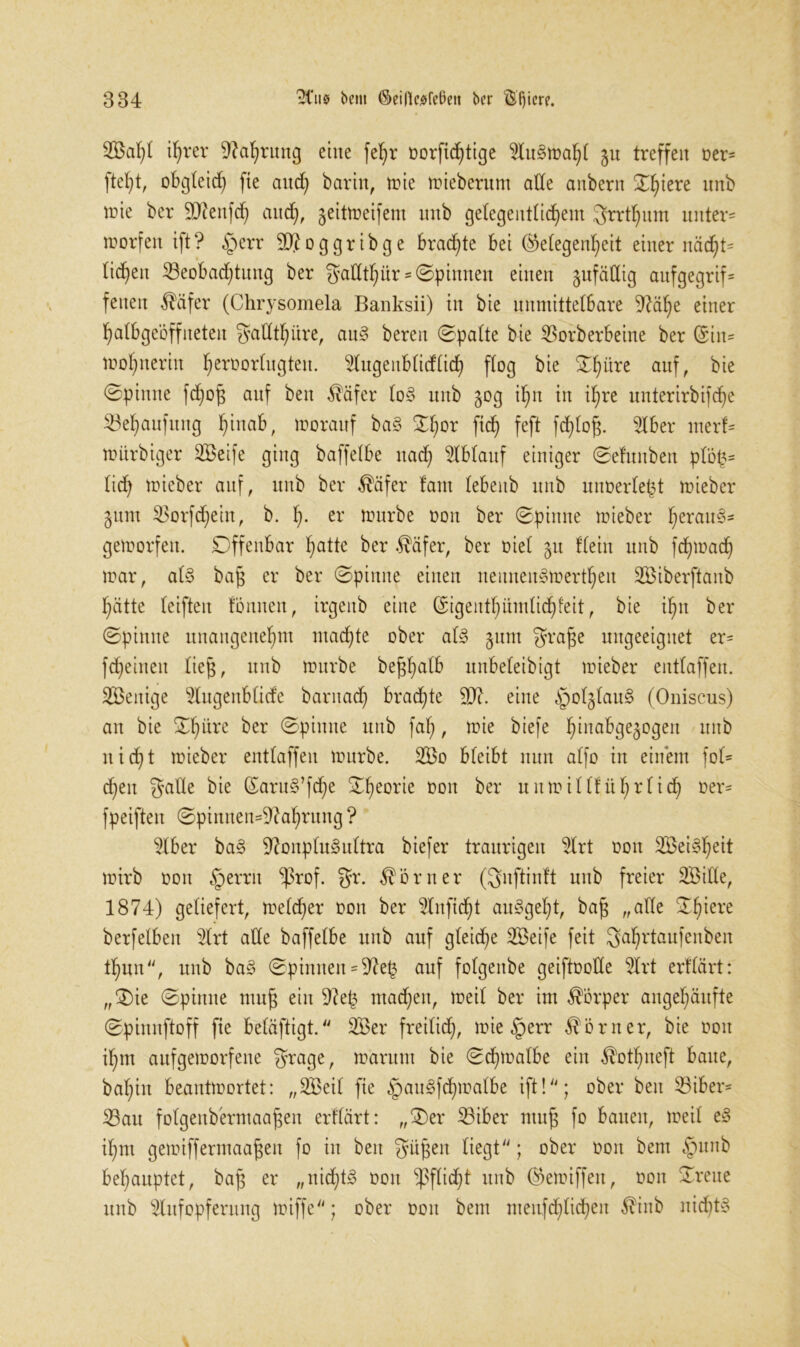 if)rer Nahrung eine fefyr oorfichtige Auämaht 511 treffen oer= ftet)t, obgleich fte and) barin, mie mieberum alle anbern ST^iere nnb mie ber üDJenfd) and), jeitmeifent nnb gelegentlichem grrthum unter* morfen ift? §err $0? 0 g g r i b g e brachte bei ©etegen^eit einer nädjt* liehen ^Beobachtung ber gadthür * ©pinnen einen gufädig aufgegrif* fetten $äfer (Chrysoinela Banksii) in bie unmittelbare 9?ähe einer halbgeöffneten gattthiire, au§ bereu ©patte bie SBorberbeine ber @in* mohnerin herüorfagten. Augenbtidtid) ftog bie ©hitre auf, bie ©pinne fdfyog anf ben $äfer to§ nnb 50g ihn in ihre nnterirbifche ^Behanfung h™ab, morauf ba§ ©hör W feft fd)tog. Aber merf* mitrbiger SBeife ging baffetbe nach Ablauf einiger ©elunben ptö£= lieh rnieber anf, nnb ber $äfer lant tebeitb nnb unoertefjt rnieber jnnt $orfd)ein, b. h- e* mürbe 001t ber ©pinne rnieber h^au§* gemorfen. Offenbar hfltte ber Reifer, ber riet 51t ttein nnb fdpoad) mar, at§ bag er ber ©pinne einen neitnenSmerthen SBiberftanb hätte teifteu fönneu, irgenb eine (Sigenthümlidjfeit, bie ihn ber ©pinne unangenehm machte ober al3 junt grage ungeeignet er= fd)einen lieg, nnb mitrbe begtjatb nnbeteibigt rnieber enttaffen. SBenige Angenbtide barnad) braute 9J?. eine §oI$tau§ (Oniscus) an bie ©hitre ber ©pinne nnb faf;, mie biefe hina^9e3°9eu wnb nicht rnieber enttaffen mürbe. 2Bo bteibt nun atfo in einem fot* cf)eit gatte bie ©aru§’fche ©heorie üon ^er unmillf ührtich oer* fpeiften ©pinnen^ahrung ? Aber ba§ 9?onptu§nttra biefer traurigen Art 001t 2Öei§heit mirb 001t §errn *ßrof. gr. Körner (gnftinft nnb freier 3Bitte, 1874) geliefert, metcher oon ber Anfid)t au3gel)t, bag „alle Öftere berfetben Art alte baffetbe unb anf gleiche SBeife feit gahrtaufenben thun, unb ba§ ©pinnen = 9?ei$ auf fotgenbe geiftootte Art erftärt: „Oie ©pinne mug ein Sftefc machen, meit ber im Körper angehäufte ©pinuftoff fte betäftigt. 2Öer freilich, mieten* Körner, bie oon ihm aufgemorfene grage, marunt bie ©djmalbe ein ^othneft baue, baf)in beantmortet: „Aoeil fie §au§fd^matbe ift!; ober ben 33iber* 23au fotgenbermaagen erftärt: „Oer 23iber mug fo bauen, meit e3 ihm gemiffermaagen fo in beit gügen liegt; ober oon bent §unb behauptet, bag er „nichts oon Pflicht unb ®emiffeu, oon ©reue unb Aufopferung miffe; ober 001t bent menfdgichen $inb nichts