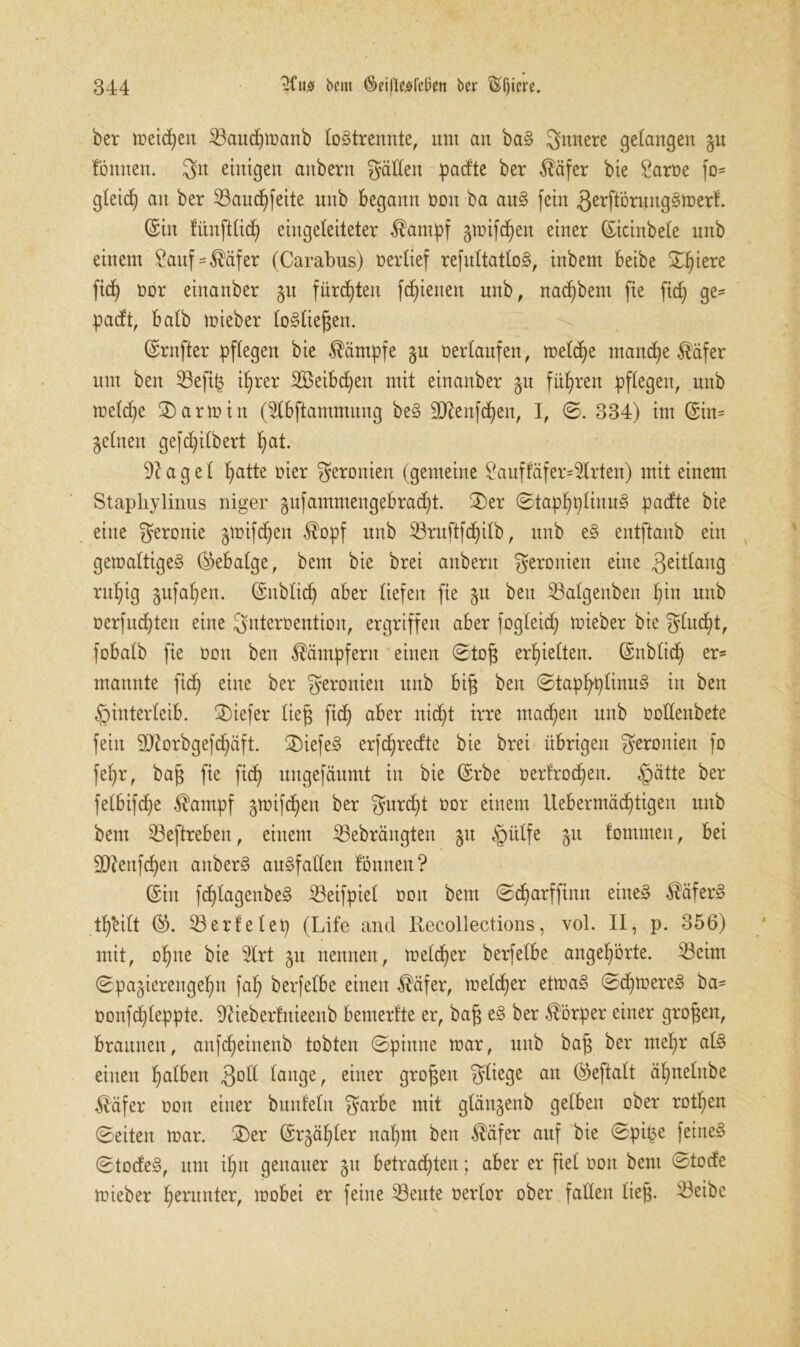 ber ir>etcf)ett Saudjmanb lo§trennte, um an ba§ gnnere gelangen gu lonnen. git einigen anbern gatten padte ber $äfer bie Partie fo* gleid) an ber Saud)feite unb begann ooit ba ait§ fein gerftönjnggmerl. ©in fünftlid) eingeleiteter $ampf gmifchen einer ©icinbele unb einem £auf=®äfer (Carabus) »erlief refultatlo§, inbem beibe Spiere ftct) »or einanber gu fürsten fc^ienen nnb, nad)bem fie fid) ge* padt, halb mieber lo§liegen. ©rnfter pflegen bie Kämpfe gu »erlaufen, meld)e manche $üfer um ben Sefi£ ihrer 2Öeibd)en mit einanber gu führen pflegen, nnb toelcEje ©arm in ($lbftammung be§ 9Dtafd)en, I, ©. 334) im ©in* gellten gefdplbert l;at. di a g e 1 hatte »ier geronien (gemeine Saufläfer^rten) mit einem Staphylinus niger gufammengebrad)t. ©er ©taphplinuS padte bie eine geronie gmifd)en $opf unb Sruftfd)ilb, unb e§ entftanb ein ger»altige§ ©ebalge, bem bie brei aitbent geronien eine 3eitlang ruf)ig gufafjen. ©üblich aber liefen fie gu ben Salgenben f)in unb »erfud)ten eine gnteroention, ergriffen aber fogleid) mieber bie glud)t, fobalb fie »on ben Kämpfern einen ©tog erhielten, ©nblid) er* mannte fid) eine ber geronien unb big ben ©taphplinuS in ben Hinterleib. ©iefer lieg fid) aber nid)t irre machen unb »ottenbete fein 9ftorbgefd)äft. ©iefe§ erfdjredte bie brei übrigen geronien fo fel)r, bag fie fid) ungefäumt in bie ©rbe »erfroren. H^tte ^er felbifdje $ampf gmifchen ber gurd)t »or einem Uebermädftigen nnb bem Seftreben, einem Sebrängten gu Hülfe gu lommett, bei 2DZenfd)en anber§ auSfatten lonnen? ©in fd)lagenbe§ Seifpiel »on bem ©d)arffütn eine§ $äfer§ tt)*eilt ©. Serie lep (Life and Recollections, vol. II, p. 356) mit, ol)ne bie 2lrt gu nennen, meiner berfelbe angef)örte. Seim ©pagierengefjn fal) berfelbe einen Ääfer, melier etma£ ©d)mere<3 ba* »onfd)leppte. Sfteberfnieenb bemerlte er, bag e§ ber Körper einer grogen, braunen, anfd)einenb tobten ©pinne mar, unb bag ber mel)r al§ einen falben 3ott lange, einer grogen gliege an ©eftalt ä^nelnbe $äfer »on einer bunfeln garbe mit glängenb gelben ober rotten ©eiten mar. ©er ©rgäljler nahm ben $äfer auf bie ©pipe feinet ©tode§, um il)tt genauer gu betrachten; aber er fiel »on bem ©tode mieber herunter, mobei er feine Seute »erlor ober fallen lieg. Seibe
