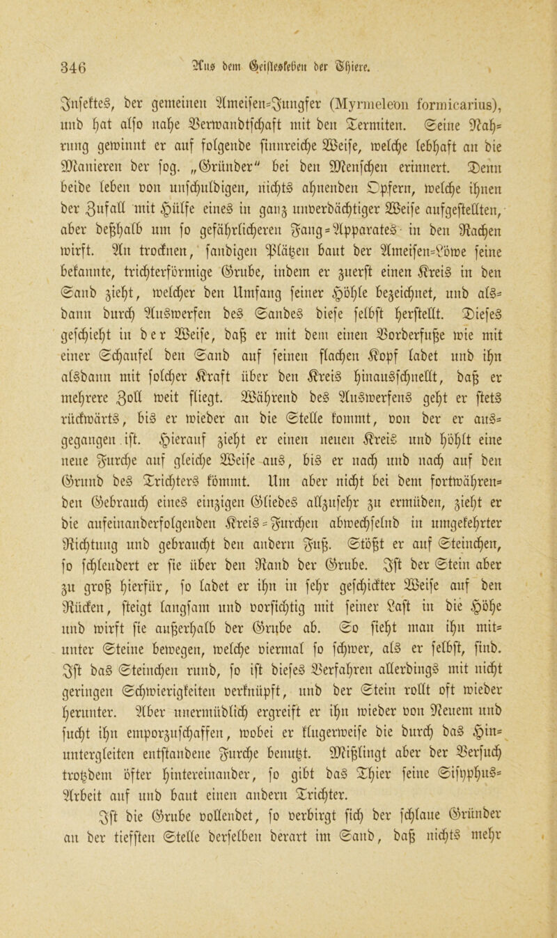 SnfefteS, ber gemeinen 3lmeifen*3ungfer (Myrmeleon formicarius), unb ^at alfo nahe $ermanbtfchaft mit bett Termiten. (Seine 9?ah= ntng geminnt er anf folgenbe finnreiche Seife, meldje lebhaft an bie Mattieren ber fog. „®rünber bei beit Sttenfchen erinnert. 2)enn beibe (eben oon unfchulbigen, nid^S afmenben Dpfern, ioeld)e ihnen ber gufall mit §ülfe eines in ganz unoerbächtiger Seife aufgeftellten, aber be^atb um fo gefäb;rticf)eren $ang = Apparates in ben Aachen mirft. $ln trodnen, fanbigeit -planen baut ber 2lmeifen=?öme feine befannte, trichterförmige ®rube, inbem er guerft einen $reiS in ben Sanb §ie^t r meldfer ben Umfang feiner -pö^te bezeichnet, unb als* bann burcf) ‘üluStoerfen beS SanbeS biefe felbft ^erfteCCt. £>iefeS gefd)ieht in ber Seife, bafj er mit beut einen ^Sorberfu^e loie mit einer Schaufel ben Sanb anf feinen flachen $opf labet unb ihn alSbaitn mit foldjer $raft über ben $reiS h^au^fchi^llt, bafj er mehrere 3°ll towt fliegt. Sährenb beS 2luStoerfenS geht er ftetS rüdmärtS, bis er loieber an bie Stelle fomrnt, ooit ber er auS* gegangen ift. §ierauf zieht er einen neuen $reiS unb höf)lt eine neue $urd)e auf gleiche Seife auS, bis er nad) unb nach auf beit ®ruitb beS SridderS fömmt. Um aber nicht bei bent fortmähren* ben (Gebrauch eines einzigen ($liebeS adzttfehr $u ermübeit, zieht er bie aufeinanberfolgenben $reiS = gurren abtoechfelitb in nmgefehrter Dichtung unb gebraucht ben attbern guj$. Stöfjt er auf Steinten, fo fdjleubert er fie über ben dtanb ber ®rube. 3ft ber Stein aber Zit grof$ h^für, f° labet er ihn in fehr gefchidter Seife auf ben bilden, fteigt langfam unb oorfidjtig mit feiner Saft in bie §öhe unb loirft fie außerhalb ber ($rube ab. So fleht mau ihn mit* unter Steine bemegen, loelche oiermal fo fdpoer, als er felbft, ftnb. 3ft baS Steincheit ruitb, fo ift biefeS Verfahren aüerbingS mit nicht geringen Schtoierigfeiten oerfnüpft, unb ber Stein rollt oft loieber herunter. 2lber unermüblich ergreift er ihn loieber oon feuern unb fudjt ihn emporzufchaffen, loobei er flugerioeife bie burd) baS §in* nntergleiten entftanbene furche benu^t. SDUglingt aber ber SBerfud) trotjbem öfter hddereiuanber, fo gibt baS Shier feine Sifpphu3s Arbeit auf unb baut einen anbern Trichter. 3ft bie ®rube üoflenbet, fo oerbirgt fid) ber fdjlaue ®rünber au ber tiefften Stelle berfelben berart im Sanb, bag nichts mehr