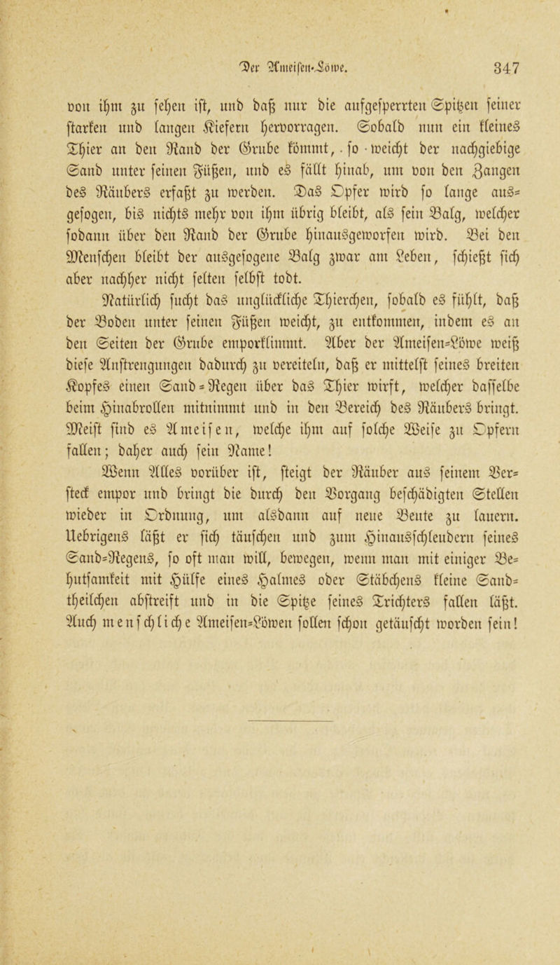 ooit ihm gu fel)ett ift, unb bag nur bie aufgefperrteit ©pit3eit feiner ftarfeit unb langen liefern ^crnorragen. ©obalb nun ein Keiltet ^ter an beit 9tab ber ®rube fommt,. fo • tt>eid)t ber nachgiebige ©anb unter feinen gügett, unb e<$ fällt hinab, um üoit beit fangen be§ ^äuber§ erfaßt §u irerben. Daß £)pfer mirb fo lange ausB- gefogen, bi§ nichts mehr ooit if;nt übrig bleibt, abB fein 33alg, melier fobantt über beit ^anb ber ©rube hinauiBgemorfeu mirb. 23ei beit Qtteitfcheit bleibt ber ausBgefogeite 23alg §mar am £ebeit, fchießt ftd) aber nachher nicht feiten felbft tobt. Natürlich fncht basB nitglitcfli^e Xf)ierchen, fobalb iß fühlt, bag ber Hoheit unter feinen gügeit meidet, §u entfontmeit, iitbent iß an beit ©eiten ber ®rnbe emporflimmt. 5lber ber ^tnteifen=£öme meig biefe 5lnftrengitngeit baburch git oereitelit, bag er ntittelft feines breiten $opfe;B einen ©anb Regelt über ba§ £l)ier mirft, melier baffelbe beim ^iitabrolleit ntitnintmt unb in beit Bereich be3 9?äuber§ bringt. 90?eift fiitb iß s2lnteif e n, tr»eldC;e ihm auf folche 2Öeife 51t ©pferit fallen; baher aud) fein Hantel SBettit Wiß ooritber ift, fteigt ber Räuber au;B feinem 2kr* fted entpor unb bringt bie burcf> beit Vorgang befchäbigteit ©teilen mieber in ©rbitmtg, um abBbattn auf neue 23eute 51t lauern, ilebrigem? lägt er fidf täufcheit unb §um ^iuamBfchleuberit feiltet ©attb=^egen§, fo oft mau mitl, bemegett, trenn tttait mit einiger $3e= hutfamleit mit §ülfe eiltet §alttte§ ober ©täbchemB fleiite ©anb= theilcheit abftreift unb in bie ©pi£e feiltet ©rid)ter§ fallen lägt. 2luch nt enf gliche 5lmeifen^bmeit folleit fchon getäufcht morbeu fein! »