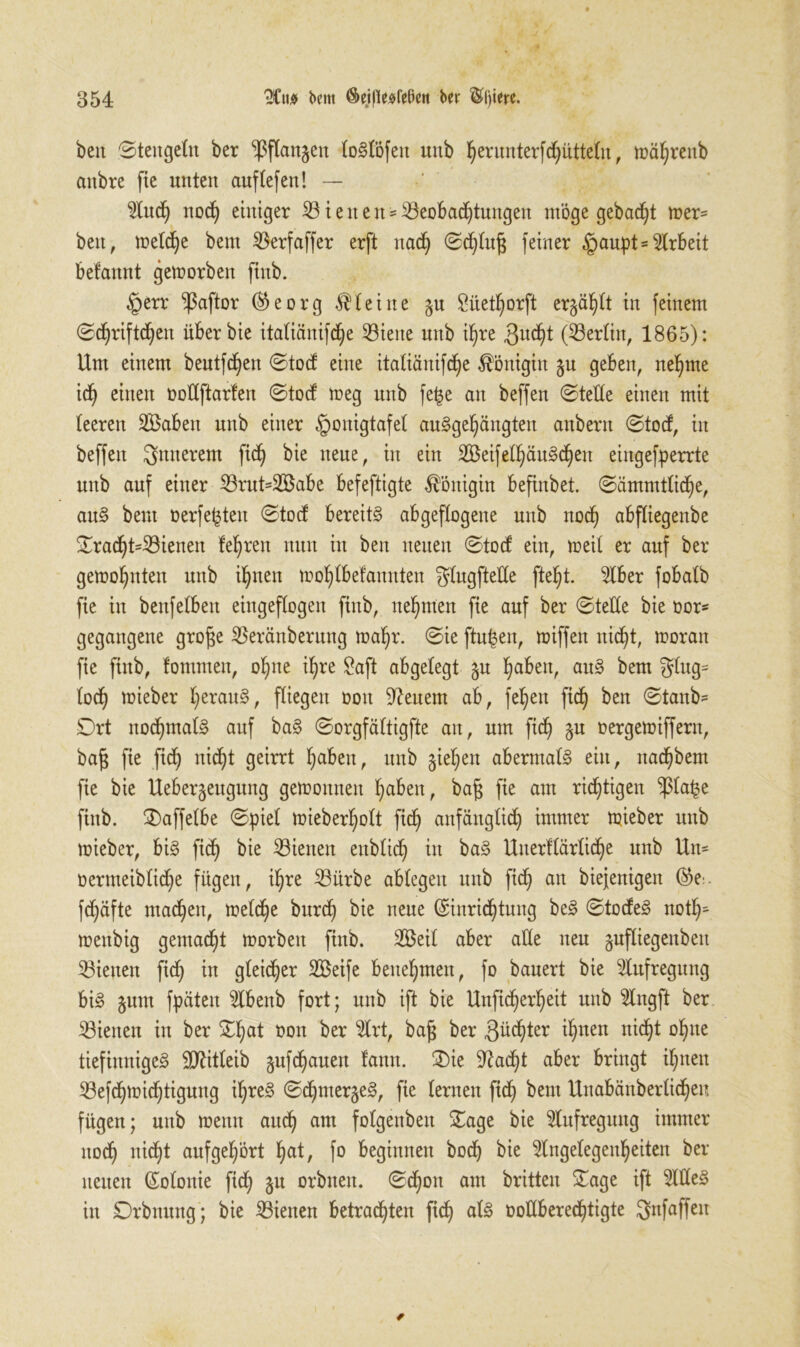 beit ©tengeltt ber ^flanjen losdöfeit unb ^erunterfd^uttetn, mährenb aitbre fie unten auflefen! — $luch nod) einiger B i e n e n * Beobachtungen möge gebaut mer= beit, meldje bem Berfaffer erft nach <Scf)tn§ feiner §aupt = Arbeit belannt gemorben finb. §err ^ßaftor Eeorg Steine §u Siiet^orft ergä^tt in feinem ©djriftchen überbie italiänifd^e Biene nub ihre 3uc^t (Berlin, 1865): Um einem beutfc^en ©tod eine italiänifcf)e Königin jn geben, nehme id) einen ootlftarlen ©tod meg nnb fe$e an beffen ©teile einen mit leeren SBaben unb einer §onigtafel auggehängten anbern ©tod, in beffen innerem fid) bie neue, in ein 33t3eifel^äuSd^ett eingefperrte unb auf einer Brnt=2öabe befeftigte Königin beftnbet. ©ämmtliche, aus? bem oerfe^teu ©tod bereite abgeflogene unb noch abfliegenbe Fracht-Bienen lehren nun in ben neuen ©tod ein, meil er auf ber gemohnten nnb ihnen mohlbefannten glugftelle fte^t. Slber fobalb fie in benfeiben eingeflogen fiitb, nehmen fie auf ber ©teile bie oor- gegangene groge Beränberung mahr. ©ie finden, miffen nicht, moratt fie fiitb, lommen, ohne ihre Saft abgelegt $u haben, aus? bem glng= loch mieber h^anS, fliegen oott Renern ab, feiert fich ben ©tanb- SDrt nochmals auf baS ©orgfältigfte an, um ftd^ §n oergetoiffent, baf$ fie fid) nicf)t geirrt haben, unb Reffen abermals? ein, ttachbem fie bie Uebergeugung gewonnen haben, baf$ fie am richtigen $la^e finb. Faffelbe ©piel mieberholt fid) anfänglich immer toieber nnb mieber, bis? fich dienen ettblich in ba§ Uiterflarliche nnb Utt= üermeibltche fügen, ihre Bürbe ablegett nnb fich an biejenigett E>e:. fd£)äfte machen, meld£)e burd) bie neue Einrichtung beS ©todes? noth- mettbig gemacht morbett finb. B$eil aber alle neu gufliegenbett Bienen fid^ itt gleicher SBeife benehmen, fo bauert bie Aufregung bis? gum fpäten 2lbettb fort; nnb ift bie Unficherheit nub 9lngft ber Bienen in ber Fljat oott ber 3lrt, bajj ber Züchter ihnen nicht ohne tiefinniges? SDUtleib gufchauen fann. Fie ‘ftacht aber bringt ihnen Befchmichtigung ihfe3 ©<hnterge3, fie lernen fid) bem Uitabättberlic^eu fügen; unb meint auch am folgettbett Fage bie Aufregung immer noch oicht auf gehört hat, fo beginnen bodj bie Angelegenheiten ber neuen Eolottie fid) §u orbnen. ©d)ott ant britten Fage ift Ades in Drbnung ; bie Bienen betrauten fich als oollbered^tigte gnfaffett