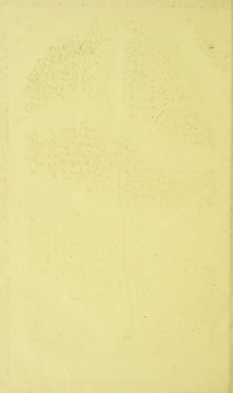 - . , i > ~ &  V- • ^ *■ ■ - ' ' ‘ . '